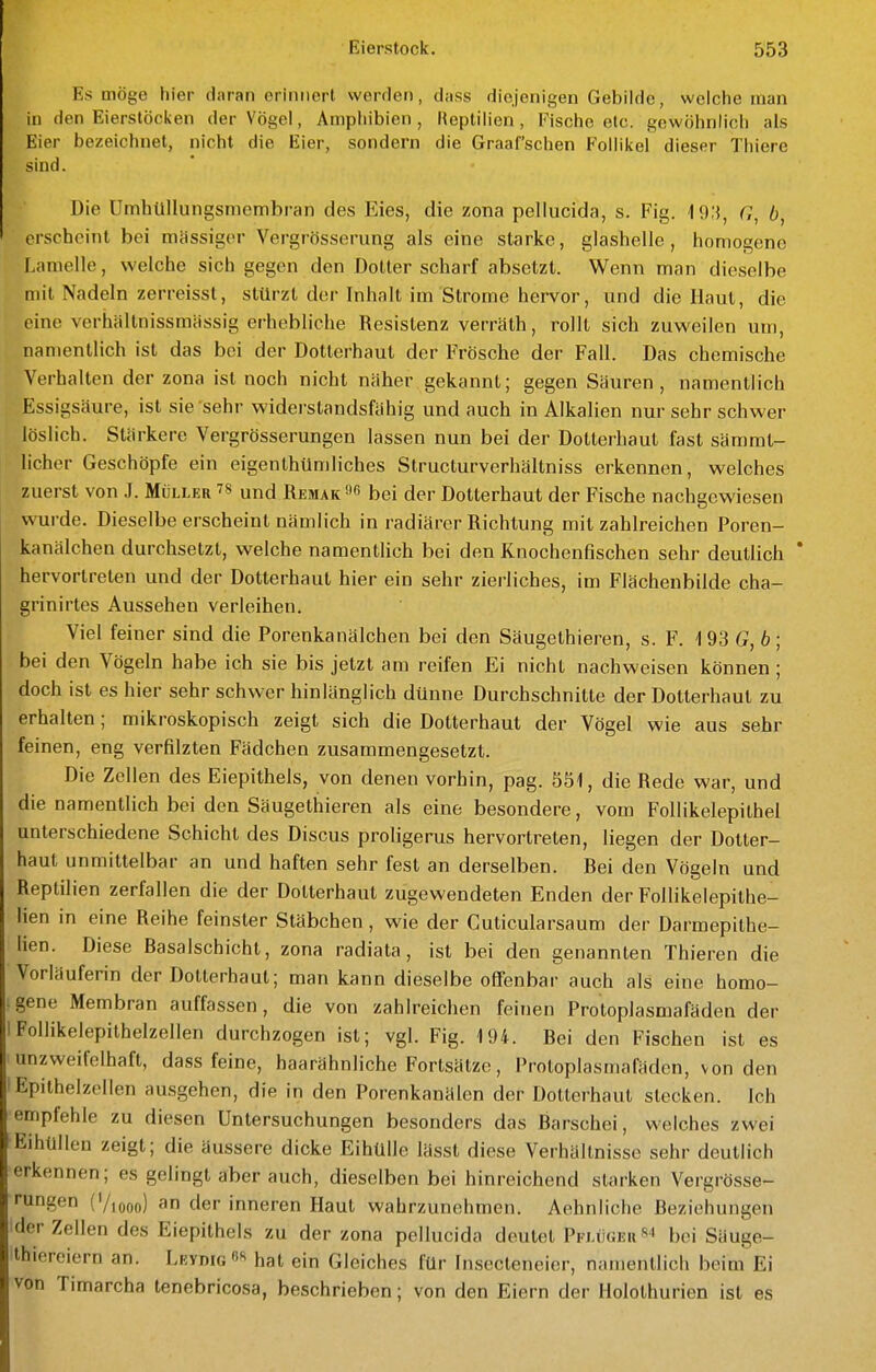 Es möge hier daran erinnert werden, dass diejenigen Gebilde, welche man in den Eierstöcken der Vögel, Amphibien , lleplilien , Fische etc. gewöhnlich als Eier bezeichnet, nicht die Eier, sondern die Graafschen Follikel dieser Thiers sind. Die Umhüllungsmembran des Eies, die zona pellucida, s. Fig. lo;}, C, b, erscboint bei mässig(M- Vergrösserung als eine starke, glashelle, homogene Lamelle, welche sich gegen den Dotter scharf absetzt. Wenn man dieselbe mit Nadeln zerreisst, stürzt der Inhalt im Strome hervor, und diellaut, die eine verhältnissraiissig erhebliche Resistenz verrälh, rollt sich zuweilen um, namentlich ist das bei der Dotterhaut der Frösche der Fall. Das chemische Verhalten der zona ist noch nicht näher gekannt; gegen Säuren, namentlich Essigsäure, ist sie sehr widerstandsfähig und auch in Alkalien nur sehr schwer löslich. Stärkere Vergrösserungen lassen nun bei der Dotterhaul fast sämml- licher Geschöpfe ein eigenthümliches Structurverhältniss erkennen, welches zuerst von J. Müller ^8 und Remak^g bei der Dotterhaut der Fische nachgewiesen wurde. Dieselbe erscheint nämlich in radiärer Richtung mit zahlreichen Poren- kanälchen durchsetzt, welche namentlich bei den Knochenfischen sehr deutlich ' hervortreten und der Dotterhaut hier ein sehr zierliches, im Flächenbilde cha- grinirtes Aussehen verleihen. Viel feiner sind die Porenkanälchen bei den Säugethieren, s. F. 193 G, 6; bei den Vögeln habe ich sie bis jetzt am reifen Ei nicht nachweisen können; doch ist es hier sehr schwer hinlänglich dünne Durchschnitte der Dotterhaut zu erhalten; mikroskopisch zeigt sich die Dotterhaut der Vögel wie aus sehr feinen, eng verfilzten Fädchen zusammengesetzt. Die Zellen des Eiepithels, von denen vorhin, pag. 551, die Rede war, und die namentlich bei den Säugethieren als eine besondere, vom Follikelepithel unterschiedene Schicht des Discus proligerus hervortreten, liegen der Dotter- haut unmittelbar an und haften sehr fest an derselben. Rei den Vögeln and Reptilien zerfallen die der Dotterhaut zugewendeten Enden der Follikelepithe- lien in eine Reihe feinster Stäbchen, wie der Cuticularsaum der Darmepithe- lien. Diese Rasalschicht, zona radiata, ist bei den genannten Thieren die Vorläuferin der Dotterhaut; man kann dieselbe oßFenbar auch als eine homo- gene Membran auffassen, die von zahlreichen feinen Protoplasmafäden der I Follikelepithelzellen durchzogen ist; vgl. Fig. 194. Rei den Fischen ist es unzweifelhaft, dass feine, haarähnliche Fortsätze, Protoplasmafäden, von den 'Epithelzellen ausgehen, die in den Porenkanälen der Dotterhaut stecken. Ich empfehle zu diesen Untersuchungen besonders das Rarschei, welches zwei EihUllen zeigt; die äussere dicke Eihülle lässt diese Verhältnisse sehr deutlich erkennen; es gelingt aber auch, dieselben bei hinreichend starken Vergrösse- rungen (Viooo) an der inneren Haut wahrzunehmen. Aehnliche fieziehungen der Zellen des Eiepithels zu der zona pellucida deutet Pflügeii«'» bei Säuge- Ihieroiern an. Letoig hat ein Gleiches für Insecteneier, namentlich beim Ei von Timarcha tenebricosa, beschrieben; von den Eiern der Holothurien ist es