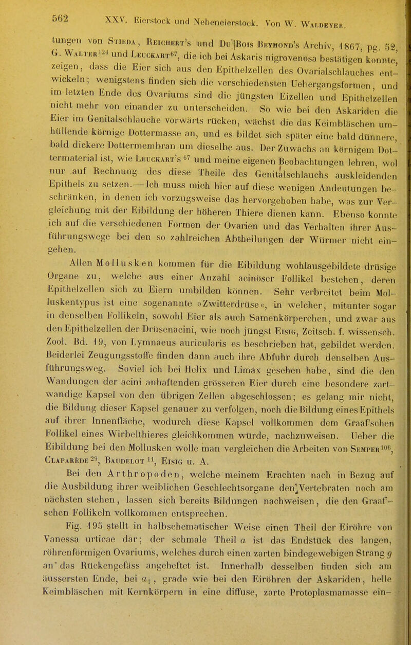 tungen von Stieda , Reioiiert's und Du^|Bo.s Bkvmond's Archiv 1807 po '',9 G. WALTKRi24 und Leuokaht«^, die ich bei Askaris nigrovenosa bestätigen konnte' zeigen, dass die Eier sich aus den Epithelzellen des Ovarialschlauches ent- wickeln; wenigstens finden sich die verschiedensten Uebergangsformen und im letzten Ende des Ovariums sind die jüngsten Eizellen und Epithelzellen nicht mehr von einander zu unterscheiden. So wie bei den Askariden die Eier im Genitalschlauche vorwärts rücken, wächst die das Keimbläschen um- hüllende körnige Dottermasse an, und es bildet sich später eine bald dünnere, bald dickere Dottermembran um dieselbe aus. Der Zuwachs an körnigem Dot- termaterial ist, wie Leuckart's und meine eigenen Beobachtungen lehren, wol nur auf Rechnung des diese Theile des Genitalschlauchs auskleidenden Epithels zu setzen.—Ich muss mich hier auf diese wenigen Andeutungen be- schränken, in denen ich vorzugsweise das hervorgehoben habe, was zur Ver- gleichung mit der Eibildung der höheren Thiere dienen kann. Ebenso konnte ich auf die verschiedenen Formen der Ovarien und das Verhalten ihrer Aus- führungswege bei den so zahlreichen Abtheilungen der Würmer nicht ein- gehen. Allen Mollusken kommen für die Eibildung wohlausgebildete drüsige Organe zu, welche aus einer Anzahl acinöser Follikel bestehen, deren Epilhelzellen sich zu Eiern umbilden können. Sehr verbreitet beim Mol- luskenlypus ist eine sogenannte »Zwitterdrüse«, in welcher, mitunter sogar in denselben Follikeln, sowohl Eier als auch Samenkörperchen, und zwar aus den Epithelzellen der Drüsenacini, wie noch jüngst Eisig, Zeitsch. f. wissensch. Zool. Bd. 19, von Lymnaeus auricularis es beschrieben hat, gebildet werden. Beiderlei Zeugungsstofle finden dann auch ihre Abfuhr durch denselben Aus- führungsweg. Soviel ich bei Helix und Limax gesehen habe, sind die den Wandungen der acini anhaftenden grösseren Eier durch eine besondere zart- wandige Kapsel von den übrigen Zellen abgeschlossen; es gelang mir nicht, die Bildung dieser Kapsel genauer zu verfolgen, noch die Bildung eines Epithels auf ihrer Innenfläche, w^odurch diese Kapsel vollkommen dem Graafschen Follikel eines Wirbelthieres gleichkommen würde, nachzuweisen. Ueber die Eibildung bei den Mollusken wolle man vergleichen die Arbeiten von Semper*«, Clapar£de 29, Baudelot 11, Eisig u. A. Bei den Arthropoden, welche meinem Erachten nach in Bezug auf die Ausbildung ihrer weiblichen Geschlechtsorgane den^^Vertebraten noch am nächsten stehen, lassen sich bereits Bildungen nachweisen, die den Graaf'-^ sehen Follikeln vollkommen entsprechen. Fig. 195 stellt in halbschematischer Weise einen Theil der Eiröhre von Vanessa urticae dar; der schmale Theil a ist das Endstück des langen, röhrenförmigen Ovariums, welches durch einen zarten bindegewebigen Strang g an das Rückengefäss angeheftet ist. hinerhalb desselben finden sieh am äusserslen Ende, bei «i , grade wie bei den Eiröhren der Askariden, helle Keimbläschen mit Kernkörpein in eine diffuse, zarte Proloplasmamasse ein-