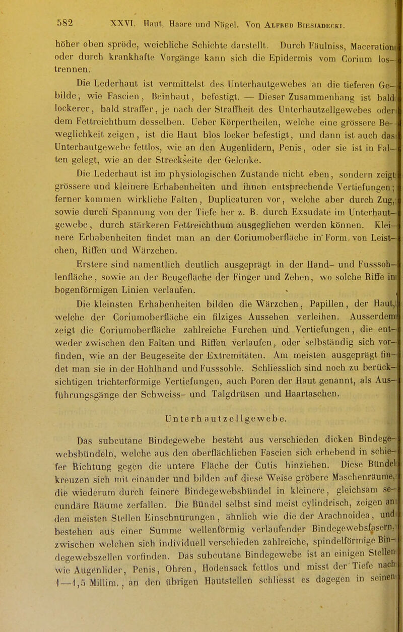 höher oben spröde, weichliche Schichte darstellt. Durch Faulniss, Maceration| oder durch kröinkhafte Vorgänge kann sich die Epidermis vom Corium los--) trennen. Die Lederhaut ist vermittelst des Unterhautgewebes an die tieferen Ge bilde, wie Fascien, Beinhaut, befestigt. — Dieser Zusammenhang ist bald lockerer, bald strafler, je nach der Straffheit des Unterhautzellgewebes oder! dem Fettreichthum desselben. Ueber Körpertheilen, welche eine grössere Be- I weglichkeit zeigen, ist die Haut blos locker befestigt, und dann ist auch dasi ünterhautgewebe fettlos, wie an den Augenlidern, Penis, oder sie ist in Fal- ten gelegt, wie an der Streckseite der Gelenke. Die Lederhaut ist im physiologischen Zustande nicht eben, sondern zeigt grössere und kleinere Erhabenheiten und ihnen entsprechende Vertiefungen; ferner kommen wirkliche Falten, Duplicaturen vor, welche aber durch Zug,; sowie durch Spannung von der Tiefe her z. B. durch Exsudate im Unterhaut- gewebe, durch stärkeren Fettreichthum ausgeglichen werden können. Klei- nere Erhabenheiten findet man an der Coriumoberfläche in Form, von Leist- chen, Riffen und Wärzchen. Erstere sind namentlich deutlich ausgeprägt in der Hand- und Fusssoh- lenfläche, sowie an der Beugefläche der Finger und Zehen, wo solche Riffe im bogenförmigen Linien verlaufen. Die kleinsten Erhabenheiten bilden die Wärzchen, Papillen, der Haut, welche der Coriumoberfläche ein filziges Aussehen verleihen. Ausserdemi zeigt die Coriumoberfläche zahlreiche Furchen und Vertiefungen, die ent- weder zwischen den Falten und Riffen verlaufen, oder selbständig sich vor- finden, wie an der Beugeseite der Extremitäten. Am meisten ausgeprägt fin- det man sie in der Hohlhand und Fusssohle. Schliesslich sind noch zu berück- sichtigen trichterförmige Vertiefungen, auch Poren der Haut genannt, als Aus- führungsgänge der Schweiss- und Talgdrüsen und Haartaschen. Unterhautzellgewebe. Das subcutane Bindegewebe besteht aus verschieden dicken Bindege- websbündeln, welche aus den oberflächlichen Fascien sich erhebend in schie- fer Richtung gegen die untere Fläche der Cutis hinziehen. Diese Bündel kreuzen sich mit einander und bilden auf diese Weise gröbere Maschenräume, die wiederum durch feinere Bindegewebsbündel in kleinere, gleichsam se- cundäre Räume zerfallen. Die Bündel selbst sind meist cyhndrisch, zeigen an den meisten Stellen Einschnürungen , ähnlich wie die der Arachnoidea , und bestehen aus einer Summe wellenförmig verlaufender Bindegewebsfaserör zwischen welchen sich individuell verschieden zahlreiche, spindelförmige Bin- degewebszeUen vorfinden. Das subcutane Bindegewebe ist an einigen Slellei wie Augenlider, Penis, Ohren, Ilodensack fettlos und misst der'Tiefe nach 1—1,5 Millim., an den übrigen Haulstellen schliessl es dagegen in seinen