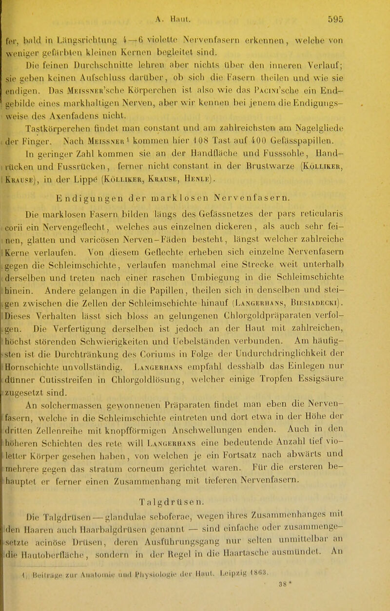 fpi-, bflld in Längsriolilung i —6 violette Nervenfasern erkennen, welche von weniger gefärbten kleinen Kernen begleitet sind. Die feinen Durchschnitte lehren aber nichts über den inneren Verlauf; sie geben keinen Aul'schluss darüber, ob sich die Fasern theilen und wie sie eniligen. Das MKissNER'sche Körperchen ist also wie das PAciNi'sche ein End- gebilde eines inarkhaltigen Nerven, aber wir kennen bei jenem die Endigungs- weise des Axenfadens nicht. Tastkörperchen findet man constant und am zahlreichsteni am Nagelgliede 1 der Finger. Nach Meissner i kommen hier 108 Tast auf 400 Gefässpapillcn. In geringer Zahl kommen sie an der Handfläche und Fusssohle, Hand- rücken und FussrUcken, ferner nicht constant in der Brustwarze (Köllikeu, Kkaise), in der Lippe (Köluker, Krause, Henle). Endigungen der marklosen Nervenfasern. Die marklosen Fasern bilden längs des Gefässnetzes der pars reticularis corii ein Nervengeflecht, welches aus einzelnen dickeren, als auch sehr fei- i nen, glatten und varicösen Nerven-Fäden besteht, längst welcher zahlreiche I Kerne verlaufen. Von diesem Geflechte erheben sich einzelne Nervenfasern igegen die Schleimschichte, verlaufen manchmal eine Strecke weit unterhalb (derselben und treten nach einer raschen ümbiegung in die Schleinischichte thinein. Andere gelangen in die Papillen, theilen sich in denselben und stei- igen zwischen die Zellen der Schleimschichle hinauf (Langerhans, Biesiadecki). 1 Dieses Verhallen lässt sich bloss an gelungenen Chlorgoldprä paraten verfol- -gen. Die Verfertigung derselben ist jedoch an der Haut mit zahlreichen, höchst störenden Schwierigkeiten und Uebelständen verbunden. Am häufig- sten ist die Durchtränkung des Coriuras in Folge der Undurchdringlichkeit der I Hornschichte unvollständig. Langerhans empfahl desshalb das Einlegen nur dünner Cutisstreifen in Chlorgoldlösung, welcher einige Tropfen Essigsäure zugesetzt sind. An solchermassen ge\vonnenen Präparaten findet man eben die Nerven- fasern, welche in die Schleimschichte eintreten und dort etwa in der Höhe der dritten Zellenreihe mit knopfförmigen Anschwellungen enden. Auch in den höheren Schichten des rele will I.angerhans eine bedeutende Anzahl tief vio- letter Körper gesehen haben, von welchen je ein Fortsatz nach abwärts und mehrere gegen das Stratum corneum gerichtet waren. Für die ersteren be- hauptet er ferner einen Zusammenhang mit tieferen Nervenfasern. Talgdrüsen. Die Talgdrüsen —glandulae seboferae, wegen ihres Zusammenhanges mit den Haaren auch Haarbalgdrüsen genannt — sind einfache oder zusammengc^- setzte acinöse Drüsen, deren Ausführungsgang nur selten unmittelbar an die Hauloberfläche, sondern in der Regel in die Haartasche ausmündet. An 1 Beilra{<e zur Aiiatomir und fliysiologa- der llmil. Leipzig 1803. 38*