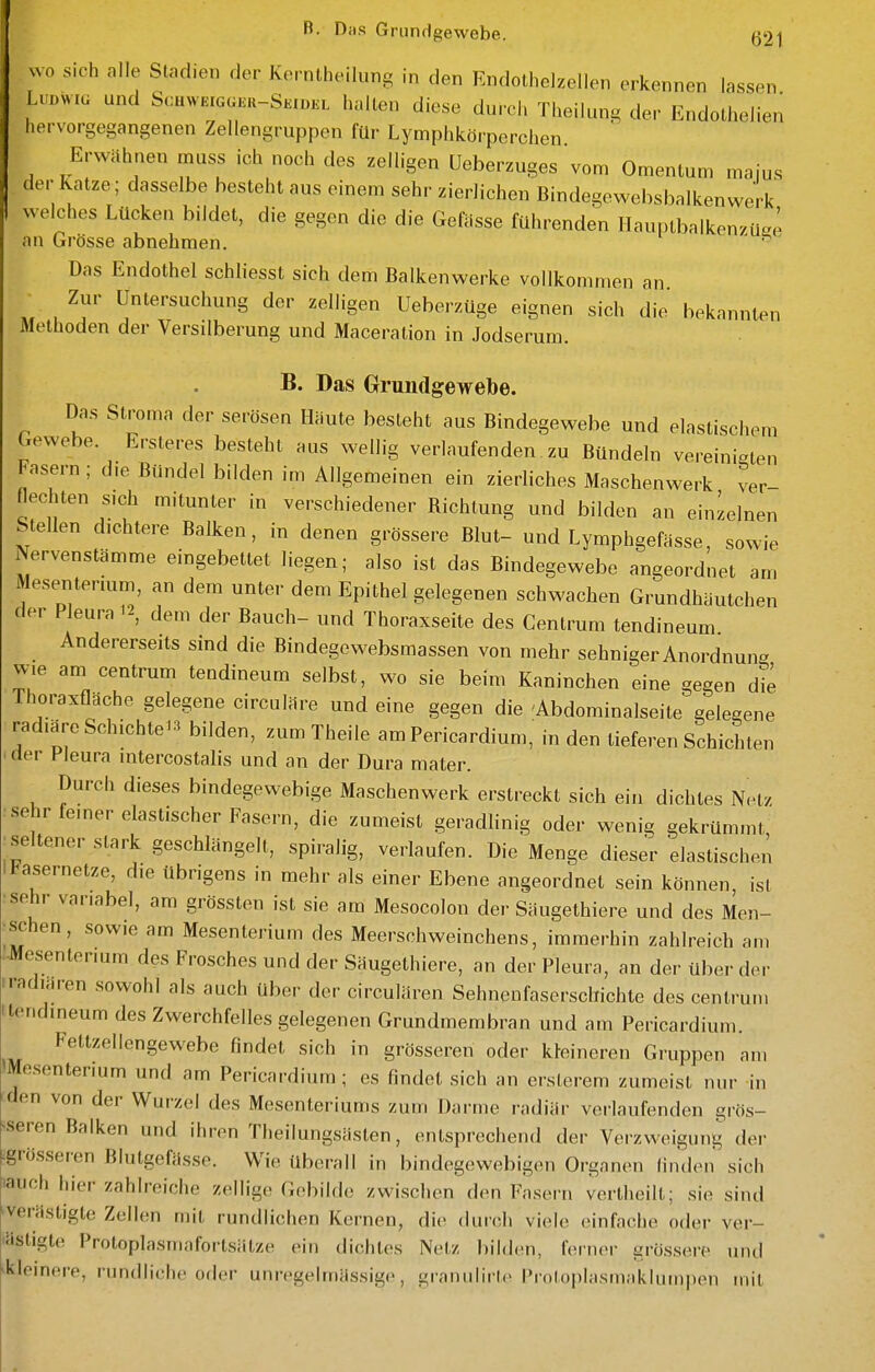 B. Das Grundgewebe. ß21 uo sich alle Stadien der Kerntheilung in den Eiidothelzellen erkennen lassen LuBwiu und S.:uweigu.k-Sk,d.,. halten diese durch Theiiung der Endolhelien hervorgegangenen Zellengruppen für Lymphkörperchen Erwähnen muss ich noch des zelligen Ueberzuges vom Omentum majus der Katze; dasselbe besteht aus einem sehr zierlichen Bindegewebsbalkenwerk welches Lücken bildet, die gegen die die Gefasse führenden Hauplbalken/üJ an Grösse abnehmen. ' ^' Das Endothel schliesst sich dem Balkenwerke vollkommen an Zur Untersuchung der zelligen Ueberzüge eignen sich die bekannten Methoden der Versilberung und Maceration in Jodserum. B. Das Grundgewebe. Das Stroma der serösen Häute besteht aus Bindegewebe und elastischem Gewebe. Ersteres besteht aus wellig verlaufenden zu Bündeln vereinigen Fasern; d,e Bündel bilden im Allgemeinen ein zierliches Maschenwerk ver- Mechten sich mitunter in verschiedener Richtung und bilden an einzelnen Stellen dichtere Balken, in denen grössere Blut- und Lymphgefässe, sowie Nervenstämme eingebettet liegen; also ist das Bindegewebe angeordnet am Mesentenum, an dem unter dem Epithel gelegenen schwachen Grundhäutchen der Pleura 12, dem der Bauch- und Thoraxseite des Centrum tendineum Andererseits sind die Bindegewebsmassen von mehr sehniger Anordnung wie am centrum tendineum selbst, wo sie beim Kaninchen eine gegen die Thoraxflächo gelegene circuläre und eine gegen die 'Abdominalseite gelegene radiäre Schichte^^ bilden, zum Theile am Pericardium, in den lieferen Schichten der Pleura intercostalis und an der Dura mater. Durch dieses bindegewebige Maschenwerk erstreckt sich ein dichtes Net/ sehr femer elastischer Fasern, die zumeist geradhnig oder weni^ gekrümmt seltener stark geschlängelt, spiralig, verlaufen. Die Menge dieser elastischen IJ^asernetze, die übrigens in mehr als einer Ebene angeordnet sein können ist :sehr variabel, am grössten ist sie am Mesocolon der Säugethiere und des Men- ■schen, sowie am Mesenterium des Meerschweinchens, immerhin zahlreich am •Mesentenum des Frosches und der Säugethiere, an der Pleura, an der überdei radiären sowohl als auch Uber der circulären Sehnenfaserschichte des centrum il<Mdineum des Zwerchfelles gelegenen Grundmembran und am Pericardium. Fettzellcngewebe findet sich in grösseren oder kteineren Gruppen am 'Mesenterium und am Pericardium ; es findet sich an erslerem zumeist nur in iden von der Wurzel des Mesenteriums zum Darme radiär verlaufenden grös- ^seren Balken und ihren Theilungsästen, entsprechend der Verzweigung der Lgrösseren Blutgefässe. Wie überall in bindegewebigen Organen linden sich iauch hier zahlreiche zellige Gebilde zwischen den Fasern vertheilL; sie sind *verästigte Zellen mit rundlichen Kernen, die dui'cli viele einfache oder ver- lästigte Protoplasmafortsätze ein dichtes Netz bilden, fei-ner grössere und «kleinere, rundliche oder unregelmässige, granulirte Prntoplasmaklumpen mit