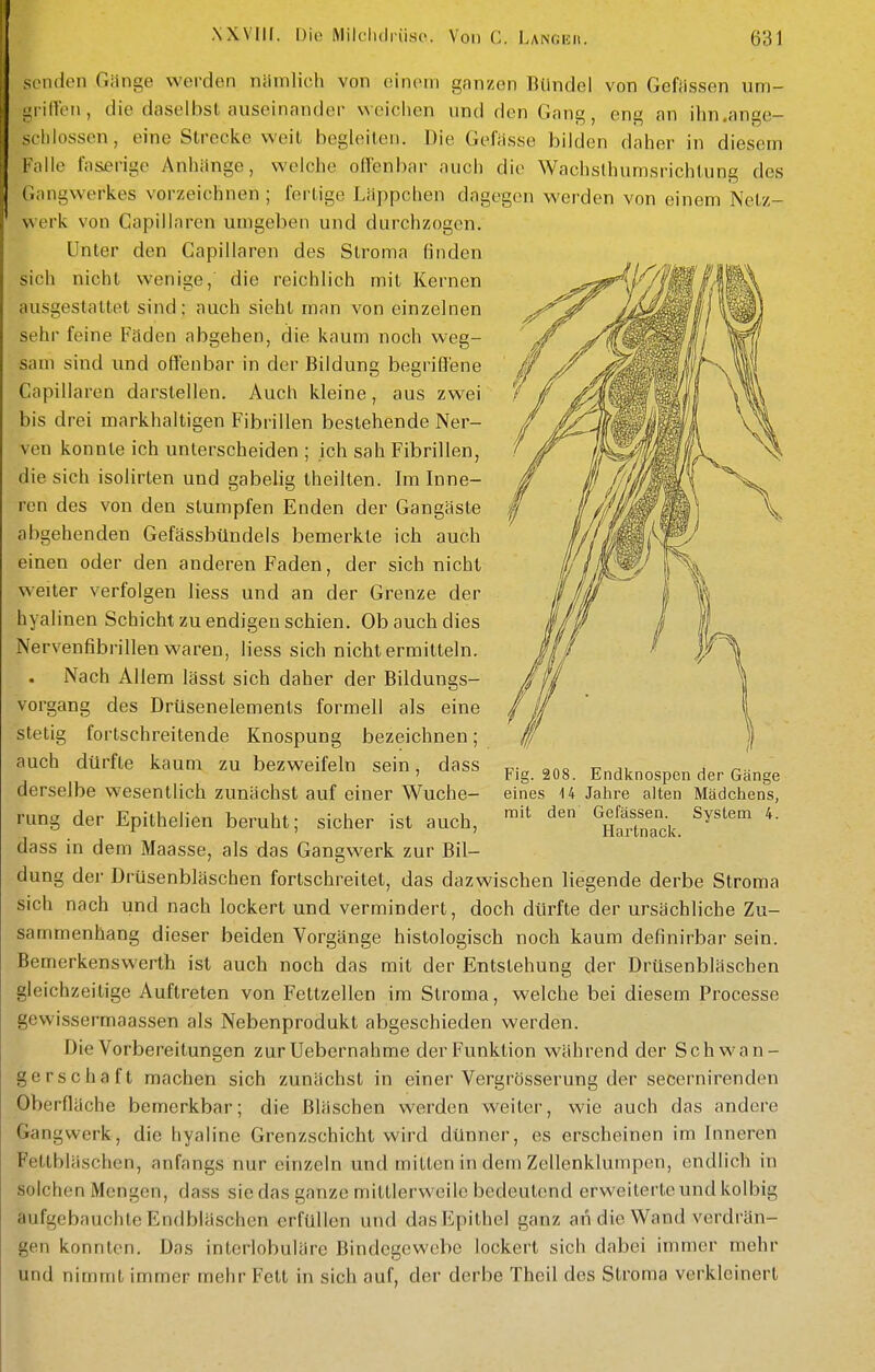 senden Giinge werden niimlich von einem ganzen Bündel von Gefiissen um- L^riftcii, die daselbst auseinander weichen und den Gang, eng an ihn.ange- •hiossen, eine Strecke weit begleiten. Die Gefasse bilden daher in diesem Falle fas£rige Anhänge, v^'elche offenbar auch die Wachslhumsrichtung des (;angwerkes vorzeichnen; fertige Läppchen dagegen werden von einem Netz- werk von Capillaren umgeben und durchzogen. Unter den Capillaren des Stroma finden sich nicht wenige, die reichlich mit Kernen ausgestaltet sind; auch sieht man von einzelnen sehr feine Fäden abgehen, die kaum noch weg- sam sind und offenbar in der Bildung begriffene Capillaren darstellen. Auch kleine, aus zwei bis drei markhaltigen Fibrillen bestehende Ner- ven konnte ich unterscheiden ; ich sah Fibrillen, die sich isolirten und gabelig theilten. Im Inne- ren des von den stumpfen Enden der Gangäste abgehenden Gefässbündels bemerkte ich auch einen oder den anderen Faden, der sich nicht weiter verfolgen Hess und an der Grenze der hyalinen Schicht zu endigen schien. Ob auch dies Nervenfibrillen waren, Hess sich nicht ermitteln. Nach Allem lässt sich daher der Bildungs- vorgang des Drüsenelements formell als eine stetig fortschreitende Knospung bezeichnen; auch clürfle kaum zu bezweifeln sein, dass derselbe wesentlich zunächst auf einer Wuche- rung der Epithelien beruht; sicher ist auch, dass in dem Maasse, als das Gangwerk zur Bil- dung der Drusenbläschen fortschreitet, das dazwischen liegende derbe Stroma sich nach und nach lockert und vermindert, doch dürfte der ursächliche Zu- sammenhang dieser beiden Vorgänge histologisch noch kaum definirbar sein. Bemerkenswerth ist auch noch das mit der Entstehung der Drüsenbläschen gleichzeitige Auftreten von Feltzellen im Stroma, welche bei diesem Processe gewissermaassen als Nebenprodukt abgeschieden werden. Die Vorbereitungen zur Uebernahme der Funktion während der Schwan- gerschaft machen sich zunächst in einer Vergrösserung der secernirenden Oberfläche bemerkbar; die Bläschen werden weiter, wie auch das andere Gangwerk, die hyaline Grenzschicht wird dünner, es erscheinen im Inneren Fettbläschen, anfangs nur einzeln und mitten in dem Zellenklumpen, endlich in solchen Mengen, dass sie das ganze mittlerweile bedeutend erweiterte und kolbig aufgebauchle Endbläschen erfüllen und dasEpithel ganz an die Wand vcrdi-än- gen konnten. Das inlerlobulärc Bindegewebe lockert sich dabei immer mehr und nimmt immer mehr Fett in sich auf, der derbe Theil des Stroma verkleinert Fig. 208. Endknospen der Gänge eines 14 Jahre alten Mädchens, mit den Gefässen. System 4. Hartnaciv.