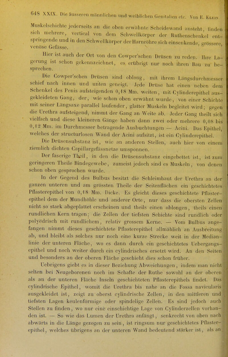 Muskolschichlc jedcM-seits an die oben erwiihnle Scheidewand an.sleht finden sich mehrere, verlical von den. Schweilkörpcr der' Hulhenschenkel ent- springende und in den Schweilkörpcr der Harnröhre sich einsenkende, grössere venöse Gefässe. ' o , Hier ist auch der Ort von den Cowper'schen Drüsen zu i-eden. Ihre La- gerung ist schon gekennzeichnet, es erübrigt nur noch ihren Bau zu be- sprechen. Die Cowper'schen Drüsen sind oblong, mit ihrem LangsdurchmesscT schief nach innen und unten geneigt. Jede Drüse hat einen neben dem Schenkel des Penis aufsteigenden 0,18 Mm. weiten, mit Cylinderepithel aus- gekleideten Gang, der, wie schon oben erwähnt wurde, von einer Schichte mit seiner Längsaxe parallel laufender, glatter Muskeln begleitet wird; gegen die Urethra aufsteigend, nimmt der Gang an Weite ab. Jeder Gang theilt sich vielfach und diese kleineren Gänge haben dann zwei oder mehrere 0,08 bis 0,12 Mm. im Durchmesser betragende Ausbuchlungen — Acini. Das Epithel, welches der structurlosen Wand der Acini aufsitzt, ist ein Cylinderepithel. Die Drüsensubstanz ist, wie an anderen Stellen, auch hier von einem ziemlich dichten Capiilargefässnetze umsponnen. Der faserige Tb;3il, in den die Drüsensubslanz eingebettet ist, ist zum geringeren Theile Bindegewebe, zumeist jedoch sind es Muskeln , von denen schon oben gesprochen wurde. In der Gegend des Bulbus besitzt die Schleimhaut der Urethi-a an der ganzen unteren und am grössten Theile der Seitenflächen ein geschichtetes Pflasterepithel von 0,18 Mm. Dicke. Es gleicht dieses geschichtete Pflasler- epithel dem der Mundhöhle und anderer Orte, nur dass die obersten Zellen nicht so stark abgeplattet erscheinen und theUs einen oblongen, theils einen rundlichen Kern tragen; die Zellen der tiefsten Schichte sind rundlich oder polyedrisch mit rundlichem, relativ grossem Kerne. — Vom Bulbus ange- fangen nimmt dieses geschichtete PQasterepithel allmählich an Ausbreitung: ab, und bleibt als solches nur noch eine kurze Strecke weit in der Median- linie der unteren Fläche, wo es dann durch ein geschichtetes Uebergangs- epithel und noch weiter durch ein cylindrisches ersetzt wird. An den Seiten und besonders an der oberen Fläche geschieht dies schon früher. Uebrigens giebt es in dieser Beziehung Abvs-eichungen, indem man nicht selten bei Neugeborenen noch im Schafte der Ruthe sowohl an der oberen als an der unteren Fläche Inseln geschichteten Pflasterepithels findet. Dns cylindrische Epithel, womit die Urethra bis nahe an die Fossa navicularis ausgekleidet ist, zeigt zu oberst cylindrische Zellen, in den mittleren um! tiefsten Lagen keulenförmige oder spindelige Zellen. Es sind jedoch auch Stellen zu finden, wo nur eine einschichtige Lage von Gylinderzellen vorhan- den ist. — So wie das Lumen der Urethra anfängt, senkrecht von oben nach abwärts in die Länge gezogen zu sein, ist ringsum nur geschichtetes Pflastcr- epithel, welches übrigens an der unteren Wand bedeutend stärker ist, als an