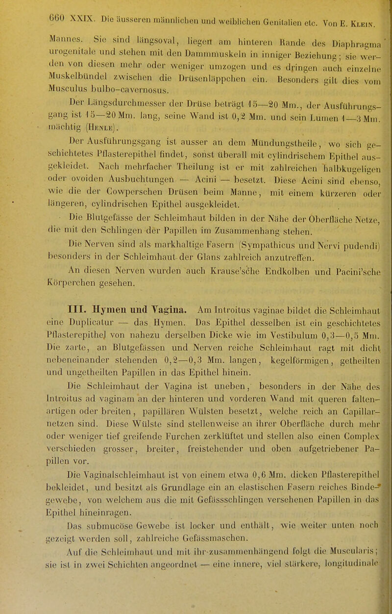 Mannes. Sie sind längsoval, liegen am hinleren Rande des Diaphragma urogenitale und stehen mit den Dammmuskeln in inniger Beziehung; sie wer- den von diesen mehr oder weniger umzogen und es dringen auch einzelne Muskelbündel zwischen die DrUsenläppchen ein. Besonders gilt dies vom Musculus bulbo-cavernosus. Der Längsdurchmesser der Drüse beträgt 13—20 Mm., der Ausführung.s- gang ist 15—20Mm. lang, seine Wand ist 0,2 Mm. und sein Lumen 1—.iMm. mächtig (Hunle). Der Ausführungsgang ist ausser an dem Mündungstheile, wo sich ge- schichtetes Pflasterepithel findet, sonst überall mit cylindrischem Epithel aus- gekleidet. Nach mehrfacher Theilung ist er mit zahlreichen halbkugeligen oder ovoiden Ausbuchtungen — Acini — besetzt. Diese Äcini sind eben.so, wie die der Cowperschen Drüsen beim Manne, mit einem kürzeren oder längeren, cylindrischen Epithel ausgekleidet. • Die Blutgefässe der Schleimhaut bilden in der Nähe der Oberfläche Netze, die mit den Schlingen der Papillen im Zusammenhang stehen. Die Nerven sind als markhaltige Fasern (Sympathicus und Nervi pudendi) besonders in der Schleimhaut der Glans zahlreich anzutreffen. An diesen Nerven wurden auch Krause'sdhe Endkolben und Pacini'sche Körperchen gesehen. III. Hymen und YaginJi. Am Inlroitus vaginae bildet die Schleimhaut eine Duplicatur — das Hymen. Das Epithel desselben ist ein geschichtele.s PflaslerepitheJ von nahezu derselben Dicke wie im Vestibulum 0,3—0,5 Mm. Die zarte, an Blutgefässen und Nerven reiche Schleimhaut ragt mit dicht nebeneinander stehenden 0,2—0,3 Mm. langen, kegelförmigen, getheillen und ungetheilten Papillen in das Epithel hinein. Die Schleimhaut der Vagina ist uneben, besonders in der Nähe des Inlroitus ad vaginam an der hinleren und vorderen Wand mit queren falten- artigen oder breiten, pai')illären Wülsten besetzt, welche reich an Capillar- netzen sind. Diese Wülste sind stellenweise an ihrer Oberfläche durch mehr oder weniger lief greifende Furchen zerklüftet und stellen also einen Complex verschieden grosser, breiler, freistehender und oben aufgetriebener Pa- pillen vor. Die Vaginalschleimhaut ist von einem etwa 0,6 Mm. dicken Pflaslerepilhcl bekleidet, und besitzt als Grundlage ein an elastischen Fasein reiches Binde- gewebe, von welchem aus die mit Gefässschlingeu versehenen Papillen in das Epithel hineinragen. Das submucöse Gewebe ist locker und enthält, wie weiter unten noch gezeigt werden soll, zahlreiche Gefässmaschen. Auf die Schleimhaut und mit ihi-zusanunenhängend folgt die Musculari.s; sie ist in zwei Schichten angeordnet — eine innere, viel stärkere, longitudinalc