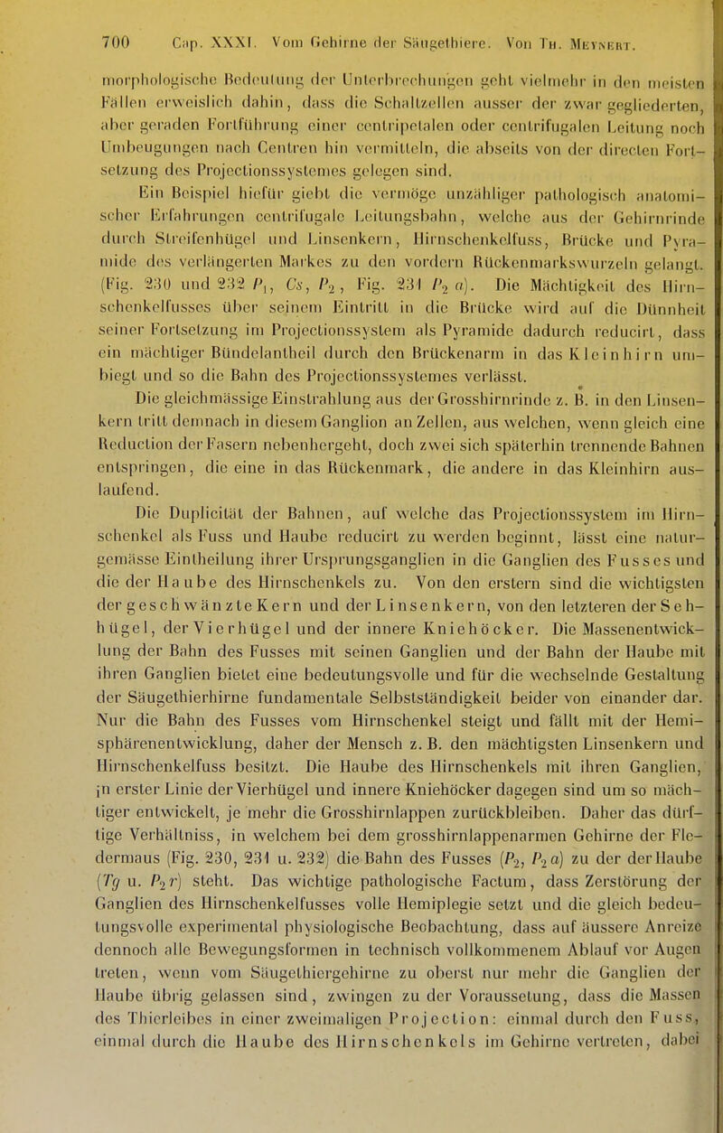 moi'pliologische BedcuUiiig dci' Uiilcfbieclumi^en u.c\U vielmehr in den meisten Fallen erweislich dahin, dciss die SchrilLzeilen ausser der zwar gegliederten, aber geraden Forlführung einer eentripelalen oder centrifugalen Leitung noch Unibeugungen nach Centren hin vermitteln, die abseits von der directen Forl- setzung des Prqjcctionssyslemes gelegen sind. Ein Beispiel hiefür giebl die vermöge unzähliger pathologisch analomi- schcr Erfahrungen ccntrifugalc J.eitungsbahn, welche aus der Gohii-nrinde durch Streifenhügel und Linsenkei n, IJirnschenkelfuss, Brücke und Pyra- mide des verlängerten Markes zu den vordem Bückenmarkswurzeln gelangt. (Fig. '2;50 und 232 P,, Cs, l\, Fig. 231 /'2 a). Die Mächtigkeit des Hirn- schenkelfusses über seinem Eintritt in die Brücke wird auf die Dünnheit seiner Forlsetzung im Projeclionssyslem als Pyramide dadurch reducirl, dass ein mächtiger Bündelantheil durch den Brückenarm in das Kleinhirn um- biegt und so die Bahn des Projeclionssystemes verlässl. Die gleichmässige Einstrahlung aus der Grosshirnrinde z. B. in den Linsen- kern tritt demnach in diesem Ganglion an Zellen, aus welchen, wenn gleich eine Reduction der Fasern nebenhergeht, doch zwei sich späterhin trennende Bahnen entspringen, die eine in das Bückenmark, die andere in das Kleinhirn aus- laufend. Die Dupliciläl der Bahnen, auf welche das Projeclionssyslem im IJirn- schenkel als Fuss und Haube reducirl zu werden beginnt, lässt eine natur- gemässe Eintheilung ihrer Ursi)rungsganglien in die Ganglien des Fusscs und die der Haube des Hirnschenkels zu. Von den ersLern sind die wichtigslen der geschwänzteKern und der Linsenkern, von den letzteren der Seh- hügel, derVierhügel und der innere Kniehöcker. Die Massenentwick- lung der Bahn des Fusses mit seinen Ganglien und der Bahn der Haube mit ihren Ganglien bielet eine bedeutungsvolle und für die wechselnde Gestaltung der Säugethierhirne fundamentale Selbstständigkeit beider von einander dar. Nur die Bahn des Fusses vom Hirnschenkel steigt und fällt mit der Hemi- sphärenenlwicklung, daher der Mensch z. B. den mächtigsten Linsenkern und Hirnschenkelfuss besitzt. Die Haube des Hirnschenkels mit ihren Ganglien, jn erster Linie derVierhügel und innere Kniehöcker dagegen sind um so mäch- tiger entwickelt, je mehr die Grosshirnlappen zurückbleiben. Daher das dürf- tige Verhällniss, in welchem bei dem grosshirnlappenarmen Gehirne der Fle- dermaus (Fig. 230, 231 u. 232] die Bahn des Fusses (P2, zu der der Haube [Tg n. P^r) steht. Das wichtige pathologische Factum, dass Zerstörung der Ganglien des Hirnschenkelfusses volle Hemiplegie setzt und die gleich bedeu- tungsvolle experimental physiologische Beobachtung, dass auf äussere Anreize dennoch alle Bewegungsformen in technisch vollkonmienem Ablauf vor Augen treten, wenn vom Säugelhicrgehirne zu obcrst nur mehr die Ganglien der Haube übrig gelassen sind, zwingen zu der Vorausselung, dass die Massen des Thierleibes in einer zweimaligen Projeclion: einmal durch den Fuss., einmal durch die Haube des Hirnschenkcls im Gehirne vertreten, dabei