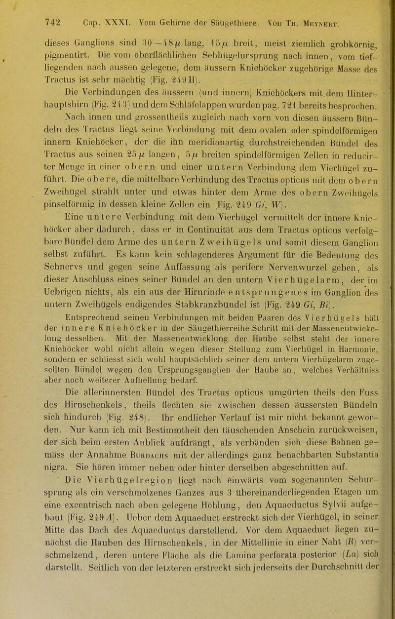 dieses Ganglions sind ;J0 —48^ lang, lö^ breit, raeist ziemlich grobkörnig, pigmentirt. Die vom oberflächlichen Sehhügeiursprung nach innen, vom tief- liegenden nach aussen gelegene, dem äussern Kniehöcker zugehörige Masse des Tractus ist sehr mächtig (Fig. 24911). Die Verbindungen des äussern (und innern) Kniehöckers mit.dem Hinter- hauptshirn (Fig. 213) und dem Schläfelappen wurden pag. 721 bereits besprochen. Nach innen und grossentheils zugleich nach vorn von diesen äussern Bün- deln des Tractus liegt seine Verbindung mit dem ovalen oder spindelförmigen innern Kniehöcker, der die ihn meridianartig durchstreichenden Bündel des Tractus aus seinen 25jit langen, 5f.i breiten spindelförmigen Zellen in reducir- ter Menge in einer obern und einer untern Verbindung dem Vierhügel zu- führt. Die 0 b e r e, die mittelbare Verbindung des Tractus opticus mit dem obern Zweihügel strahlt unter und etwas hinter dem Arme des obern Zweihügels pinselförmig in dessen kleine Zellen ein (Fig. 249 Gi, W). Eine untere Verbindung mit dem Vierhügel vermittelt der innere Knie- höcker aber dadurch, dass er in Continuität aus dem Tractus opticus verfolg- bare Bündel dem Arme des untern Zweihügels und somit diesem Ganglion selbst zuführt. Es kann kein schlagenderes Argument für die Bedeutung des Sehnervs und gegen seine Auffassung als perifere Nervenwurzel geben, als dieser Anschluss eines seiner Bündel an den untern Vierhügelarra, der im Uebrigen nichts, als ein aus der Hirnrinde entsprungenes im Ganglion des untern Zweihügels endigendes Stabkranzbündel ist (Fig. 249 Gi, Bi). Entsprechend seinen Verbindungen mit beiden Paaren des Vierhügels hält der innere Kniehöcker in der Säuget hierreihe Schritt mit der Massenentwicke- lung desselben. Mit der Massenentwicklung der Haube selbst steht der innere Kniehöcker wohl nicht allein wegen dieser Stellung zum Vierhügel in Harmonie, sondern er schliesst sich, wohl hauptsächlich seiner dem untern Vierhügelarm zuge- sellten Bündel wegen den ürsprungsganglien der Haube an , welches Verhältniss aber noch weiterer Aufhellung bedarf. Die allerinnersten Bündel des Tractus opticus umgürten theils den Fuss des Hirnschenkels, theils flechten sie zwischen dessen äussersten Bündeln sich hindurch (Fig. 248). Ihr endlicher Verlauf ist mir nicht bekannt gewor- den. Nur kann ich mit Bestimmtheit den täuschenden Anschein zurückweisen, der sich beim ersten Anblick aufdrängt, als verbänden sich diese Bahnen ge- mäss der Annahme Burdachs mit der allerdings ganz benachbarten Substantia nigra. Sie hören immer neben oder hinter derselben abgeschnitten auf. Die Vierhügelregion liegt nach einwärts vom sogenannten Sehur- sprung als ein verschmolzenes Ganzes aus 3 übereinanderliegenden Etagen um eine excentrisch nach oben gelegene Höhlung, den Aquaeductus Sylvii aufge- baut (Fig. 249^1). Ueber dem Aquaeduct erstreckt sich der Vierhügel, in seinoi- Milte das Dach des Aquaeductus darstellend. Vor dem Aquaeduct liegen zu- nächst die Hauben des Hirnschcnkels, in der Mittellinie in einer Naht (fl) ver- schmelzend, deren untere Fläche als die Lamina perforata posterior [La] sich darstellt. Seitlich von der letzleren erstreckt sich jederseils der Durchschnitt der