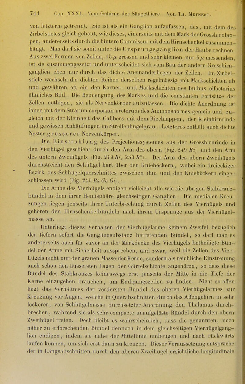 von letzterm getrennt. Sie ist als ein Ganglion fiutzufassen, das, mit dem des Zii-belstieles gleich gebaut, wie dieses, einerseits mit dem Mark der Grosshirnlap- pen, andererseits durch die hintere Gommissur mit dem Hirnschenkel zusammen- hängt. Man darf sie somit unter die Ursprungsganglien der Haube rechnen. Aus zwei Formen von Zellen, 1 5 f.i grossen und sehr kleinen, nur 6jtt messenden, ist sie zusammengesetzt und unterscheidet sich vom Bau der andern Grosshirn- ganglien eben nur durch das dichte Aneinanderliegen der Zellen. Im Zirbel- stiele wechseln die dichten Reihen derselben regelmässig mit Markschichten ab und gewähren oft ein den Körner- und Markschichlen des Bulbus olfactorius ähnliches Bild. Die Beimengung des Markes und die constanten Forlsätze der Zellen nöthigen, sie als Nervenkörper aufzufassen. Die dichte Anordnung ist ihnen mit dem Stratum corporum arctorum des Ammonshornes gemein und, zu- gleich mit der Kleinheit des Calibers mit dem Riechlappen, der Kieinhirnrinde und gewissen Anhäufungen im StreifenhUgelgrau. Letzteres enthält auch dichte Nester grösserer Nervenkörper. Die Einstrahlung des Projeclionssystemes aus der Grosshirnrinde in den Vierhügel geschieht durch den Arm des obern (Fig. 249 Bs] und den Arm des untern Zweihügeis (Fig. 'Wd Bi, 250 B*). Der Arm des obern Zweihügels durchstreicht den Sehhügel hart über den Kniehöckern, wobei ein dreieckiger Bezirk des Sehhügelquerschnittes zwischen ihm und den Kniehöckern einge- schlossen wird (Fig. 249 Bs Ge Gi). ■ Die Arme des Vierhügels endigen vielleicht alle wie die übrigen Stabkranz- bündel in dem ihrer Hemisphäre gleichseitigen Ganglion. Die medialen Kreu- zungen liegen jenseits ihrer Unterbrechung durch Zellen des Vierhügels und gehören den Hirnschenkelbündeln nach ihrem Ursprünge aus der Vierhügel- masse an. Unterliegt dieses Verhalten der Vierhügelarme keinem Zweifel bezüglich der tiefern sofort die Gangliensubslanz betretenden Bündel, so darf mau es andererseits auch für zuvor an der Markdecke des Vierhügels betheiligte Bün- del der Arme mit Sicherheit aussprechen, und zwar, weil die Zellen des Vier- hUgels nicht nur der grauen Masse der Kerne, sondern als reichliche Einstreuung auch schon den äussersten Lagen der Gurtelschichte angehören, so dass diese Bündel des Stabkranzes keineswegs erst jenseits der Mitte in die Tiefe der Kerne einzugehen brauchen, um Endigungszellen zu finden. Nicht so offen liegt das Verhältniss der vordersten Bündel des oberen Vierhügelarmes zur Kreuzung vor Augen, welche in Querabschnitlen durch das Atfengehirn in sehr lockerer, von SehhUgelmasse durchsetzter Anordnung den Thalamus durch- brechen, v/ährend sie als sehr compacte unaufgelöste Bündel durch den obern ZweihUgel treten. Doch bleibt es wahrscheinlich, dass die genannten, noch näher zu erforschenden Bündel dennoch in dem gleichseitigen Vierhügelgang- lion endigen, indem sie nahe der Mittellinie umbeugen und nach rückwärts laufen können, um sich erst dann zu kreuzen. Dieser Voraussetzung entspräche der in Längsabschnitten durch den oberen ZweihUgel ersichtliche longitudinale