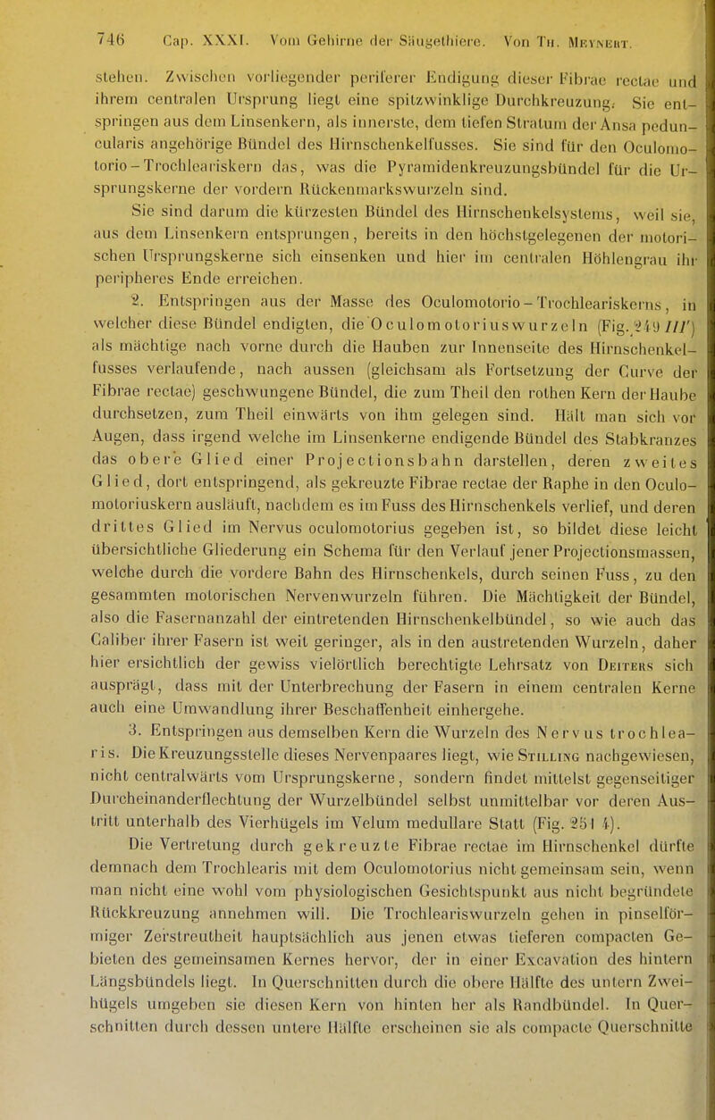 stehen. Zwischen vorliegender pcril'erer Endigung dieser Fibrae reclae und ihrem centralen Ursprung liegt eine spitzwinklige Durchkreuzung.- Sie ent- springen aus dem Linsenkern, als innerste, dem tiefen Stratum der Ansa pedun- cularis angehörige Bündel des llirnschenkelfusses. Sie sind für den Oculonio- torio-Trochleariskern das, was die Pyramidenkreuzungsbündel für die Ur- sprungskerne der vordern Rückenmarkswurzeln sind. Sie sind darum die kürzesten Bündel des Hirnschenkelsystems, weil sie, aus dem Linsenkern entsprungen, bereits in den höchstgelegenen der motori- schen Ursprungskerne sich einsenken und hier itn centralen Höhlengrau ihi- peripheres Ende erreichen. 2. Entspringen aus der Masse des Oculomotorio - Trochleariskcrns, in welcher diese Bündel endigten, die OcuIomotoriuswurzeln (Fig. ^iü//7') als mächtige nach vorne durch die Hauben zur Innenseite des Hirnschenkel- fusses verlaufende, nach aussen [gleichsam als Fortsetzung der Curve der Fibrae rectae) geschwungene Bündel, die zum Theil den rothen Kern der Haube durchsetzen, zum Theil einwärts von ihm gelegen sind. Hält man sich vor Augen, dass ii'gend welche im Linsenkerne endigende Bündel des Stabkranzes das obere Glied einer Proj ectionsbahn darstellen, deren zweites Glied, dort entspringend, als gekreuzte Fibrae rectae der Raphe in den Oculo- motoriuskern ausläuft, nachdem es im Fuss des Hirnschenkels verlief, und deren drittes Glied im Nervus oculoraotorius gegeben ist, so bildet diese leicht übersichtliche Gliederung ein Schema für den Verlauf jener Projectionsmassen, welche durch die vordere Bahn des Hirnschenkels, durch seinen Fuss, zu den gesammten motorischen Nervenwurzeln führen. Die Mächtigkeit der Bündel, also die Fasernanzahl der eintretenden Hirnschenkelbündel, so wie auch das Galiber ihrer Fasern ist weit geringer, als in den austretenden Wurzeln, daher hier ersichtlich der gewiss vielörtlich berechtigte Lehrsatz von DfirrEus sich ausprägt, dass mit der Unterbrechung der Fasern in einem centralen Kerne auch eine Umwandlung ihrer Beschaffenheit einhergehe. 3. Entspringen aus demselben Kern die Wurzeln des Nervus trochlea- ris. Die Kreuzungsstelle dieses Nervenpaares liegt, v^'ie Stillixg nachgewiesen, nicht centralwärts vom Ursprungskerne, sondern findet mittelst gegenseitiger Dui-cheinanderflechtung der Wurzelbündel selbst unmittelbar vor deren Aus- tritt unterhalb des Vierhügels im Velum medulläre Statt (Fig. 2Ö I 4). Die Vertretung durch gekreuzte Fibrae rectae im Hirnschenkel dürfte demnach dem Trochlearis mit dem Oculomotorius nicht gemeinsam sein, wenn man nicht eine wohl vom physiologischen Gesichtspunkt aus nicht begründete Rückkreuzung annehmen will. Die Trochleariswurzeln gehen in pinselför- miger Zerstreutheit hauptsächlich aus jenen etwas tieferen compacten Ge- bieten des gemeinsamen Kernes hervor, der in einer Excavation des hintern Längsbündels liegt. In Querschnitten durch die obere Hälfte des untern Zwei- hügels umgeben sie diesen Kern von hinten her als Randbündel. In Quer- schnitten durch dessen untere Hälfte erscheinen sie als compacte Querschnitte