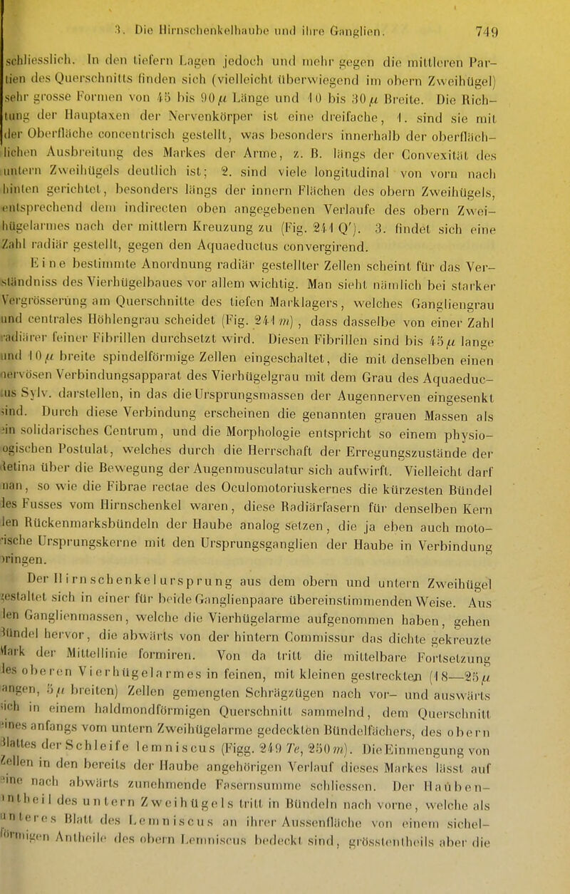 schliesslich. In den lielern Lngon jedoch und mehr gegen die minieren Par- tien des Querschnitts finden sich (vielleicht tlborvviegend im ohern Zweihügel) sehr grosse Formen von 45 bis OO^tt Länge und 1 ü bis 80 jU Breite. Die Rich- tung der Ilauplaxen der Nervenkörper ist eine dreifache, 1. sind sie mit der Oberflache concentrisch gestellt, was besonders innerhalb der oberfliich- lichen Ausbreitung des Markes der Arme, z. ß. längs der Convexität des ;untern Zweihügels deutlich ist; 2. sind viele longitudinal von vorn nach hinten gerichtet, besonders längs der innern Flüchen des obern Zweihügels, lenlsprechend dem indireclen oben angegebenen Verlaufe des obern Zwei- hUgelarmes nach der mittlem Kreuzung zu (Fig. 241 Q'j. 3. findet sich eine Zahl radiär gestellt, gegen den Aquaeductus convergirend. Kine beslinuiile Anordnung radiär gestellter Zellen scheint für das Ver- «ländniss des Vierhügelbaues vor allem wichtig. Man sieht nämlich bei starker Vergrösserüng am Querschnitte des tiefen Marklagers, welches Gangliengrau und centrales Höhlengrau scheidet (Fig. 241 ///) , dass dasselbe von einer Zahl radiärer feiner Fibrillen durchsetzt wird. Diesen Fibrillen sind bis 45lange und 10/< breite spindelförmige Zellen eingeschaltet, die mit denselben einen nervösen Verbindungsapparat des Vierhügelgrau mit dem Grau des Aquaeduc- tus Sylv. darstellen, in das die Ursprungsmassen der Augennerven eingesenkt ;ind. Durch diese Verbindung erscheinen die genannten grauen Massen als Jin solidarisches Centrum, und die Morphologie entspricht so einem physio- ogischen Postulat, welches durch die Herrschaft der Erregungszustände der 'lelina über die Bewegung der Augenmusculatur sich aufwirfl. Vielleicht darf iian, so wie die Fibrae reclae des Oculomotoriuskernes die kürzesten Bündel les Fusses vom Hirnschenkel waren, diese Radiärfasern für denselben Kern Jen RUckenmarksbündeln der Haube analog setzen , die ja eben auch molo- •ische Ursprungskerne mit den Ursprungsganglien der Haube in Verbindung bringen. Der II irnschenkel Ursprung aus dem obern und untern Zweihügel gestaltet sich in einer für beide Ganglienpaare übereinstimmenden Weise. Aus len Ganglienmassen, welche die Vierhügelarme aufgenommen haben, gehen Bündel hervor, die abwärts von der hintern Commissur das dichte gekreuzte Wark der Mittellinie formiren. Von da tritt die mittelbare Fortsetzung Jes oberen Vierhügelarmes in feinen, mit kleinen gestreckteji (18 angen, breiten) Zellen gemengten Schrägzügen nach vor- und ausw^ärts iich in einem haldmondförmigen Querschnitt sammelnd, dem Querschnitt -Ines anfangs vom untern Zweihügelarme gedecktön Bündelfächers, des obern Blattes der Schleife lemniscus (Figg. 249 7V^, 250w). DieKinmengung von Zellen in den bereits der Haube angehörigen Verlauf dieses Markes lässt auf 3ine nach abwärts zunehmende Fasernsumme schliessen. Der Haüben- 'nlheil des untern Zweihügels tritt in Bündeln nach vorne, welche als iJnteres Blatt des l-emniscus an ilucr Aus.sendäche von einem sichel- ''•iiugcn Anlheilc dos obern r,enmiscus bedeckt sind, grösstenlheils aber die