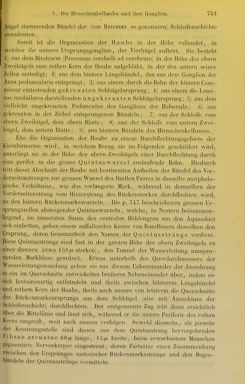 hilgel stammenden Bündel der (von Rkicuuut so genannten] Schleifenschichlo anzudeuten. Somit ist die Organisation der Haube in der Höhe vollendet, in welcher ihr unteres Ursprungsganglion, der Vierhügel aufhört. Sie besteht I) aus dem Bindearm (Processus cerebelli ad cerebrum) in der Höhe des obern ZweihUgels zum roUien Kern dci- Haube aufgebläht, in der des untern seiner Zellen entledigt; 2) aus dem hinleii) Längsbündel, das aus dem Ganglion der Ansa peduncularis entspringt; 3) aus einem durch die Bahn der hintern Com- missur eintretenden gekre uzten Sehhügelursprung; 4) aus einem die Lami- n.ic medulläres darstellenden ungekreuzten Sehhügelursprung; 5) aus dem vielleicht ungekreuzten Pedunculus des Ganglions der Habenula; 6) aus gekreuzten in der Zirbel entsprungenen Bündeln ; 7) aus der Schleife vom ■ obern Zweihügel, dem obei-n Blatte; 8) aus der Schleife vom untern Zwei- hügel, dem untern Blatte; 9) ans hintern Bündeln des Hirnschenkelfusses. Ehe die Organisation der Haube zu einem Durchflechtungsgebiete der Kleinhirnarme wird, in welchem Bezug sie im Folgenden geschildert wird, unterliegt sie in der Höhe des obern Zweihügels einer Durchflechtung durch eine perifer in die grosse Qui ntus wurzel auslaufende Bahn. Hiedurch tritt dieser Abschnitt der Haube mit bestimmten Antheilen der Bündel des Vor- ■ derseitenslranges zur grossen Wurzel des fünften Paares in dasselbe morpholo- Igische Verhältniss, wie das verlängerte Mark, während in demselben der Vorderseitenstrang vom Hinterstrang des Rückenmarkes durchflochten wird, ; zu den hintern Rückenmarkswurzeln. Die p. 747 beschriebenen grossen Ur- sprungszellen absteigender Quintuswurzeln, w-elche, in Nestern beisammen- I liegend, im äussersten Saum des centralen Höhlengrau um den Aquaeduct • sich einbetten, geben einem auffallenden Kreise von Randfasern desselben den I Ursprung, deren Gesamratheit den Namen der Qui ntussträuge verdient. Diese Quintusstränge sind fast in der ganzen Höhe des obern Zweihügels zu I einer dünnen (etwa 1 50 ^tt starken) , den Tunnel der Wasserleitung umspan- nenden Markblase geordnet. Etwas unterhalb des Querdurchmessers der Wasserleitungswandung gehen sie aus diesem Uebereinander der Anordnung in ein im Querschnitte entwickeltes breiteres Nebeneinander über, indem sie sich fonlainenartig entbündeln und theils zwischen hinterem Längsbündel I und rothem Korn der Haube, theils nach aussen von letzterm die Querschnitte des Rückenmarksursprungs aus dem Sehhügel (also mit Ausschluss der Schleifenschicht) durchflechten. Der erstgenannte Zug tritt dann ersichtlich über die Mittellinie und lässt sich, während er die untere Periferie des rotheu Kerns umgreift, weit nach aussen verfolgen. Sowohl diesseits, als jenseits der Kreuzungsstelle sind diesen aus dem Quintusstrang hervorgehenden H'ibrae arcuatae 60jU, lange, Vofi breite, beim erwachsenen Menschen pigmentirte Nervenkörper eingestreut, deren Fortsätze einen Zusammenhang zwischen den Ursprüngen motorischer Rückenmarksstränge imd den Bogen- hündeln der Quintusstränge vermitteln.