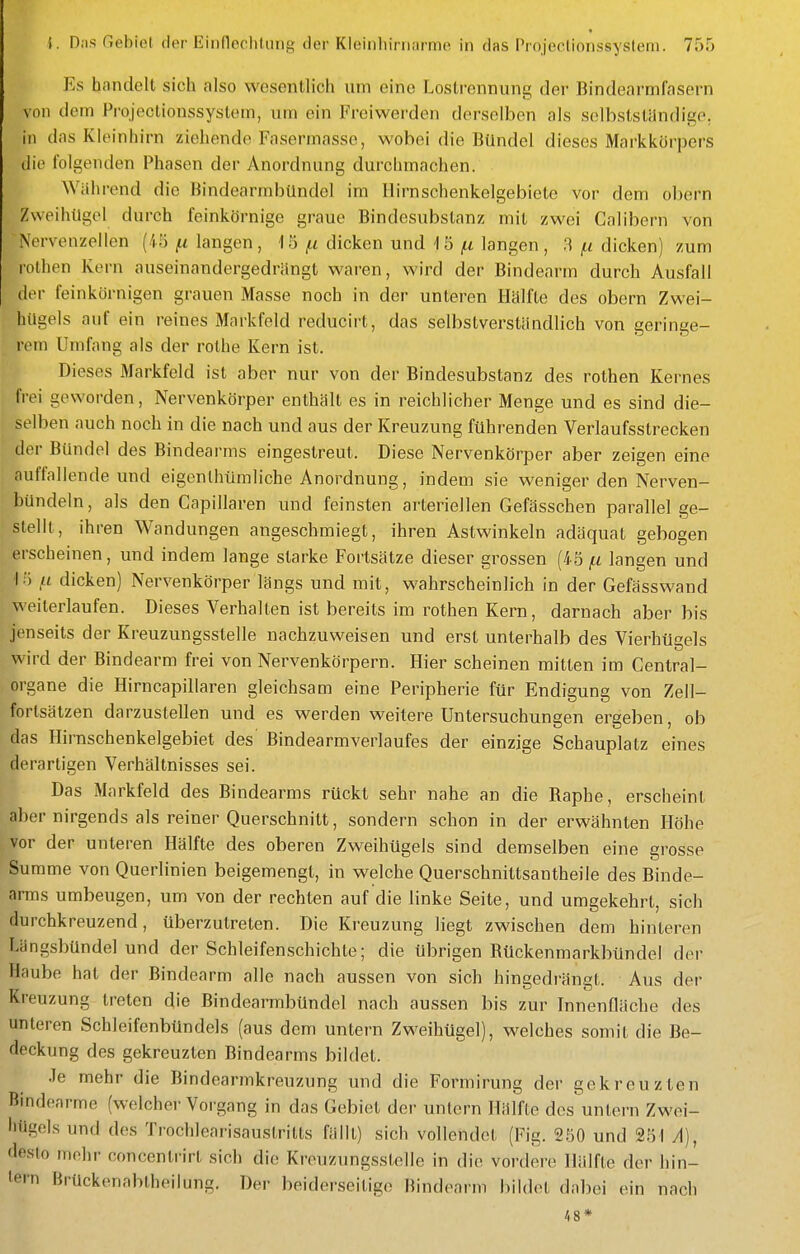 Es handelt sich also wesentlich um eine Lostrennung der Bindearmfasern von dem Projeclionssystem, um ein Freiwerden derselben als sclbststilndige, in das Kleinhirn ziehende Fasermasse, wobei die Bündel dieses Markkürpers die folgenden Phasen der Anordnung durchmachen. Wahrend die BindearmbUndel im Ilirnschenkelgebiete vor dem obern ZweihUgol durch feinkörnige graue Bindcsubslanz mit zwei Calibern von Nervenzellen (45 langen, i5 ^tt dicken und 1 ö ^ti langen , 3 (t< dicken) zum rothen Kern auseinandergedriingt waren, wird der Bindearm durch Ausfall der feinkörnigen grauen Masse noch in der unteren Hälfte des obern Zwei- hügels auf ein reines Markfeld reducirt, das selbstverständlich von geringe- rem Umfang als der rothe Kern ist. Dieses Markfeld ist aber nur von der Bindesubstanz des rothen Kernes frei geworden, Nervenkörper enthält es in reichlicher Menge und es sind die- selben auch noch in die nach und aus der Kreuzung führenden Verlaufsstrecken der Bündel des Bindearms eingestreut. Diese Nervenkörper aber zeigen eine auflallende und eigenlhümliche Anordnung, indem sie weniger den Nerven- bündeln, als den Capillaren und feinsten arteriellen Gefässchen parallel ge- stellt, ihren Wandungen angeschmiegt, ihren Astwinkeln adäquat gebogen erscheinen, und indem lange starke Fortsätze dieser grossen (4 5 (.i langen und I ) f.L dicken) Nervenkörper längs und mit, wahrscheinlich in der Gefässwand weiterlaufen. Dieses Verhalten ist bereits im rothen Kern, darnach aber bis jenseits der Kreuzungsstelle nachzuweisen und erst unterhalb des Vierhügels wird der Bindearm frei von Nervenkörpern. Hier scheinen mitten im Centrai- organe die Hirncapillaren gleichsam eine Peripherie für Endigung von Zell- fortsätzen darzustellen und es werden weitere Untersuchungen ergeben, ob das Hirnschenkelgebiet des Bindearmverlaufes der einzige Schauplatz eines derartigen Verhältnisses sei. Das Markfeld des Bindearms rückt sehr nahe an die Baphe, erscheint aber nirgends als reiner Querschnitt, sondern schon in der erwähnten Höhe vor der unteren Hälfte des oberen Zweihügels sind demselben eine grosse Summe von Querlinien beigemengt, in welche Querschnittsantheile des Binde- arms umbeugen, um von der rechten auf die linke Seite, und umgekehrt, sich durchkreuzend, überzutreten. Die Kreuzung liegt zwischen dem hinteren Längsbündel und der Schleifenschichle; die übrigen Bückenmarkbündel der Haube hat der Bindearm alle nach aussen von sich hingedrängt. Aus der Kreuzung treten die Bindearmbündel nach aussen bis zur Innenfläche des unteren Schleifenbündels (aus dem untern Zweihügel), welches somit die Be- deckung des gekreuzten Bindearms bildet. Je mehr die Bindearmkreuzung und die Formirung der gekreuzten Bindearme (welcher Vorgang in das Gebiet der untern Hälfte des untern Zwei- liUgels und des Trochlearisauslritts fällt) sich vollendet (Fig. 2ö0 und 251 yl), desto mehr concentrirt sich die Kreuzungsstelle in die vordere Hälfte der hin- ern Brückenabtheilung. Der beiderseitige Bindearm bildet dabei ein nach 48*