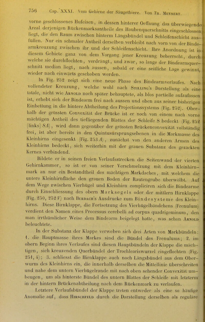 vorne geschlossenes Hufeisen, in dessen hinlerer Oeflhung das überwiegend Areal derjenigen Rückenmarksantheile des Haubenquerschnills eingeschlossen' liegt, die den Raum zwischen hinlerm LängsbUndel und Schleilenschicht aus-- lullen. Nur ein schmaler Antheil derselben verbleibt nach vorn von der Binde- arrakreuzung zwischen ihr und der Schleifenschiclit. Ihre Anordnung ist im diesem Gebiete ganz von dem Vorgang jener Kreuzung beherrschL durch i welche sie durchflochten, verdrängt, und zwar, so lange der Rindeannquer- schniLt median liegt, nach aussen, sobald er eine seitliche Lage gewinnt,, wieder nach einwärts geschoben werden. ' In Fig. 252 zeigt sich eine neue Phase des Bindearmverlaufes. Nach, vollendeter Kreuzung, welche wohl nach Stilling's Darstellung als eine totale, nicht wie Arxold noch später behauptete, als blos partielle aufzufassen ist, erhebt sich der Bindearm frei nach aussen und oben aus seiner bisherigen Einbettung in die hintere Abtheilung des Projectionssystenis (Fig. 252). Ober- halb der grössten Convexilät der Brücke ist er noch von einem nach vorne mächtigen Antheil des tiefliegenden Blattes der Schleife S bedeckt (Fig. 252 [links] SA), wird dann gegenüber der grössten Brückenconvexität vollständig frei, ist aber bereits in den Quinlusursprungsebenen in die Markmasse des Kleinhirns eingesenkt (Fig. 253^), zunächst von den anderen Armen des Kleinhirns bedeckt, sich weiterhin mit der grauen Substanz des gezackten Kernes verbindend. Bildete er in seinen freien Verlaufsstrecken die Seitenwand der vierten Gehirnkammer, so ist er von seiner Verschmelzung mit dem Kleinhirn- mark an nur ein Bestandtheil des mächtigen Markdaches, mit welchem die unlere Kleinhirnfläche den grauen Boden der Rautengrube überwölbt. Auf dem Wege zwischen Vierhügel und Kleinhirn compliciren sich die ßindearme durch Einschliessung des obern Marksegels oder der mittlem Hirnklappe (Fig. 250, 252 V] nach Burdach's Ausdrucke zum Bindesysteme des Klein- hirns. Diese Hirnklappe, die Fortsetzung des Vierhügelbändchens (Frenulum) verdient den Namen eines Processus cerebelli ad corpus quadrigeminum, den man irrthümlicher Weise dem Bindearm beigelegt hatte, was schon Arnold beleuchtete. In der Substanz der Klappe verweben sich drei Arten von Markbündelu: 1. die Hauptmasse ihres Markes sind die Bündel des Frenulums; 2. im obern Beginn ihres Verlaufes sind diesen Hauptbündeln der Klappe die mäch- tigen , sich kreuzenden Querbündel der Trochleariswurzel eingeflochten (Fig. 201, 4); 3. schliesst die Hirnklappe auch noch Längsbündel aus dem Ober- wurm des Kleinhirns ein, die innerhalb derselben die Mittellinie überschreiten und nahe dem untern Vierhügelrande mit nach oben sehender Convexilät um- beugen, um als hinterste Bündel des untern Blattes der Schleife mit letztenn in der hinlern Brückenablheilung nach dem Rückenmark zu verlaufen. Letzlere Vcrlaufsbündel der Klappe treten entweder als eine so häufige Anomalie auf, dass IIirsciifelu durch die Darstellung derselben als reguläre