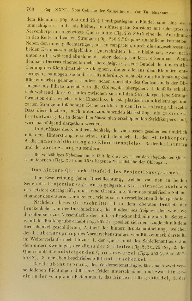 dem Kleinhirn (Fig. 254 und 255) herabgestiegenen Bündel sind eine weit unmächugere, und, als kleine, in dinusc graue Substanz mit sehr .rossen ^e.^enkörpern eingebettete Querschnitte (Fig. 257 SFC) eine der Anordnung m den Ked- und zarten Strängen (Fig. 258 SFC) ganz unähnliche Formation Neben den „.nen geflechlarligen, aussen compacten, durch die eingeschlossenen beiden Kernmassen aufgeblähten Querschnitten dieser bleibt sie zwar nach unten zu fortwährend abnehmend, aber doch gesondert, erkennbar. Wenn demnach Deiters einerseits nicht berechtigt ist, jene Bündel der innern Ab- thcdung des Kleinhirnstieles zu leugnen, die gerade aus dem Kleinhirn ent- springen, so mögen sie andererseits allerdings nicht bis ,zum Ilinterstrang des Rückenmarkes gelangen, sondern schon oberhalb des Centralcanals der Ob- longata als Fibrae arcuatae in die Oblongata übergehen. Jedenfalls schiebt sich während ihres Verlaufes zwischen sie und den Strickkörper jene Strang- iormation ein, welche unter Einschluss der sie plastisch zum Keilslrange und zarten Strange aufblähenden Kerne wirklich in den Hinterslrang übergeht Dass diese letztern, nach unten zunehmenden Marksträngc die gekreuzte Fortsetzung des in demselben Masse sich erschöpfenden Strickkörpers sind wird nachfolgend dargethan werden, ' In der Masse des Kleinhirnschenkels, der von aussen gesehen continuirlich mit dem Hinterstrang erscheint, sind demnach 1. der Strickkörper 2. dieinnereAbtheilungdesKIeinhirnstieles, 3. der Ke ils l ra n g und der zarte Strang zu sondern. Ihr vollzähliges Nebeneinander rdlll in die, zwischen den abgebildeten Ouer- schniUebenen (Figg. 2 57 und 258) liegende Verlaufshöhe der Oblongata. ^ ' Das hintere Querschnittsfeld des Projectionssystemes. Der Beschreibung jener DurchGechtung, welche von den an beiden Seiten des Projectionssystemes gelagerten Kleinhirnschenkeln aus das letztere durchgreift, muss eine Orientirung über das musivische Neben- einander des erstcren vorangehen, wie es sich in verschiedenen Höhen gestaltet. Nachdem dieses Querschnittfeld in dem obersten Drittheil der Brückenhöhe von der Durchflechtung des Bindcanucs freigeworden war, wo derselbe sich zur AussenQäche der hintern Brückcnabtheilung als die Seilen- wand der Rautengrube erhebt (Fig. 252 A), gesellen sich dem (zugleich mit dem Hirnschenkcl geschilderten) Antheil der hintern Brückcnabtheilung, welcher den Haubenursprung des Vorderseitenstranges vom Rückenmark darstellt, im Weiterverlaufe noch hinzu : 1. der Querschnitt des Schleifenantheils aus dem untern Zweihügel, der »Fuss der Schleife« (Fig.252u. 253Sj, 2. der Querschnitt der aufsteigenden Q ui ntus wurze 1 (Figg. 253 (), 254 257 258S), 3. der eben beschriebene Kleinhirnschenkel. Der Haubenursprung des Vorderseilenstranges lässl nach zwei ver- schiedenen Richtungen diderente Felder unterscheiden, und zwar hinter- einander vom grauen Boden aus 1. das hintere Längsbündcl, 2. das