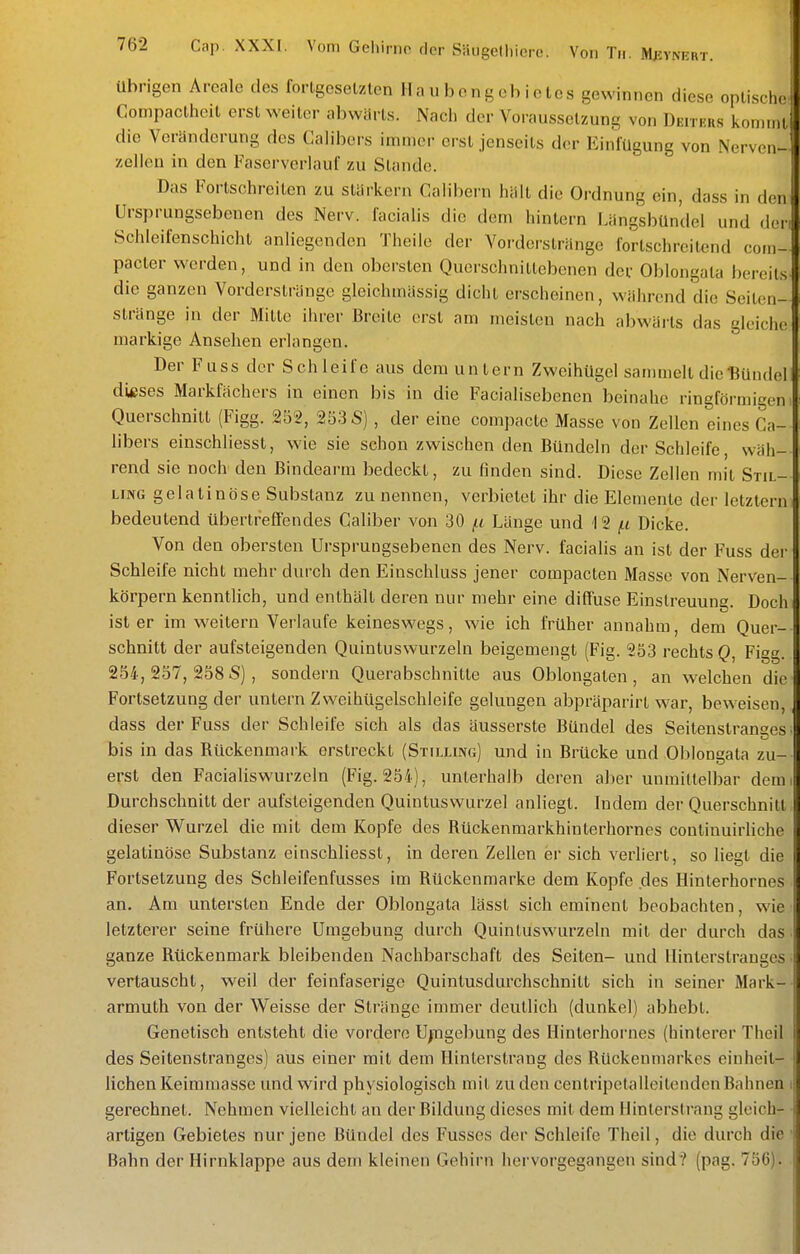 übrigen Areale des fortgesetzten Hau bong ob io tos gewinnen diese optische! Compactheit erst weiter abwiirts. Nach der Voraussetzung von DErrüRs kommt die Veränderung des Calibers immer erst jenseits der Einfügung von Nerven- zellen in den Faserverlauf zu Stande. Das Fortschreiten zu stärkern Caiibern hält die Ordnung ein, dass in den Ursprungsebonen des Nerv, facialis die dem hintern LängsbUnclel und dorr Schleifenschicht anliegenden Theilo der Vorderstränge fortschreitend com- pacter werden, und in den obersten Querschniltebenen der Oblongata bereits, die ganzen Vorderstränge gleichmässig dicht erscheinen, während die Seiten- stränge in der Mitte ihrer Breite erst am meisten nach abwärts das gleiche markige Ansehen erlangen. Der Fuss der Schleife aus dem untern Zweihügel sammelt die Bündel dieses Markfächers in einen bis in die Facialisebenen beinahe ringförmigen Querschnitt (Figg. 2S2, 253 S) , der eine compacte Masse von Zellen eines Ca- libers einschliesst, wie sie schon zwischen den Bündeln der Schleife, wäh- rend sie noch den Bindearm bedeckt, zu finden sind. Diese Zellen mit Stil- LiNG gelatinöse Substanz zu nennen, verbietet ihr die Elemente der letztern bedeutend übertreffendes Caliber von 30 f.i Länge und 12 Dicke. Von den obersten Ursprungsebenen des Nerv, facialis an ist der Fuss der Schleife nicht mehr durch den Einschluss jener compacten Masse von Nerven- körpern kenntlich, und enthält deren nur mehr eine diffuse Einstreuung. Doch ist er im weitem Verlaufe keineswegs, wie ich früher annahm, dem Quer- schnitt der aufsteigenden Quintuswurzeln beigemengt (Fig. 253 rechts Figg. 254,257,258 5), sondern Querabschnitte aus Oblongaten, an welchen die' Fortsetzung der untern Zweihügelschleife gelungen abpräparirt war, beweisen,, dass der Fuss der Schleife sich als das äusserste Bündel des Seitenstranges, bis in das Rückenmark erstreckt (Stilling) und in Brücke und Oblongata zu- erst den Facialiswurzeln (Fig. 254), unterhalb deren aber unmittelbar demi Durchschnitt der aufsteigenden Quintuswurzel anliegt. Indem der Querschnitt dieser Wurzel die mit dem Kopfe des Rückenmarkhinterhornes continuirUche gelatinöse Substanz einschliesst, in deren Zellen er sich verliert, so liegt die Fortsetzung des Schleifenfusses im Rückenmarke dem Kopfe des Hinterhornes an. Am untersten Ende der Oblongata lässt sich eminent beobachten, wie letzterer seine frühere Umgebung durch Quintuswurzeln mit der durch das > ganze Rückenmark bleibenden Nachbarschaft des Seiten- und llinterstranges; vertauscht, weil der feinfaserige Quintusdurchschnitt sich in seiner Mark-- armuth von der Weisse der Stränge immer deutlich (dunkel) abhebt. Genetisch entsteht die vordere U/ngebung des Hinterhornes (hinterer Theil des Seitenstranges) aus einer mit dem Hinterstrang des Rückenmarkes einheit- lichen Keimmasse und wird physiologisch mit zu den centripetalleitenden Bahnen gerechnet. Nehmen vielleicht an der Bildung dieses mit dem Uinterstrang gleich- artigen Gebietes nur jene Bündel des Fusses der Schleife Theil, die durch die Bahn der Hirnklappe aus dem kleinen Gehirn hervorgegangen sind? (pag. 756).