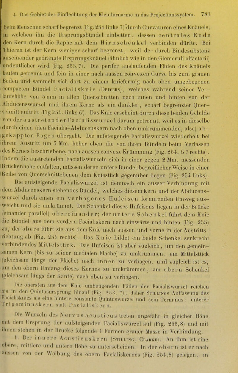 beim Menschen scharf begrenzt (Fig.'254 links 7) dui'ch Curvnluren eines Knäuels, in welchen ihn die Ursprungsbündel einbetten, dessen centrales Ende den Kern durch die Raphe mit dem Hirnschenkel verbinden dürfte. Bei Thieren ist der Kern weniger scharf begrenzt, weil der durch Bindesubstanz auseinander gedrängte Ursprungsknäuel (ähnlich wie in den Glomeruh olfactorii) I undeutlicher wird (Fig. 253,7). Die perifer auslaufenden Fäden des Knäuels laufen getrennt und fein in einer nach aussen convexen Curve bis zum grauen I Boden und sammeln sich dort zu einem knieförmig nach oben umgebogenen Icompacten Bündel Facialisknie (Deiters), welches während seiner Ver- ilaufshöhe von 5 nun in allen Querschnitten nach innen und hinten von der Abducenswurzel und ihrem Kerne als ein dunkler, scharf begrenzter Quer- schnitt auftritt (Fig 254. links G). Das Knie erscheint durch diese beiden Gebilde von der austrelendeuFacialiswurzcl darum getrennt, weil es in dieselbe durch einen (den Facialis-Abducenskern nach oben umkrümmenden, also) ab- igekappten Bogen übergeht. Die aulsteigende Facialiswurzel wiederholt bei I ihrem Austritt um 5 Mm. höher oben die von ihren Bündeln beim Verlassen (des Kernes beschriebene, nach aussen convexe Krümmung (Fig. 254, G 7 rechts). Indem die austretenden Facialiswurzeln sich in einer gegen 2 Mm. messenden I Brückenhöhe entfalten, müssen deren untere Bündel begreiflicherweise in einer iReihe von Querschnittebenen dem Kniestück gegenüber liegen (Fig. 254 links). Die aufsteigende Facialiswurzel ist demnach ein ausser Verbindung mit ;deraAbducenskern stehendes Bündel, welches diesem Kern und derAbducens- 'wurzel durch einen ein verbogenes Hufeisen formirenden Umweg aus- weicht und sie umkrümmt. Die Schenkel dieses Hufeisens liegen in der Brücke (einander parallel) übe reinander; der untere Schenkel führt dem Knie die Bündel aus dem vordem Facialiskern nach einwärts und hinten (Fig. 255) zu, der obere führt sie aus dem Knie nach aussen und vorne in der Austritts- irichtung ab (Fig. 254 rechts). Das Knie bildet ein beide Schenkel senkrecht ■verbindendes Mitlelstück. Das Hufeisen ist aber zugleich, um den gemein- samen Kern (bis zu seiner medialen Fläche) zu umkrümmen, am Mittelstück (gleichsam längs der Fläche) nach innen zu verbogen, und zugleich ist es, um den obern Umfang dieses Kernes zu umkrümmen, am obern Schenkel (gleichsam längs der Kante), nach oben zu verbogen. Die obersten aus dem Knie umbeugenden Fäden der Facialiswurzel reichen Ibis in den Quinlusursprung hinauf (Fig. 253, 7), daher Stillings Auffassung des IFacialisknies als eine hintere constante Quintuswurzel und sein Terminus: unterer Trigeminuskern statt Facialiskern. Die Wurzeln des Nervus acuslicus treten ungefähr in gleicher Höhe mit dem Ursprung der aufsteigenden Facialiswurzel auf (Fig. 255,8) und mit ihnen stehen in der Brücke folgende 4 Formen grauer Masse in Verbindung. 1. Der innere Acusticuskorn (Stilmnc, Clarke). An ihm ist eine obere, mittlere und untere Höhe zu unterscheiden. In der obern ist er nach aussen von der Wölbung des obern Facialiskernes (Fig. 254,8) gelegen, in