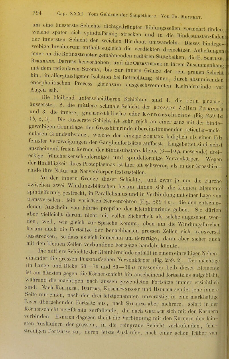 um eine äusserste Schichte dichtgedrängter Bildungszellen vermehrt finden welche später sich spindelförmig strecken und in die Bindesubslnnzfäden der innersten Schicht der weichen Hirnhaut umwandeln. Dieses bindeae- web.se Involucrum enthält zugleich die verdickten dreieckigen AnheftunL jener an die Retmastructur gemahnenden radiären Stützbalken, die E Scuum- Deiteus hervorhoben, und dieOBEusxEixEH in ihrem Zusammenhang mit dem reticulären Stroma, bis zur innern Gränze der rein grauen Schicht hm, in allergünstigsterlsolation bei Betrachtung einer, durch'absumirendon encephahtischen Process gleichsam ausgeschwemmten Kleinhirnrinde vor Augen sah. Die bleibend unterscheidbaren Schichten sind 1. die rein graue äusserste; 2. die mittlere schmale Schicht der grossen Zellen Puukixjf's und 3. die mnere, grauröthliche oder Körnerschichte (Fig. 2.59 1« 10, 2, 3). Die äusserste Schicht ist sehr reich an einer ganz mit der binde- gewebigen Grundlage der Grosshirnrinde übereinstimmenden reticulär-mole- cularen Grundsubstanz, welche der einzige Stillixg lediglich als einen Filz le.nster Verzweigungen der Ganglienfortsätze auffasst. Eingebettet sind nebst anscheinend freien Kernen der Bindesubstanz kleine (6-10^ messende] drei- eckige (räucherkerzchenförmige) und spindelförmige Nervenkörper. Wegen der Hinfälligkeit ihres Protoplasmas ist hier oft schwerer, als in der Grosshirn- rinde ihre Natur als Nervenkörper festzustellen. An der innern Grenze dieser Schichte, und zwar je um die Furche zwischen zwei Windungsblättchen herum finden sich die kleinen Elemente spindelförmig gestreckt, in Parallelismus und in Verbindung mit einer Lage von transversalen, fein varicösen Nervenröhren (Fig. 2-59 1 b), die den entschie- denen Anschein von Fibrae propriae der Kleinhirnrinde geben. Sie dürfen aber vielleicht darum nicht mit voller Sicherheit als solche angesehen wer- den, weil, wie gleich zur Sprache kommt, eben um die Windungsfurchen herum auch die Fortsätze der benachbarten grossen Zellen sich transversal ausstrecken, so dass es sich immerhin um derartige, dann aber sicher auch mit den kleinen Zellen verbundene Fortsätze handeln könnte. Die mittlere Schichte der Kleinhirnrinde enthält in einem einreihigen Neben- einander die grossen PuRKmjE'schen Nervenkörper (Fig. 259, 2). Der mächtige (in Länge und Dicke 60—70 und 20—30;it messende) Leib dieser Elcaicnlc ist am öftesten gegen die Körnerschicht hin anscheinend fortsatzlos aufgebläht, während die mächtigen nach aussen gewendeten Fortsätze immer ersichtlich sind. Nach Kölliker, Deiteus, Koschewnikoki.' und IIadlich sendet jene innere Seite nur einen, nach den drei letztgenannten unverästigt in eine markhaltigc ' Faser übergehenden Fortsatz aus, nach Stilling aber niehrere, sofort in der 1 Körnerschicht netzförmig zerfallende, die nach Gerlacii sich mit den Körnern verbinden. Hahlicii dagegen theilt die Verbindung mit den Körnern den fein- sten Ausläufern der grossen, in die reingrauo Schicht verlaufenden, fein- streifigen Fortsätze zu, deren letzte Ausläufer, nach einer schon früher von .