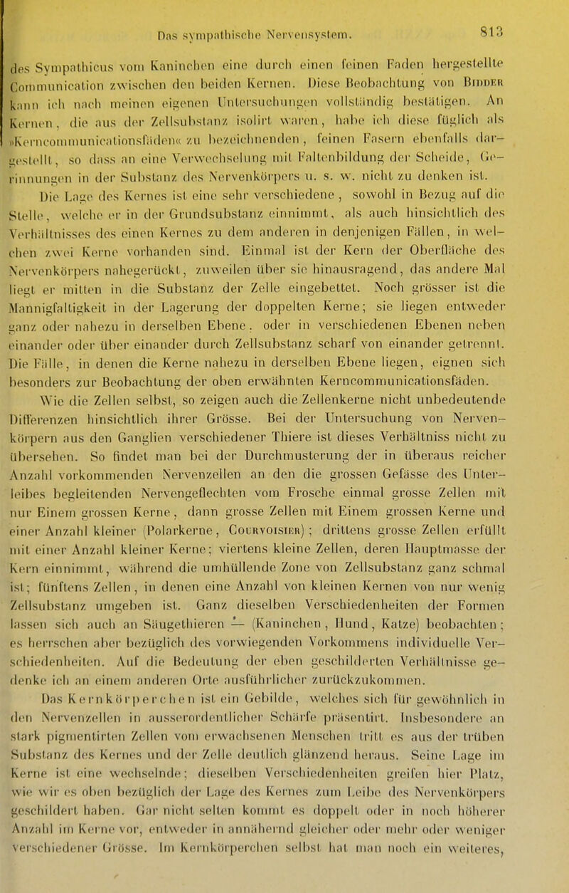 des Sympalhicus vom Kaninchen eine durcli einen feinen Faden hergestellte CoMimunication zwischen den beiden Kernen. Diese Beobachtung von Bidoer kann ich nach nieinen eigenen Untersuchungen vollständig beslHtigen. An kernen, die aus dov Zellsubstanz isolirt waren, halie ich diese fUglich als «KerncoinnmnicationsladiMi« zu b(>zeichnenden , leinen Fasern ebenfalls dar- gestellt, so dass an eine Verwechselung mit Falt(>nbildung der Scheide, rinnungen in der Substanz des Nervenkürpers u. s. w. nicht zu denken ist. Die Lage des Kernes ist eine sehr verschiedene , sowohl in Bezug auf die Stelle, welche er in der Grundsubstanz einnimmt, als auch hinsichtlich des Verhältnisses des einen Kernes zu dem anderen in denjenigen Fällen, in wel- chen zwei Kerne vorhanden sind. Einmal ist der Kern der Oberfläche des Nervenkörpers nahegerückt, zuweilen über sie hinausragend, das andere Mal liegt er mitten in die Substanz der Zelle eingebettet. Noch grösser ist die Mannigfaltigkeit in der Lagerung der doppelten Kerne; sie liegen entweder sanz oder nahezu in derselben Ebene, oder in verschiedenen Ebenen neben einander oder über einander durch Zellsubstanz scharf von einander getrennl. Die Fälle, in denen die Kerne nahezu in derselben Ebene liegen, eignen sich besonders zur Beobachtung der oben erwähnten Kerncommunicationsfäden. Wie die Zellen selbst, so zeigen auch die Zellenkerne nicht unbedeutende Differenzen hinsichtlich ihrer Grösse. Bei der Untersuchung von Nerven- körpern aus den Ganglien verschiedener Thiere ist dieses Verhällniss nicht zu übersehen. So findet man bei der Durchmusterung der in überaus reicher Anzahl vorkommenden Nervenzellen an den die grossen Gefässe des Unter- leibes begleitenden Nervengeflechten vom Frosche einmal grosse Zellen mit nur Einem grossen Kerne, dann grosse Zellen mit Einem grossen Kerne und einer Anzahl kleiner (Polarkerne, Courvoisieu) ; drittens grosse Zellen erfüllt nul einer Anzahl kleiner Kerne; viertens kleine Zellen, deren Hauptmasse der Kern einninnnt, während die umhüllende Zone von Zellsubslanz ganz schmal ist; fünftens Zellen, in denen eine Anzahl von kleinen Kernen von nur wenig Zellsubstanz umgeben ist. Ganz dieselben Verschiedenheiten der Formen lassen sich auch an Säugethieren — (Kaninchen, Hund, Katze) beobachten; es herrschen aber bezüglich des voi'wiegenden Vorkommens individuelle Ver- schiedenheit(!n. Auf die Bech.Mitung <h\r eben g(!schilderten Verhältnisse ge- denke ich an einem andei'en Orte ausführ lich(M' zurückzukommen. Das Kernkörperchen ist ein Gebilde, welches sich für gewöhnlich in den Nervenzellen in ausserordentlicher Schärfe präsenlirt. Insbesondere an stark pigmenlirten Zellen vom erwachsenen Menschen tritt es aus der trüben Substanz des Kernes und der Zelle deutlich glänzend heraus. Seine Lage im Kerne ist eine wechselnde; dieselben Verschiedenheiten greifen hier Platz, wie wir (\s oben bezüglich der Lage des Kernes zum Leibe des Nei'venkörpers geschildert haben. Gar nicht selten konunt es doppelt oder in noch höherer Anzahl im Kerne vor, entweder in annähernd gleicher oder mehr oder weniger \erschiedener Grösse. Im Kernkörperchen selbst hat man noch ein weiteres,