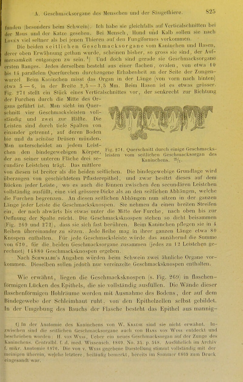 A. (ieschiiiiicksoryime dus Meiisciicii und tlc>f Säiiyelliiere. liiiiilcMi (l)e.soii(lcrs heim Scliwein). If li liahe sio gleiclilalls auf Vciiicalschnillcn hoi (Ilm- Maus und der Katze gesehen. Uei Mensch, llun<l und Kalb sollen sie nach l.ovii.N viel scilnor als bei jenen Thicren auf den FuMi^übtiiKss voi-konimcn. Die beiden seillichen ü c s c h in a c ks o r ya ii c vom Kaninchen und Hasen, derer oben Erwähnung gelhan wurde, scheinen bisher, so gross sie sind, der Aul- iiiersamkeit entgangen zu sein. ') Und doch sind gerade sie Geschinacksorganc ersten Hanges, .ledes derselben besteht aus einer (lachen, ovalen, von etwa 1 ü bis I i parallelen Querl'urclien durchzogene. Ei'habenheil an der Seile der Zungen- wurzcl Beim Kaninchen niissl das Organ in der Länge (von vorn nach liinlen) cl^v;, 5 — G, in der Breite 2,5 — .3,5 Mm. Beim Hasen ist es etwas grösser. Fig. 'i7l stein ein Stück eines Verticalschnilles vor, der senkrecht zur Richtung der Kurchen durch die Mille des Or- gans geführt ist. Man sieht im Quer- scimill vier Geschmaeksicisten voll- ständig und zwei zur Hälfte. Die leisten sind durcli tiefe Spalten von einander getrennt, auf deren Boden l)ie und da acluöse Drüsen münden. Man uiiterscheidel an jedem Leisl- chen den bindegewebigen Körper, der an seiner unteren Fläche drei se- cundäre Leistchen trägt. Das mittlere l'ig. 271. Querschiiilt (iure!) einige deschmacks- leiston vom seitlichen ricsclimacksorgan des Kaninchens, -^/i- von diesen ist breiter als die beiden seillichen. Die bindegewebige Grundlage wird überzogen von geschichtetem Pflaslerepithel, und zwar besitzt dieses auf dem Rücken jeder Leiste, wo es auch die Rinnen zwischen den secundären Leislchen Millständig ausfülU, eine viel grössere Dicke als an den seitlichen Abhängen, welche die Furchen begrenzen. An diesen seitlichen Abhängen nun sitzen in der ganzen Länge jeder Leiste die Geschmacksknospen. Sie nehmen da einen br-eiten Streifen ( in, der nach abwärts bis etwas unter die Mitte der Furche, nach oben bis zur Oellhung der Spalte reicht. Die Geschmacksknospen stehen so dicht beisammen (Fig. 269 und 272), dass sie sich fast berühren. Beim Kaninchen pflegen sie in 4 Reihen übereinander zu sitzen. Jede Reihe mag in ihrer ganzen Länge etwa SO Knospen enthalten. Für jede Geschmackslciste würde das annähernd die Summe von 6'20, für die beiden Geschmacksorgane zusammen (jedes zu 12 Leistchen ge- rechnet) I4S80 Geschmacksknospen ergeben. Nach ScMWAi.Bn's Angaben würden beim Schwein zwei ähnliche Organe vor- koirinien. Dieselben sollen jedoch nur vereinzelte Geschmacksknospen enthalten. Wie erwähnt, liegen die Geschniricksknospcn (.s. Fig. 20'.)) in flnschen- l'önnigen Lücken dos K|)ith('ls, die sio vollständig nusfüllen. Die Wände dieser (laschonföi-rnigcn Hohlräume! w(!rd(>n mit Ausnahme des Bochens, der nuf dem Bindege\vel)e der Scbhsinihnut ruht, von (hm Epilhelzellen selbst gel)iidet. In der Umgehung des Bauchs der F'liisehe besteht das Epithel aus niannig- t) In ticr Anatomie des Kaninchens von \V. Kuausio sind sie ni('iit crwäiuit. In- /wisclicn sind di(! s(Mlli(;lien (iescliniacksorgaiie aucii von Hans von Wys.s i-iiUieekl und iH'sciiiiclKni wordiMi: II. vonWvs.s, IJchiM' (mm neues (icschiiiacksorgan auf der Zunge des Kaiilticliciis. Ccntralhi. f. d. med. Wissenscli. tSfiO. No. 3!). p. ö'i.S. Ansluhriicli im .\rcliiv f. inikr. Anntoiui(! IS70. Die von v. Wv.ss gogchcno Dai'steliung stinmil vollständig m\l der ineinigcn ül)erein, wejclic letztere, lieilautig huniürkt, bereits iin .Sonuuer 1809 zum Druck ' iiigesandl war.