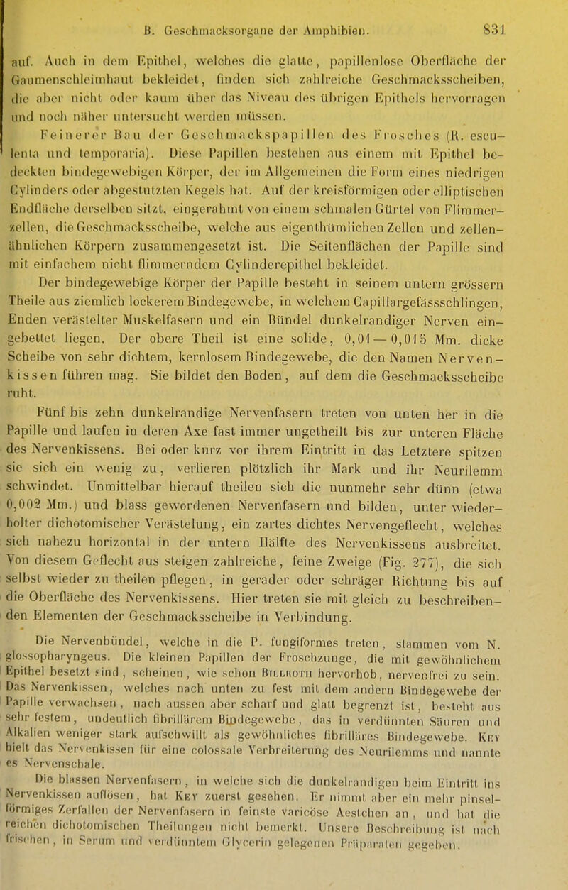 auf. Auch in dem Epithel, welches die glatle, papillenlose Oberfläche der Gauraenschieitnhaul iDekloidot, finden sich zahlreiche Geschmacksscheiben, die aber nicht 0(l(>r kaum Uber das Niveau des tll)rigen Rpithels hervorragen und noch näher untersucht werden müssen. Feinerer Bau der Gesch m a ckspa p i I len des Frosches (H. escu- lenta und teniporaria). Diese Papillen bestehen aus einem mit Epithel be- deckten bindegewebigen Körper, der im Allgemeinen die Form eines niedrigen Cylinders oder abgestutzten Kegels hat. Auf der kreisförmigen oder elliptischen Endfläche derselben sitzt, eingerahmt von einem schmalen Gürtel von Flimmer- zellen, die Geschmacksscheibe, welche aus eigenthümiichen Zellen und zelien- ähnlichen Körpern zusammengesetzt ist. Die Seitenflächen der Papille sind mit einfachem nicht flimmerndem Cylinderepithel bekleidet. Der bindegewebige Körper der Papille besteht in seinem untern grössern Theile aus ziemlich lockerem Bindegewebe, in welchem Capillargefässschlingen, Enden verästelter Muskelfasern und ein Bündel dunkelrandiger Nerven ein- gebettet liegen. Der obere Theil ist eine solide, 0,01 — 0,015 Mm. dicke Scheibe von sehr dichtem, kernlosem Bindegewebe, die den Namen Nerven- kissen führen mag. Sie bildet den Boden, auf dem die Geschmacksscheibc; ruht. Fünf bis zehn dunkelrandige Nervenfasern treten von unten her in die Papille und laufen in deren Axe fast immer ungetheilt bis zur unteren Fläche des Nervenkissens. Bei oder kurz vor ihrem Eintritt in das Letztere spitzen sie sich ein wenig zu, verlieren plötzlich ihr Mark und ihr Neurilemm schwindet. Unmittelbar hierauf theilen sich die nunmehr sehr dünn (etwa 0,002 Mm.) und blass gewordenen Nervenfasern und bilden, unter wieder- holter dichotomischer Verästelung, ein zartes dichtes Nervengeflecht, welches i sich nahezu horizontal in der untern Hälfte des Nervenkissens ausbreitet. Von diesem Geflecht aus steigen zahlreiche, feine Zweige (Fig. 277), die sich ; selbst wieder zu theilen pflegen, in gerader oder schräger Richtung bis auf die Oberfläche des Nervenkissens. Hier treten sie mit gleich zu beschreiben- den Elementen der Geschmacksscheibe in Verbinduns. Die Nervenbündel, welche in die P. fungiformes treten, stammen vom N. glossopharyngeus. Die kleinen Papillen der Froschzunge, die mit gewöhnlichem I Epithel besetzt sind, scheinen, wie .'^chon Billhotii heivoihob, nervenfroi zu sein. 1 Das Nervenkissen, welches nach unten zu fest mit dem andern Bindegewebe dei- Papille verwachsen , nach aussen aber scharf und glatt begrenzt ist, besteht aus sehrfeslem, undeutlich (ibrillärem Biudegewebe , das in verdiituilen Säuren und Alkalien weniger stark aufschwillt als gewöhnliches fibrilläres Bindegewebe. Krv hielt das Nervenkissen für eine colossale Verbreiterung des Neurilemms und nannte es Nervenschaie. Die blassen Nervenfasern , in welche sich die dunkelrandigen beim Eintritt ins Nervenkissen auflösen, hat Kuv zuerst gesehen. Er nimmt aber ein mein- pinsel- förmiges Zerfallen der Nervenfasern in feinste varicöse Aestchen an , und hat die reichen dicliotomischen Theilungen nicht bemerkt. Unsere Best hreibung ist näcii frischen, in Serum und verdünntem Giycoriii gelegenen Priiparalen gegeben.