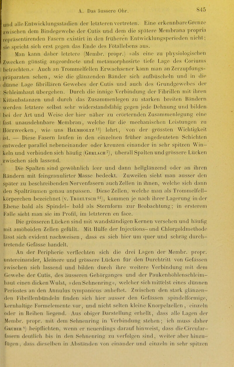 und allo Enlwicklungssladien der lelzloren vertreten. Eine erkennbareGrenze zwischen dem Bindegewebe der Cutis und denn die spiitere Membrana propria iv|)räsentirenih'n Kasi>rn existirt in den früheren Entwicklungsperioden nicht; sit> spricht sich erst gegen das luide des l<ötallel)ens aus. Man kann daher letztens (Mend)r. propr.) «als eine zu pliysiologisclieii Zwecken günstig angeordnete und metamorphosirte tiefe Lage des Goriums I betrachten.« Auch an Trommelfellen Erwachsener kann man an Zcrzupfungs- I Präparaten sehen, wie die glänzenden Bänder sich aufbüscheln und in die . dünne Lage fibrillären Gewebes der Cutis und auch des Grundgewebes der : Schleimhaut übergehen. Durch die innige Verbindung der Fibrillen mit ihien 'Kittsubstanzen und durch das Zusammenlegen zu starken breiten Bändern ■werden letzlere selbst sehr widerslandsfühig gegen jede Dehnung und l>ilden I bei der Art und Weise der hier näher zu erörternden Zusammenlegung eine I fast unausdehnbare Membran, welche für die mechanischen Leistungen zu ilörzwecken, wie uns Hklmholtz ^') lehrt, von der grössten Wichtigkeit , ist. — Diese Fasern laufen in den einzelnen früher angedeuteten Schichten entweder parallel nebeneinander oder kreuzen einander in sehr spitzen Win- keln und verbinden sich häufig (Gerlach^) , Uberall Spalten und grössere Lücken zwischen sich lassend. Die Spalten sind gewöhnlich leer und dann hellglänzend oder an ihren Rändern mit feingranulirter Masse bedeckt. Zuweilen sieht man ausser den später zu beschreibenden Nervenfasern auch Zellen in ihnen, welche sich dann den Spalträumen genau anpassen. Diese Zellen, welche man als Trommelfell- körperchen bezeichnet (v. TROJiLTscii '^), kommen je nach ihrer Lagerung in der Ebene bald als Spindel- bald als Sternfoi'm zur Beobachtung; in ersterem Falle sieht man sie im Profil, im letzleren en face. Die grösseren Lücken sind mit wandständigen Kernen versehen und häufig mit amöboiden Zellen gefüllt. Mit Hülfe der Injections-und Chlorgoldmelhode lässt sich evident nachweisen, dass es sich hier um quer und schräg durch- lielende Gefasse handelt. An der Peripherie verOechten sich die drei Lagen der Membr. pro])r. untereinander, kleinere und grössere Lücken für den Durchtritt von Gefässen zwischen sich lassend und bilden dureh ihre weitere Verbindung mit dem Gewebe der Cutis, des äusseren Gehörganges und der Paukenhöhlenschleim- hauleinen dicken Wulst,, »denSehneni'ing«, welcher sich mittelst eines dünnen Periostes an den Annulus tympanicus anheftet. Zwischen den stark glänzen- den Fibrillenbündeln finden sich hier ausser den Gefässen spindc^lförmige, kernhaltige Foi'melementc? vor, und nicht selten kleine Knorpelzellen , einzeln o(h!r in Reihen liegend. Aus obiger Darstellung erhellt, dass alle Lagen der Meml)r. propr. mit dem Sehnenring in Vei'bindung steluMi; ich nuiss daluM Grubur heipfiichten, weim er ncnierdings daraufhinweist, dass dieCircular- fasern deutlich bis in den Sehnenring zu verfolgen sind, W(>iler aber hinzu- fügen, dass dieselben in Abständen von einander und einzeln in sehr spitzen