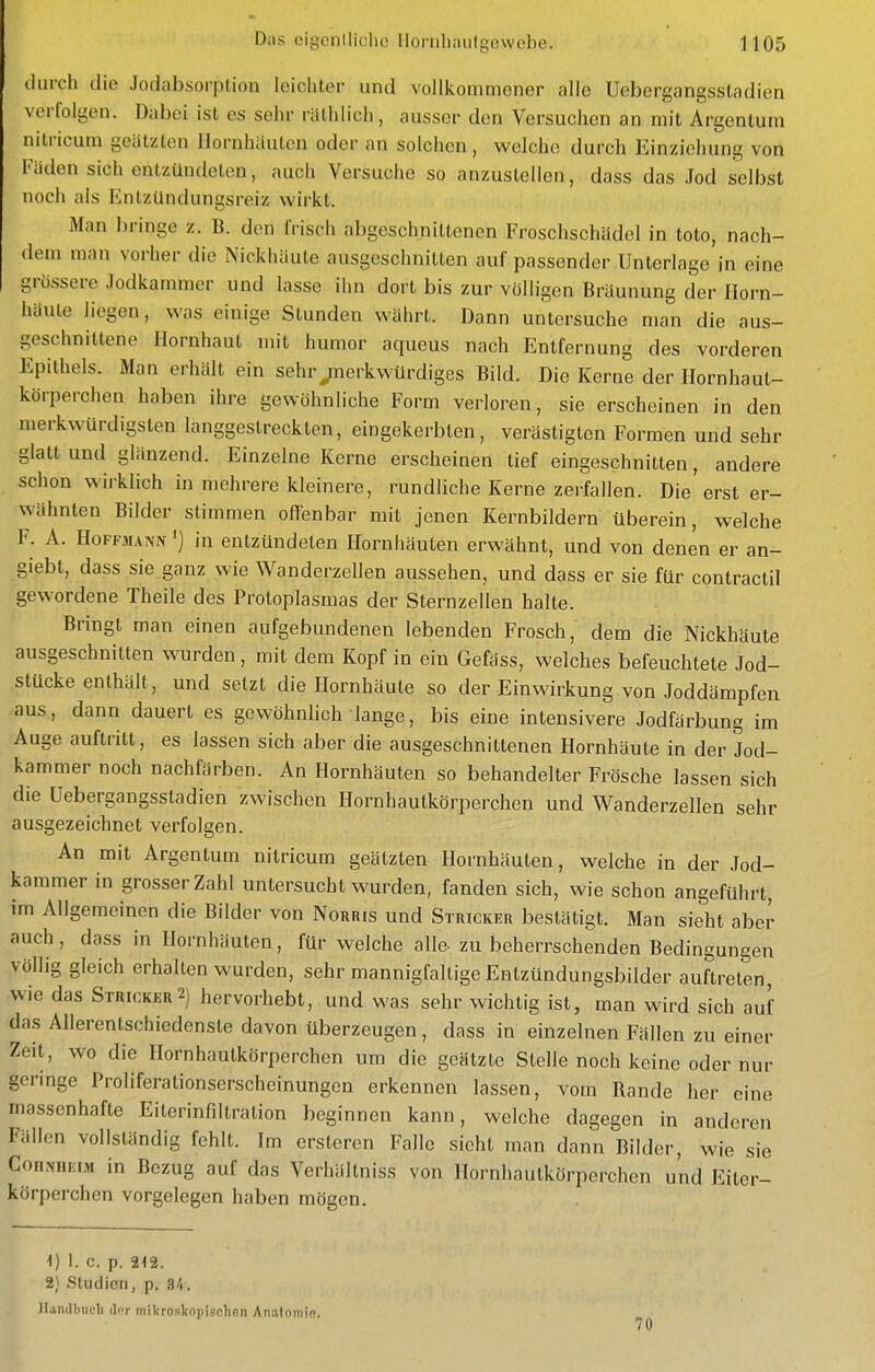 c' lurch die Jodabsorption Icichtor und vollkommener alle Uebergangssladien verfolgen. Dabei ist es sehr räthlicli, ausser den Versuchen an mit Argentum nitricum geätzten llornhiiutcn oder an solchen, welche durch Einziehung von Fäden sich entzündeten, auch Versuche so anzustellen, dass das Jod selbst noch als EntzUndungsreiz wirkt. Man bringe z. B. den irisch abgeschnittenen Froschschädel in toto, nach- dem man vorher die Nickhäute ausgeschnitten auf passender Unterlage in eine grössere Jodkammer und lasse ihn dort bis zur völligen Bräunung der Horn- häute liegen, was einige Stunden währt. Dann untersuche man die aus- geschnittene Hornhaut m\l humor aqueus nach Entfernung des vorderen Epithels. Man erhält ein sehr ^merkwürdiges Bild. Die Kerne der Hornhaut- körperchen haben ihre gewöhnliche Form verloren, sie erscheinen in den merkwürdigsten langgestreckten, eingekerbten, verästiglen Formen und sehr glatt und glänzend. Einzelne Kerne erscheinen lief eingeschnitten, andere schon wirklich in mehrere kleinere, rundliche Kerne zerfallen. Die erst er- wähnten Bilder stimmen offenbar mit jenen Kernbildern überein, welche F. A. Hoffmann 'j in entzündeten Hornhäuten erwähnt, und von denen er an- giebt, dass sie ganz wie Wanderzellen aussehen, und dass er sie für contractu gewordene Theile des Protoplasmas der Sternzellen halte. Bringt man einen aufgebundenen lebenden Frosch, dem die Nickhäute ausgeschnitten wurden, mit dem Kopf in ein Gefäss, welches befeuchtete Jod- stücke enthält, und setzt die Hornhäute so der Einwirkung von Joddämpfen aus, dann dauert es gewöhnlich lange, bis eine intensivere Jodfärbung im Auge auftritt, es lassen sich aber die ausgeschnittenen Hornhäute in der Jod- kammer noch nachfärben. An Hornhäuten so behandelter Frösche lassen sich die Uebergangsstadien zwischen Ilornhautkörperchen und Wanderzellen sehr ausgezeichnet verfolgen. An mit Argentum nitricum geätzten Hornhäuten, welche in der Jod- kammer in grosser Zahl untersucht wurden, fanden sich, wie schon angeführt, im Allgemeinen die Bilder von Norris und Stricker bestätigt. Man sieht aber auch, dass in Hornhäuten, für welche alle- zu beherrschenden Bedingungen völlig gleich erhalten wurden, sehr mannigfaltige Entzündungsbilder auftreten, wie das Stricker2) hervorhebt, und was sehr wichtig ist, man wird sich auf das Allerentschiedenste davon überzeugen, dass in einzelnen Fällen zu einer Zeit, wo die Hornhautkörperchen um die geätzte Stelle noch keine oder nur geringe Proliferationserscheinungon erkennen lassen, vom Rande her eine massenhafte Eiterinfiltration beginnen kann, welche dagegen in anderen Fällen vollständig fehlt. Im ersleren Falle sieht man dann Bilder, wie sie ConNHiaM in Bezug auf das Verhältniss von Hornhautkörperchen und Eiter- körperchen vorgelegen haben mögen. 1. c. p. 212. 2) Studien, p. 34. Ilandbneli Jor mikroskopischen Anatomie, 70