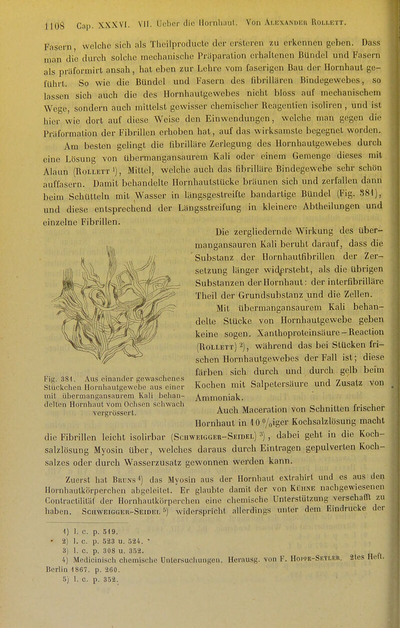 Fasern, welche sich als Theilproducle der ersleren zu erkennen geben. Dass man die durch solche mechanische Priiparalion erhaltenen Bündel und Fasern als präformirt ansah, hat eben zur Lehre vom faserigen Bau der Hornhaut ge- führt. So wie die Bündel und Fasern des fibrillaren Bindegewebes, so lassen sich auch die des Hornhautgewebes nicht bloss auf mechanischem Wege, sondern auch mittelst gewisser chemischer Reagenlien isoliren , und ist hier wie dort auf diese Weise den Einwendungen, welche man gegen die Präformation der Fibrillen erhoben hat, auf das wirksamste begegnet worden. Am besten gelingt die fibrillare Zerlegung des Hornhaulgewebes durch eine Lösung von übermangansaurem Kali oder einem Gemenge dieses mit Alaun (Rollett J), Mittel, welche auch das fibrilläre Bindegewebe sehr schön auffasern. Damit behandelte Hornhautstücke bräunen sich und zerfallen dann beim Schütteln mit Wasser in längsgestreifte bandartige Bündel (Fig. 881), und diese entsprechend der Längsstreifung in kleinere Abtheilungen und einzelne Fibrillen. Die zergliedernde Wirkung des über- mangansauren Kali beruht darauf, dass die Substanz der Hornhautfibrillen der Zer- setzung länger widersteht, als die übrigen Substanzen der Hornhaut: der interfibrilläre Theil der Grundsubstanz und die Zellen. Mit übermangansaurem Kali behan- delte Stücke von Hornhautgewebe geben keine sogen. Xanthoproteinsäure-Reaction (Rollett) , während das bei Stücken fri- schen Hornhautgewebes der Fall ist; diese färben sich durch und durch gelb beim Kochen mit Salpetersäure und Zusatz von Ammoniak. Auch Maceration von Schnitten frischer Hornhaut in 1 0 Vfliger Kochsalzlösung macht die Fibrillen leicht isolirbar (Schweigger-Seidel) 3) , dabei geht in die Koch- salzlösung Myosin über, welches daraus durch Eintragen gepulverten Koch- salzes oder durch Wasserzusatz gewonnen werden kann. Zuerst hat Bruns 4) das Myosin aus der Hornhaut extraliirt und es aus den Hornhautkörperchen abgeleitet. Er glaubte damit der von Kühne nachgewiesenen Conlraclilitäl der Hornhautkörperchen eine clicmische Unterstützung verschafft zu haben. Sohweigger-Seidei. &) widerspricht allerdings unter dem Eindrucke der Fig. 38-1. Aus einander gewaschenes Stückchen Hornhautgewebe aus einer mit übermangansaurem Kali behan- delten Hornhaut vom Ochsen schwach vergrössert. 1) I. c. p. 519. ' 2) 1. c. p. 523 u. ö2/i. • 3) 1. c. p. 308 u. 352. ',) Medicinisch chemische Untersuchungen. Herausg. von F. Hoi-pe-Skyleu. 2tes Heft. Berlin '1867. p. 260. 5) 1. c. p. 352.