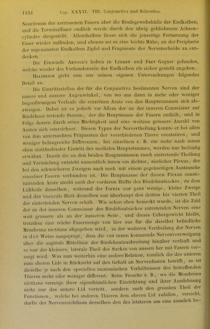 Neurilemm der zerrissenen Fasern aber die Bindegewebsliülle der Endkoiben, und die Terniinalfaser endlich werde durch den übrig gebliebenen Achsen- cylinder dargestellt. Allenthalben Hesse sich die jenseilige Fortsetzung der Faser wieder auffinden, und ebenso sei es eine leichte Mühe, an der Peripherie der sogenannten Endkolben Zipfel und Fragmente der Nervenscheide zu ent- decken. Die Einwürfe Aunold's haben in LünuEN und Frey Gegner gefunden, welche wieder das Vorhandensein der Endkolben als sicher gestellt angeben. Helfueich giebt nun aus seinen eigenen Untersuchungen folgendes Detail an. Die Eintrittsstellen der für die Conjunctiva bestimmten Nerven sind der innere und äussere Augenwinkel, von wo aus dann in mehr oder weniger bogenförmigem Verlaufe die einzelnen Aeste von den Hauptstämmen sich ab- zweigen. Dabei ist es jedoch vor Allem der an der inneren Commissur zur Bindehaut tretende Stamm, der die Hauptmasse der Fasern enthält, und in Folge dessen durch seine Mächtigkeit und eine weitaus grössere Anzahl von Aesten sich auszeichnet. Diesen Typus der Nervertheilung konnte er bei allen von ihm untersuchten Präparaten der verschiedenen Thiere conslatiren , und weniger belangreiche Differenzen, bei einzelnen z. B. ein mehr nach innen oben stattfindender Eintritt des medialen Hauptstammes, werden nur beiläufig erwähnt. Durch die an den beiden Hauptstämmen rasch eintretende Theilung und Verästelung entsteht namentlich innen ein dichter, zierlicher Plexus, der bei den schwächeren Zweigen auch noch mit einem gegenseitigen Austausche einzelner Fasern verbunden ist. Die Hauptmasse der diesen Plexus consti- tuirenden Aeste strebt nach der vorderen Hälfte des Bindehautsackes, zu dem Lidtheile desselben , während der Fornix nur ganz wenige, kleine Zweige und das viscerale Blatt desselben nur überhaupt den dritten bis vierten Theil der eintretenden Nerven erhält. Wie schon oben bemerkt wurde, ist die Zahl der an der inneren Commissur des Bindehautsackes zutretenden Nerven eine weit grössere als an der äusseren Seite, und dieses Uebergewicht bleibt, trotzdem eine reiche Fasermenge von hier, aus für die daselbst befindliche Membrana nictitans abgegeben wird, in der weiteren Vertheilung der xXerven in der Weise ausgeprägt, dass die von innen kommende Nervenverzweigung über die sagittale Mittellinie der Bindehautausbreitung hinüber verläuft und so nur der kleinere, laterale Theil des Sackes vou aussen her mit Fasern ver- sorgt wird. Was nun weiterhin eine andere Relation, nämlich die des unteren zum oberen Lide in Rücksicht auf den Gehalt an Nervenfasern betrifft, so ist dieselbe je nach den speciellen anatomischen Verhältnissen des betreffenden Thieres mehr oder weniger different. Beim Frosche z. B., wo die Membrana nictitans vermöge ihrer eigenthümlichen Einrichtung und ihrer Ausdehnung nicht nur das untere Lid vertritt, sondern auch den grössten Theil der Functionen , welche bei anderen Thieren dem oberen Lid zufallen , versieht, durfte der Nervenreichthura derselben den des letzteren um eine ziemlich be-