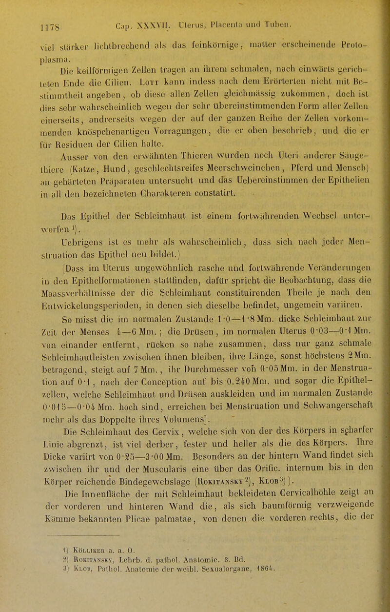 viel sUirker lichlbrechcnd als das foin körn ige, maller erscheinende Frolo- plasma. Die keilförmigen Zellen tragen an ihrem schmalen, nach einwärts gerich- teten Ende die Cilicn. Lott kann indess nach dem Erörterten nicht mit Be- slimmlheit angeben, ob diese allen Zellen gleichniässig zukommen, doch ist dies sehr wahrscheinlich wegen der sehr übereinstimmenden Form aller Zellen einerseits, andrerseits wegen der auf der ganzen Reihe der Zellen vorkom- menden knöspchenartigen Vorragungen, die er oben beschrieb, und die er für Residuen der Cilien halle. Ausser von den erwähnten Thieren wurden noch Uteri anderer Sauge- thiere (Katze, Hund, geschlechlsreifes Meerschweinchen , Pferd und Mensch) an gehärlelcn Präparaten untersucht und das Uebereinstimmen der Epilhelien in all den bezeichneten Charakteren conslatirt. Das Epithel der Schleimhaut ist einem fortwährenden Wechsel unter- worfen 1). Uebrigens ist es n)ehr als wahrscheinlich , dass sich nach jeder Men- struation das Epithel neu bildet.) [Dass im Uterus ungewöhnlich rasche und fortwährende Veränderungen in den Epilhelformalionen slallfindcn, dafür spricht die Beobachtung, dass die MaassVerhältnisse der die Schleimhaut constiluirenden Theile je nach den Entwickelungsperioden, in denen sich dieselbe befindet, ungemein variiren. So misst die im normalen Zustande 1-0 —TS Mm. dicke Schleimhaut zur Zeit der Menses 4—6 Mm.; die Drüsen , im normalen Uterus 0-03—O! Mm. von einander entfernt, rücken so nahe zusammen, dass nur ganz schmale Schleimhautleisten zwischen ihnen bleiben, ihre Länge, sonst höchstens 2Mm. betragend, steigt auf 7Mm., ihr Durchmesser von 0-05Mm. in der Menstrua- tion auf 0-1 , nach der Conception auf bis 0.240 Mm. und sogar die Epithel- zellen, welche Schleimhaut und Drüsen auskleiden und im normalen Zustande 0-0'l5—0-04 Mm. hoch sind, erreichen bei Menstruation und Schwangerschaft mehr als das Doppelte ihres Volumens]. Die Schleimhaut des Cervix, welche sich von der des Körpers in spharfer Linie abgrenzt, ist viel derber, fester und heller als die des Körpers. Ihre Dicke variirt von 0-25—3-00Mm. Besonders an der hintern Wand findet sich zwischen ihr und der Muscularis eine über das Orific. internum bis in den Körper reichende Bindegewebslage (Rokitansky 2), Klob^)). Die Innenfläche der mit Schleimhaut bekleideten Cervicalhöhle zeigt au der vorderen und hinteren Wand die, als sich baumförmig verzweigende Kämme bekannten Plicae palmatae, von denen die vorderen rechts, die der ■1) KöLLiKER a. a. 0. 2) Rokitansky, Lctirb. d. palhol. Anatomie. 3. Bd. 3) Ki-oii, Palliol. Anatomie der wcibl. Sexualorgane, 1864.