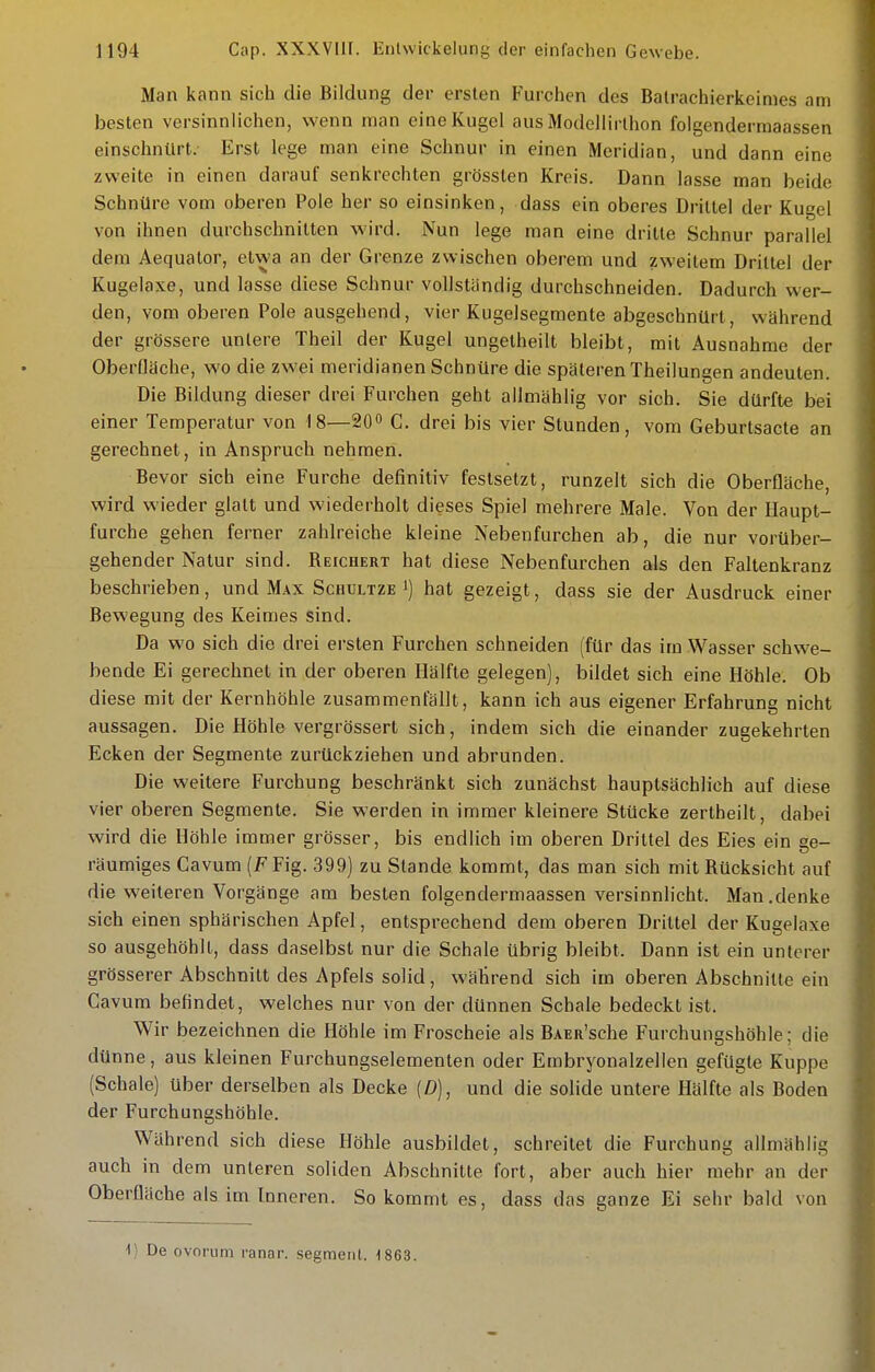 Man kann sich die Bildung der ersten Furchen des Balrachierkeimes am besten versinnlichen, wenn man eine Kugel aus Modellirthon folgendermaassen einschnürt. Erst lege man eine Schnur in einen Meridian, und dann eine zweite in einen darauf senkrechten grösslen Kreis. Dann lasse man beide Schnüre vom oberen Pole her so einsinken, dass ein oberes Drittel der Kugel von ihnen durchschnitten wird. Nun lege man eine dritte Schnur parallel dem Aequator, etwa an der Grenze zwischen oberem und zweitem Drittel der Kugelaxe, und lasse diese Schnur vollständig durchschneiden. Dadurch wer- den, vom oberen Pole ausgehend, vier Kugelsegmente abgeschnürt, während der grössere untere Theil der Kugel ungetheilt bleibt, mit Ausnahme der Oberfläche, wo die zwei meridianen Schnüre die späteren Theilungen andeuten. Die Bildung dieser drei Furchen geht allmählig vor sich. Sie dürfte bei einer Temperatur von 18—200 C. drei bis vier Stunden, vom Geburtsacte an gerechnet, in Anspruch nehmen. Bevor sich eine Furche definitiv festsetzt, runzelt sich die Oberfläche, wird wieder glatt und wiederholt dieses Spiel mehrere Male. Von der Haupt- furche gehen ferner zahlreiche kleine Nebenfurchen ab, die nur vorüber- gehender Natur sind. Reichert hat diese Nebenfurchen als den Faltenkranz beschrieben, und Max Schultze i) hat gezeigt, dass sie der Ausdruck einer Bewegung des Keimes sind. Da wo sich die drei ersten Furchen schneiden (für das im Wasser schwe- bende Ei gerechnet in der oberen Hälfte gelegen), bildet sich eine Höhle. Ob diese mit der Kernhöhle zusammenfällt, kann ich aus eigener Erfahrung nicht aussagen. Die Höhle vergrössert sich, indem sich die einander zugekehrten Ecken der Segmente zurückziehen und abrunden. Die weitere Furchung beschränkt sich zunächst hauptsächlich auf diese vier oberen Segmente. Sie werden in immer kleinere Stücke zertheilt, dabei wird die Höhle immer grösser, bis endlich im oberen Drittel des Eies ein ge- räumiges Cavum (FFig. 399) zu Stande kommt, das man sich mit Rücksicht auf die weiteren Vorgänge am besten folgendermaassen versinnlicht. Man.denke sich einen sphärischen Apfel, entsprechend dem oberen Drittel der Kugelaxe so ausgehöhlt, dass daselbst nur die Schale übrig bleibt. Dann ist ein unterer grösserer Abschnitt des Apfels solid, während sich im oberen Abschnitte ein Cavum befindet, welches nur von der dünnen Schale bedeckt ist. Wir bezeichnen die Höhle im Froscheie als BAER'sche Furchungshöhle; die dünne, aus kleinen Furchungselementen oder Embryonalzellen gefügte Kuppe (Schale) über derselben als Decke {D), und die solide untere Hälfte als Boden der Furchungshöhle. Während sich diese Höhle ausbildet, schreitet die Furchung allmählig auch in dem unteren soliden Abschnitte fort, aber auch hier mehr an der Oberfläche als im Inneren. So kommt es, dass das ganze Ei sehr bald von 1) De ovoriim ranar. segmeiil. -1863.