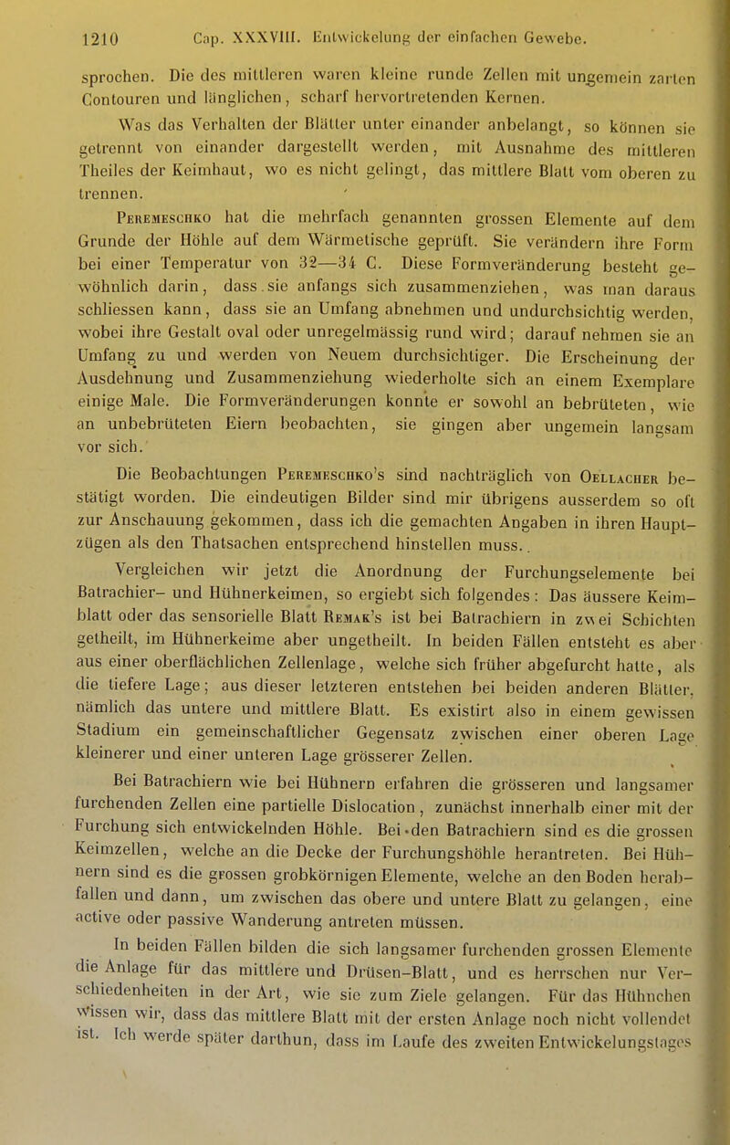 sprochen. Die des mittleren waren kleine runde Zellen mit ungemein zarten Contouren und länglichen , scharf hervortretenden Kernen. Was das Verhalten der Blatter unter einander anbelangt, so können sie getrennt von einander dargestellt werden, mit Ausnahme des mittleren Theiles der Keimhaut, wo es nicht gelingt, das mittlere Blatt vom oberen zu trennen. Peuemeschko hat die mehrfach genannten grossen Elemente auf dem Grunde der Höhle auf dem Wärmetische geprüft. Sie verändern ihre Form bei einer Temperatur von 32—34 C. Diese Form Veränderung besteht ge- wöhnlich darin, dass.sie anfangs sich zusammenziehen, was man daraus schliessen kann, dass sie an Umfang abnehmen und undurchsichtig werden, wobei ihre Gestalt oval oder unregelmässig rund wird; darauf nehmen sie an Umfang zu und werden von Neuem durchsichtiger. Die Erscheinung der Ausdehnung und Zusammenziehung wiederholte sich an einem Exemplare einige Male. Die Formveränderungen konnte er sowohl an bebrüteten, wie an unbebrüteten Eiern beobachten, sie gingen aber ungemein langsam vor sich. Die Beobachtungen PEREjiEscnKo's sind nachträglich von Oellacher be- stätigt worden. Die eindeutigen Bilder sind mir übrigens ausserdem so oft zur Anschauung gekommen, dass ich die gemachten Angaben in ihren Haupt- zügen als den Thatsachen entsprechend hinstellen muss.. Vergleichen wir jetzt die Anordnung der Furchungselemente bei ßatrachier- und Hühnerkeimen, so ergiebt sich folgendes : Das äussere Keim- blatt oder das sensorielle Blatt Remak's ist bei Balrachiern in zvsei Schichten getheilt, im Hühnerkeime aber ungetheilt. In beiden Fällen entsteht es aber aus einer oberflächlichen Zellenlage, welche sich früher abgefurcht hatte, als die tiefere Lage; aus dieser letzteren entstehen bei beiden anderen Blätter, nämlich das untere und mittlere Blatt. Es existirt also in einem gewissen Stadium ein gemeinschaftlicher Gegensatz zwischen einer oberen Lage kleinerer und einer unteren Lage grösserer Zellen. Bei Batrachiern wie bei Hühnern erfahren die grösseren und langsamer furchenden Zellen eine partielle Dislocation, zunächst innerhalb einer mit der Furchung sich entwickelnden Höhle. Bei-den Batrachiern sind es die grossen Keimzellen, welche an die Decke der Furchungshöhle herantreten. Bei Hüh- nern sind es die grossen grobkörnigen Elemente, welche an den Boden herab- fallen und dann, um zwischen das obere und untere Blatt zu gelangen, eine active oder passive Wanderung antreten müssen. In beiden Fällen bilden die sich langsamer furchenden grossen Elemente die Anlage für das mittlere und Drüsen-Blatt, und es herrschen nur Ver- schiedenheiten in der Art, wie sie zum Ziele gelangen. Für das Hühnchen Wissen wir, dass das mittlere Blatt mit der ersten Anlage noch nicht vollendet ist. Ich werde später darthun, dass im Laufe des zweiten Enlwickelungstagos