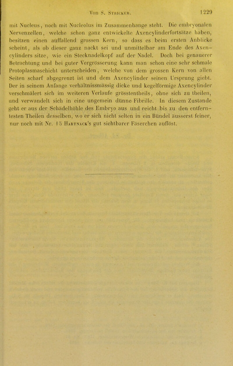 mit Nucleus, noch mit Nucleolus im Zusammenhange steht. Die embryonalen Nervenzellen, welche schon ganz entwickelte AxencylindcrfortsiUze haben, besitzen einen auffallend grossen Kern, so dass es beim ersten Anblicke scheint, als ob dieser ganz nackt sei und unmittelbar am Ende des Axen- cylinders sitze, wie ein Stecknadelkopf auf der Nadel. Doch bei genauerer Betrachtung und bei guter Vergrösserung kann man schon eine sehr schmale Protoplasmaschicht unterscheiden, welche von dem grossen Kern von allen Seiten scharf abgegrenzt ist und dem Axencylinder seinen Ursprung giebt. Der in seinem Anfange verhiiltnissniässig dicke und kegelförmige Axencylinder verschmälert sich im weiteren Verlaufe grösstentheils, ohne sich zu theilen, und verwandelt sich in eine ungemein dünne Fibrille. In diesem Zustande geht er aus der Schiidelhöhle des Embryo aus und reicht bis zu den entfern- testen Theilen desselben, wo er sich nicht selten in ein Bündel äusserst feiner, nur noch mit Nr. 1.5 Hahtnack's gut sichtbarer Fäserchen auflöst.