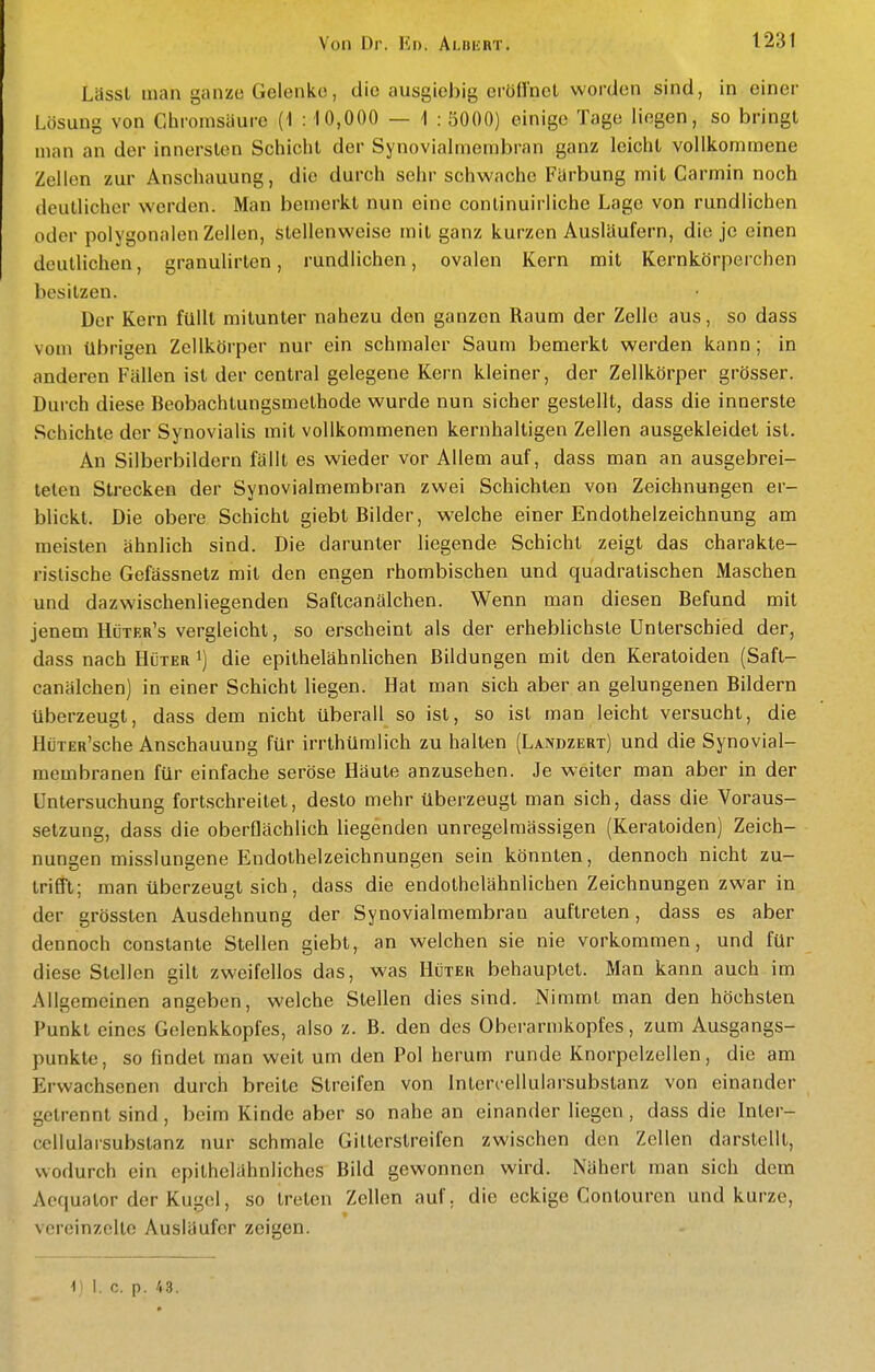 Lässt man ganze Gelenke, die ausgiebig erüünct worden sind, in einer Lösung von Chromsäurc (1 : 10,000 — 1 : 5000) einige Tage liegen, so bringt man an der innersten Schicht der Synovialmembran ganz leicht vollkommene Zellen zur Anschauung, die durch sehr schwache Färbung mit Carmin noch deutlicher werden. Man bemerkt nun eine continuirliche Lage von rundlichen oder polygonalen Zellen, stellenweise mit ganz kurzen Ausläufern, die je einen deutlichen, granulirten, rundlichen, ovalen Kern mit Kernkörperchen besitzen. Der Kern füllt mitunter nahezu den ganzen Raum der Zelle aus, so dass vom übrigen Zellkörper nur ein schmaler Saum bemerkt werden kann; in anderen Fällen ist der central gelegene Kern kleiner, der Zellkörper grösser. Durch diese Beobachtungsmelhode wurde nun sicher gestellt, dass die innerste Schichte der Synovialis mit vollkommenen kernhaltigen Zellen ausgekleidet ist. An Silberbildern fällt es wieder vor Allem auf, dass man an ausgebrei- teten Strecken der Synovialmembran zwei Schichten von Zeichnungen er- blickt. Die obere Schicht giebt Bilder, welche einer Endothelzeichnung am meisten ähnlich sind. Die darunter liegende Schicht zeigt das charakte- ristische Gefässnetz mit den engen rhombischen und quadratischen Maschen und dazwischenliegenden Saflcanälchen. Wenn man diesen Befund mit jenem Hüter's vergleicht, so erscheint als der erheblichste Unterschied der, dass nach Hüter die epilhelähnlichen Bildungen mit den Keratoiden (Saft- canälchen) in einer Schicht liegen. Hat man sich aber an gelungenen Bildern überzeugt, dass dem nicht überall so ist, so ist man leicht versucht, die HüTER'sche Anschauung für irrthüralich zu halten (Landzert) und die Synovial- raembranen für einfache seröse Häute anzusehen. Je weiter man aber in der Untersuchung fortschreitet, desto mehr überzeugt man sich, dass die Voraus- setzung, dass die oberflächlich liegenden unregelmässigen (Keratoiden) Zeich- nungen misslungene Endothelzeichnungen sein könnten, dennoch nicht zu- trifft; man überzeugt sich, dass die endothelähnlichen Zeichnungen zwar in der grössten Ausdehnung der Synovialmembran auftreten, dass es aber dennoch constanle Stellen giebt, an welchen sie nie vorkommen, und für diese Stellen gilt zweifellos das, was Hüter behauptet. Man kann auch im Allgemeinen angeben, welche Stellen dies sind. Nimmt man den höchsten Punkt eines Gelenkkopfes, also z. B. den des Oberarmkopfes, zum Ausgangs- punkte, so findet man weit um den Pol herum runde Knorpelzellen, die am Erwachsenen durch breite Streifen von Intercellularsubstanz von einander gelrennt sind, beim Kinde aber so nahe an einander liegen, dass die Inter- cellularsubstanz nur schmale Gitterstreifen zwischen den Zellen darstellt, wodurch ein epithelähnliches Bild gewonnen wird. Nähert man sich dem Aequator der Kugel, so treten Zellen auf. die eckige Conlourcn und kurze, vereinzelte Ausläufer zeigen. 1) 1, c. p. 43.