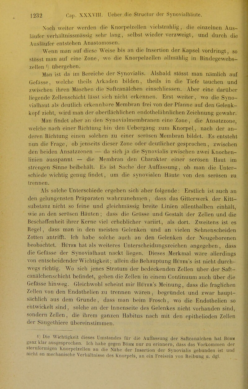 Noch weiter werden die Knorpeizellen vielstrahlig, die einzelnen Aus- läufer verhältnissinässig sehr lang, selbst wieder verzweigt, und durch die Ausläufer entstehen Anastomosen. Wenn man auf diese Weise bis an die Insertion der Kapsel vordringt, so stösst man auf eine Zone, wo die Knorpelzellen allmiihlig in Bindegewebs- zellen ') übergehen. Man ist da im Bereiche der Synovialis. Alsbald stösst man nämlich auf Gefässe, welche theils Arkaden bilden, theils in die Tiefe tauchen und zwischen ihren Maschen die Saftcanälohen einschliessen. Aber eine darüber liegende Zellenschichl lässl sich nicht erkennen. Erst weiter, wo die Syno- vialhaut als deutlich erkennbare Membran frei von der Pfanne auf den Gelenk- kopf zieht, wird man der oberUächlichen endolhelähnlichen Zeichnung gewahr. Man findet aber an den Synovialmembranen eine Zone, die Ansatzzone, welche nach einer Richtung hin den Uebergang zum Knorpel, nach der an- deren Richtung einen solchen zu einer serösen Membran bildet. Es entsteht nun die Frage, ob jenseits dieser Zone oder deutlicher gesprochen, zwischen den beiden Ansalzzonen — da sich ja die Synovialis zwischen zwei Knochen- linien ausspannt — die Membran den Charakter einer serösen Haut im strengen Sinne beibehält. Es ist Sache der Auffassung, ob man die Unter- schiede wichtig genug findet, um die synovialen Häute von den serösen zu trennen. Als solche Unterschiede ergeben sich aber folgende: Erstlich ist auch an den gelungensten Präparaten wahrzunehmen, dass das Gitterwerk der Kitt- subslanz nicht so feine und gleichmässig breite Linien allenthalben einhält, wie an den serösen Häuten ; dass die Grösse und Gestalt der Zellen und die Beschaffenheit ihrer Kerne viel erheblicher variirt, als dort. Zweitens ist es Regel, dass man in den meisten Gelenken und an vielen Sehnenscheiden Zotten antrifft. Ich habe solche auch an den Gelenken der Neugeborenen beobachtet. Hüter hat als weiteres Unterscheidungszeichen angegeben, dass die Gefässe der Synovialhaut nackt liegen. Dieses Merkmal wäre allerdings von entscheidender Wichtigkeit; allein die Behauptung Hüter's ist nicht durch- wegs richtig. Wo sich jenes Stratum der bedeckenden Zellen über der Saft- canälchenschichl befindet, gehen die Zellen in einem Continuum auch über die Gefässe hinweg. Gleichwohl scheint mir Hüter's Meinung, dass die fraglichen Zellen von den Endothelien zu trennen wären, begründet und zwar haupt- sächlich aus dem Grunde, dass man beim Frosch, wo die Endothelien so entwickelt sind, solche an der Innenseite des Gelenkes nicht vorhanden sind, sondern Zellen, die ihrem ganzen Habitus nach mit den epithelioden Zellen der Säugethiere übereinstimmen. ) Die Wichtigkeit dieses Umstandes l'üi- die Auffassung der Saftcanälclien hat Böhm klar ausgesprochen. Ich habe gegen Böhm nur zu erinnern, dass das Vorkommen der örmigen Knorpelzellen an die Nähe der Insertion der Synovialis gebunden ist und an mechanische Verhältnisse dos Knorpels, an ein Freisein von Reibung u. dgi.