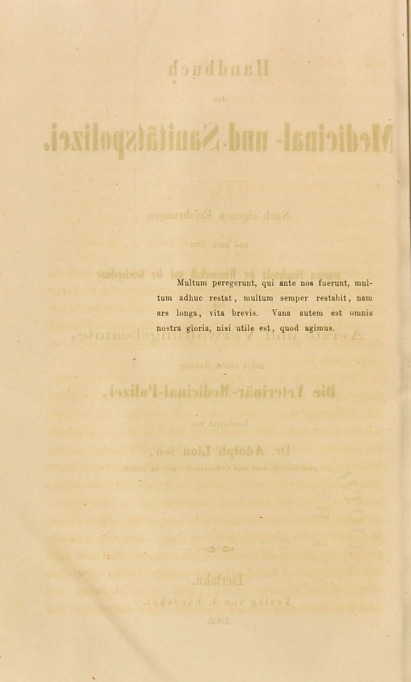 Multum peregerunt, qui ante nos fuerunt, mul- tum adhuc restat, multum seraper restabit, nam ars longa, vita brevis. Vana autera est omnis nostra gloria, niai utile est, quod agimus.