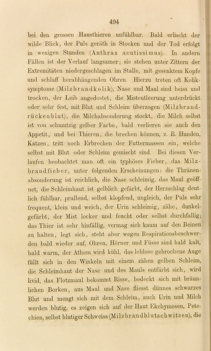 bei (len grossen Hausthieren unfühlbar. Bald erlischt der wilde Blick, der Puls geräth in Stocken und der Tod erfolgt in wenigen Stunden (Anthrax acutissiinus). In andern Fällen ist der Verlauf langsamer; sie stehen unter Zittern der Extremitäten niedergeschlagen im Stalle, mit gesenktem Kopfe und schlaff herabhängenden Oliren. Hierzu treten oft Kolik- symptome (Milzhrandkolik), Nase und Maul smd heiss und trocken, der Leih angedostet, die Mistentleening unterch'ückt oder sehr fest, mit Blut und Schlehn überzogen (Milzhrand- rückenhlut), die Milchahsoiidermig stockt, die Milch selbst ist von schmutzig gelber Farbe, bald verheren sie auch den Appetit, und bei Thieren, die brechen können, z. B. Hunden, Katzen, tritt noch Erbrechen der Futtermassen ein, welche selbst mit Blut oder Schleim gemischt sind. Bei diesen Ver- laufen beobachtet man oft ein typhöses Fieber, das Milz- brandfieber, miter folgenden Erscheimmgen: die Thränen- absonderimg ist reichhch, die Nase schleimig, das Maul geöff- net, die Schleimhaut ist gelblich gefärbt, der Herzschlag deut- lich fühlbar, prallend, selbst klopfend, migleich, der Puls sehr frequent, klein und weich, der Urin schleimig, zähe, dunkel- gefärbt, der Mist locker und feucht oder selbst durchfalhg; das Thier ist sehi’ liinfäUig, venpag sich kaum auf den Beinen zu halten, legt sich, steht aber wegen Kesphationsbeschwer- den bald wieder auf, Ohren, Hörner imd Füsse sind bald kalt, bald warm, der Athem wird külil, das leblose gebrochene Auge füllt sich in den Winkeln mit emem zähen gelben Schleim, che Schleimhaut der Nase und des Mauls entfärbt sich, wird livicl, das Flotzmaul bekommt Risse, bedeckt sich mit bräun- lichen Borken, aus Maul und Nase fliesst dünnes schw'arzes Blut und mengt sich mit dem Schlehn, auch Urin und Milch werden blutig, es zeigen sich auf der Haut Ekchymosen, Pete- chien, selbst blutiger Schweiss (M i 1 z b r an d b 1 u ts ch wit z e n), die