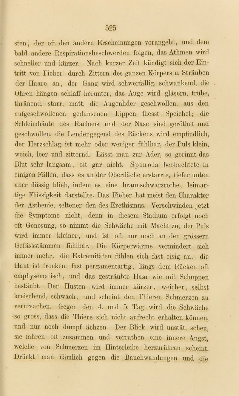 sten, der oft den andern Erscheinungen vorangeht, und dem bald andere Respirationsbeschwerden folgen, das Athmen wmd schneller und kürzer. Nach kurzer Zeit kündigt sich der Ein- tritt von Fieber durch Zittern des ganzen Körpers u. Sträuben der Haare an, der Gang wird schwerfällig, schwankend, die Ohi-en hängen schlaff herunter, das Auge wird gläsern, trübe, thränend, starr, matt, die Augenlider geschwollen, aus den aufgeschwollenen gedunsenen Lippen fliesst Speichel; die Schleimhäute des Rachens und der Nase sind geröthet und geschwollen, die Lendengegend des Rückens wird empfindlich, der Herzschlag ist mehr oder weniger fühlbar, der Puls klein, weich, leer und zitternd. Lässt man zur Ader, so gerinnt das Blut sehr langsam, oft gar nicht. Spinola beobachtete in einigen Fällen, dass es an der Oberfläche erstarrte, tiefer unten aber flüssig blieb, indem es eine braunschwarzrothe, leimar- tige Flüssigkeit darstellte. Das Fieber hat meist den Charakter der Asthenie, seltener den des Eretlfismus. Verschwinden jetzt die Symptome nicht, denn in diesem Stadium erfolgt noch oft Genesung, so nimmt die Schwäche mit Macht zu, der Puls wird immer kleiner, und ist oft nur noch an den grossem Gefässstämmen fühlbar. Die Körperwärme vermindert sich immer melu, die Extremitäten fühlen sich fast eisig an, die Haut ist trocken, fast pergamentartig, längs dem Rücken oft emphysematisch, und das gesträubte Haar wie mit Schuppen bestäubt. Der Husten wmd immer kürzer, weicher, selbst kreischend, schwach, und scheint den Thieren Schmerzen zu verursachen. Gegen den 4. und 5. Tag wird die Schwäche so gi-oss, dass die Thiere sich nicht aufrecht erhalten kömien, und nur noch dumpf ächzen. Der Blick wird unstät, scheu, sie fahren oft zusammen und verrathen eine innere Angst, welche von Schmerzen im Hinterleibe herzurühren scheint. Drückt man nämlich gegen die Bauchwandungen und die