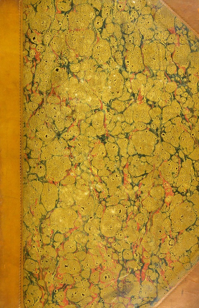 No text description is available for this image