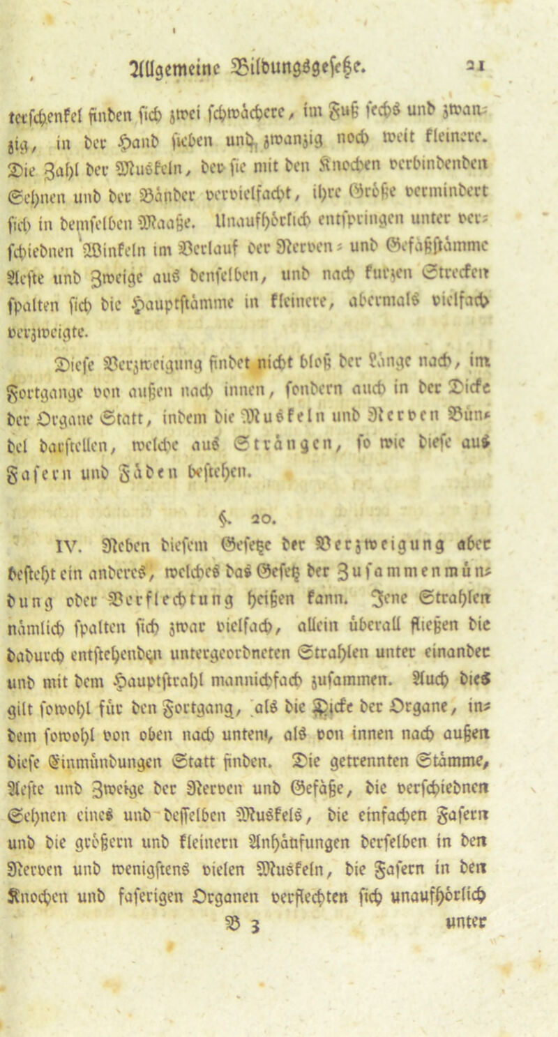 terfchenfel ftnben fich strci fc^n?äcfecrc, im guß fcct>ö unb jtraa; in ber jjpanb Rieben uni», jwanjig nod) weit fleimre. 2)ie 3a()l ber Sftuefeln, beofie mit ben Knochen »erbinbenben ©eignen unb bet »anbei »eroielfacbt, il;re @röße rerminbert fjrf) in bemfelhcn SKaaße. Unaufh&rltch entfpringen unter »er; fchiebnen ©tafeln im »erlauf Oer SRerren ; unb ©efäßftämmc »jefte unb 3n?ei^c auö benfelben, unb nach fucjeii Streifen fpalten fict? bie Jpauptftämme in Heinere, öbennalS vielfach nerjweigte. 2)icfe »crjtt>eigung finbet nicht bloß ber ?änge nach, itu gortgange non außen nach innen, fonbern auch in ber £icfe ber Organe Statt, inbem bie -Würfeln unb 9tcrt>en »ün* bei baeftcllcn, welche aue 0 trän gen, fo wie biefe au* gafern unb gäben befielen. 20. IV. Sieben biefem ©efefce ber »erjweigung aber befielt ein anbere«; welches ba$ ©efefc ber 3 u f a m m e n m u n* bung ober »erflecbtung Reißen fann. $ene Strahlen nämlich fpalten fich jwar vielfach, allein überall fließen bie babureb entftchcnbgn untergeorbneten Strahlen unter einanbec unb mit bem £auptftral)l mannichfach jufammen. Sluch bie« gilt fowol)l für ben gortgang, als bie £icfe ber Organe, in* bem fomol)l ron oben nad) unten«, al$ oon innen nach außen biefe (Sinmünbungcn 0tatt fmben. !Oie getrennten Stämme, Slefte unb 3rceige ber SReroen unb ©efaße, bie oerfebiebnen Sehnen eine« unb beffelben 3Rusfel$, bie einfachen gafern unb bie großem unb fleinern 2lnf)ätifungen berfelben in ben SReroen unb roenigftenS rieten 3Ruöfeln, bie gafern in ben Änochen unb fafertgen Organen rerflechten fich unaufhörlich » 3 unter