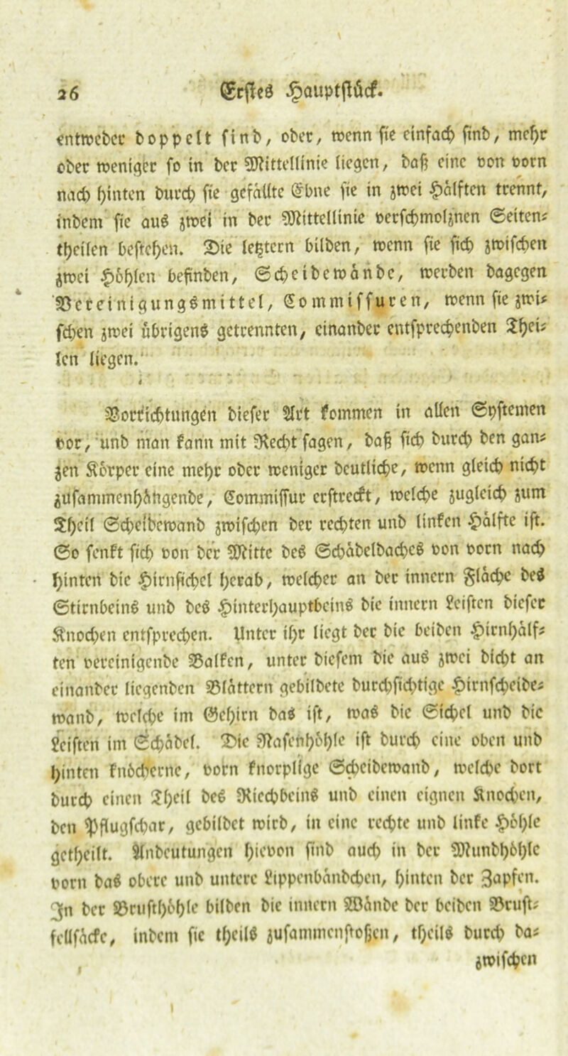 entwcbcc boppett finb, ober, trenn fie cinfarf) finb, mepe ober weniger fo in ber Mittellinie liegen, baß eine ron rorn nach hinten burep fie gefällte @bne fie in jwei Hälften trennt, inbent fie au« jbei in bei* Mittellinie Mrfc&moljhen ©eiten-' teilen befielen. 2>ie ledern bilben, trenn fie fiep jtrifeben jtret ^bplen beftnben, ©epeibewänbe, werben bagegen 33 e r e i n i g u n g « m 111 e l, Sommiffuren, trenn fie jwi* fd;en jwei übrigen« getrennten, cinanber entfpreepenben )eu lat liegen.' 4 1 * SSoctficbtungen biefer $let fommen in etilen ©pftenten ror, unb man fann mit 5Hed>t fagen, bafj ficb burep ben gan* jen Äorper eine niepr ober weniger bcutlicpe, wenn gleich nicht äufammenpäftgenbe, Sommiffur erftreeft, welche juglcicp junt $pctl ©dpcibcwanb jwifepen ber rechten unb linfett Hälfte ift. ©o fenft fich ron ber Mitte be« ©d)äbelbacpc« ron rorn nach hinten bic Hwnfwpcl herab, welcher an ber innern Släcpc be« ©tirnbein« unb be« Hinterhauptbein« bie innern Reiften biefer Änocpen entfprechen. Unter ihr liegt ber bie beiben Hwnpälf; ten nereintgenbe SBalfen, unter btefem bie au« jwei bicht an einanber licgenben «Blättern gebilbete burebfieptige Himfcpeibe* wanb, welche im ©epirn ba« ift, wa« bic ©icpel unb bic Jeiften im ©cpäbcl. Die §Rafclth&hfe ift burep eine oben unb hinten fnbeherne, rorn fnorplige ©chcibcwattb, welche bort burep einen Spcil be« «Kiecpbein« unb einen eignen Änocpen, ben fpflugfd>tr, gcbilbet wirb, in eine rechte unb linfe H&pte getpeilt. Slnbeutungcn pieron ftnb oud) in ber Munbhöplc rorn ba« obere unb untere i’tppenbänbcpen, hinten ber 3npfcn* ^n ber SBcuftb&ple bilben bic innern 3Bänbe ber beiben SBruft; fcllfäcfc, inbent fie tpeilß jufammenftoßen, tpcil« burd? ba* jwifepen