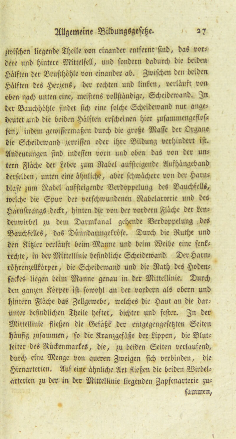 jtnifchen liegenbe $f)eile non cinanbcr entfernt finb, ba$ Pors bete unb Hintere Mittelfell, unb fonbern baburd? bie beiben Hälften ber S3uuftf>6f>le non einanbet ab. 3n?‘f£&cn beiben Hälften be$ $erjen$, ber redeten unb linfen, ©erläuft non oben nad) unten eine, meiftenS nollftänbigc, ©ebeibetnanb. ;sn ber Söaud)f)6^Ic finbet fid> eine folcbc ©ebeibetnanb nur ange* beutet unb bie beiben Hälften erfebeinen l)icr jufammengcflof* fen, inbem getpiffermaßen bureb bie große Mafic ber Organe bie ©ebeibetnanb jertiffen ober ihre söilbung berf^inbert ift. Slnbeutungcn jtnb inbeffen oorn unb oben bao non ber un; tern ftläcbc ber Sehet jum iJlabd auffteigenbe 21uff)ängebanb berfelben, unten eine ähnliche, aber fcbtoäcbcre non ber £acim blafe jum Diabel auffteigenbe jßerboppelung bcö S3aucbfeUl, meldx bie ©pur ber nccfcbtounbencn äfabelatta’ic unb bcö $arnftrang$ beeft, hinten bie non ber norbern gläcfce ber Sen? bcntnirbel ju bem 2)armfanal gel)enbe 33erboppelung . be$ SÖaucbfelleS, baö X'unnbarmgcfröfe. £urcb bie 3\uri)e unb ben ^i^ler perläuft beim Pfanne unb beim üöeibe eine fenf; rechte, in ber Mittellinie befinblicbc ©ebeibetnanb. 2>er|)arn* rbf)renjcllf6rper, bie ©djeibetnanb unb bie STbatfp beä ^obem facfeS liegen beim Manne genau in ber Mittellinie. 2)urcb ben ganjen Äorper iffc.fotnohl an ber norbern al$ obern unb f)intern gläcbe bae 3cü^crocbc, tnclcbeö bie £aut an bie bar? unter befinblicbcn $he'd heftet, bitter unb fefter. 3n Mittellinie fließen bie ©efäßc ber entgegengefetjtcn ©eiten häufig jufamnten, fo bie Äranjgefäße ber Sippen, bie Slut? Jeder be$ Dvucfenmarfeö, bie, ju beiben ©eiten nerlaufenb, burch eine Menge non queren 3tneigen ficb nerbinben, bie §irnarterien. Stuf eine ähnliche Slrt fließen bie beiben SDirbel? arterien ju ber in ber Mittellinie liegenben ßapfenarterie ju? fammen,