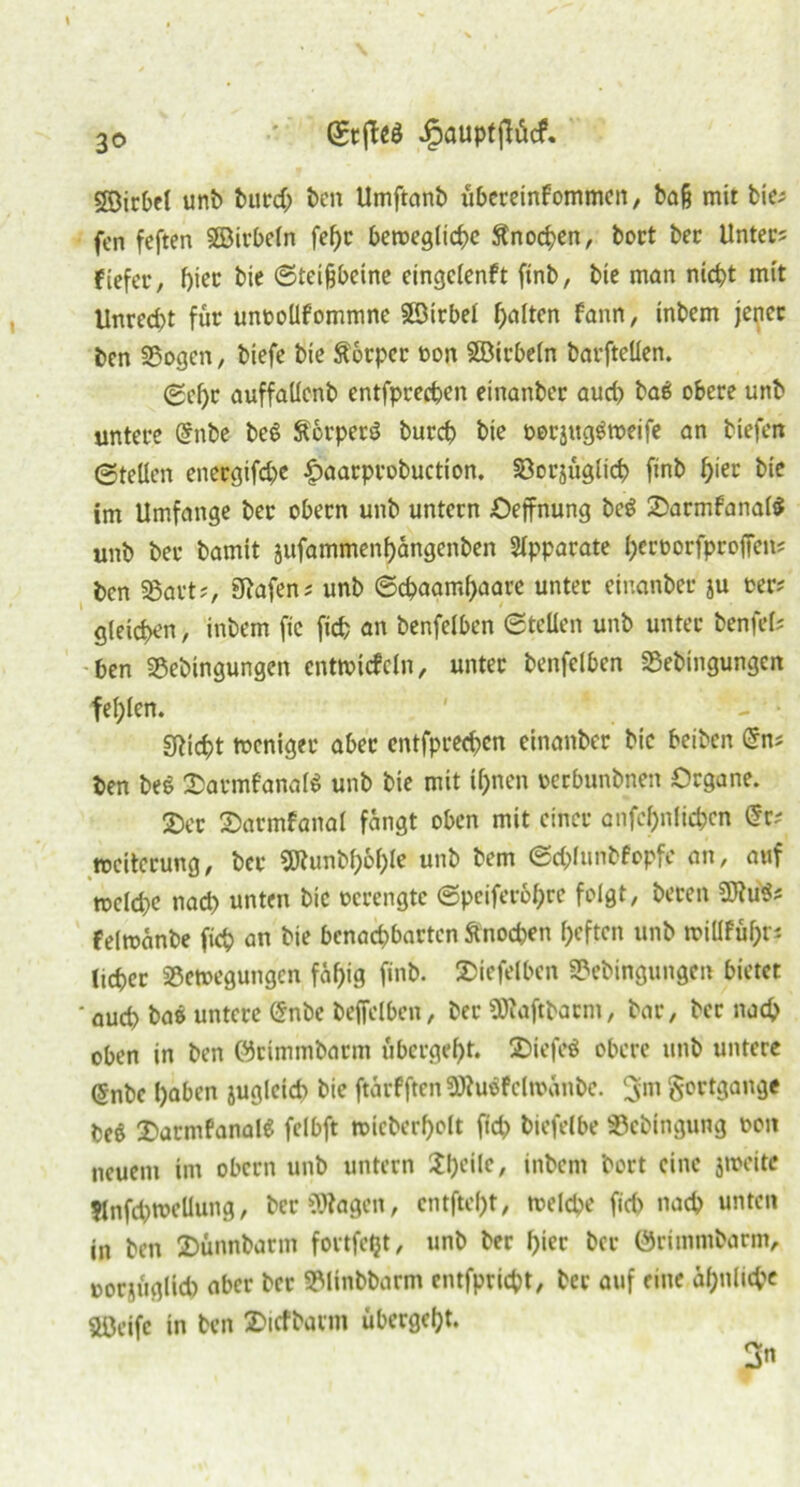 SBirbel unb burd; ben Umftanb übereinfommcn, baß mit bie* fon feften SBivbeln fepr beroeglicpc Stnocpen, bort ber Unter* fiefer, pier bie (Steißbeine eingclenft ftnb, bie man niept mit Unred)t für unoollfommne Slöirbel galten fann, inbem jener ben Sogen, btefe bie Äorper toon Sffiirbeln barftellen. ©epr auffallcnb entfpreepen einanber auep ba6 obere unb untere (Snbe- be£ ftorperS burep bie oorjuggtoeife an tiefen ©teilen enetgifepe Jpaarprobuction. Sorjuglicp ftnb pier bie im Umfange ber obern unb untern Oeffnung beö 2>armfanal$ unb ber bamit jufammenpangenben Apparate peroorfproffen* ben Sart*, SRafen; unb ©epaampaare unter einanber ju rer* gleicpen, inbem ftc fiep an benfeiben ©teilen unb unter benfel* ben Sebingungen cnttvtcfcln, unter benfeiben Sebingungen feplen. SRicpt meniger aber entfpreepen einanber bie beiben (Sn* ben beS £armfanal$ unb bie mit tpnen oerbunbnen Organe. £>er Sarmfanal fängt oben mit einer anfcpnliepcn (Sr* Weiterung, ber Wunbpople unb bem ©cplunbfopfe an, auf tt>cld)e naep unten bie oerengte ©pciferopre folgt, beren 2Jiu$* felroänbe fiep an bie bcnadjbartcn Änodjen peften unb millfupr* lieper Setoegungcn fäpig finb. 2>iefclben Sebingungcn bietet ' auep bae untere (Snbe beffelben, ber «Ütaftbarm, bar, ber naep oben in ben örimmbarm öbergept. £>iefeö obere unb untere @nbc paben juglctcp bie ftärfften Siuofclmänbc. gortgange beö £>armfanaie felbft toicberpolt fiep biefelbe Scbtngung ooit neuem im obern unb untern Speile, inbem bort eine jroeite j{nfd)tt>ellung, ber Ziagen, entftept, toelcpe fid> naep unten in ben 2)ttnnbarm fortfept, unb ber pier ber ©rimmbartn, oorjügltd) aber ber Slinbbarm entfpriept, ber auf eine äpnlicpt 5öeifc in ben 2)icfbarm übergept. 3