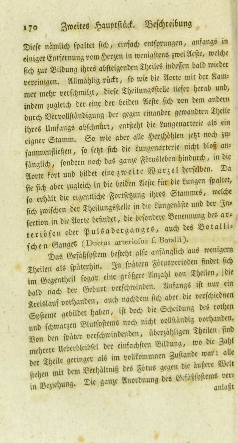 ,7o 3»citeö jpauptfnicf. Sßcfd;tci6un3 ®itfe nimlieb (paltet ftcf>, einfad, entfptungen, anfangs in einiget ©ntfernung »ont £etjen in toenigftenS jroci Slcfte, t»cld,e fiep jut «Übung il,ve6 abfteigcnt>cn jl)cürt inbeffen halb trnebec »„einigen. HUmablig tueft, ft> rote bie Hotte mit bet Sam; mee me(,t tecfcbmiljt, biefe S^eitangSfteUe tiefte i)teab unb, fnbem jugleid, bec eine bet beiben Hefte ftd) »on bem anbetn buccb «eeoollftänbigung bec gegen einanbet getoanbten Jljeile ihveS Umfang« abf*ni.ct, entfiel,t bie Üungenattetie als ent eignet Stamm. So mie aber alle $ettl)bl)len m nod, i» fammcnfliefjen, fo feljt ftd, bie Sungenactevie n.At bloB « fänalicb, fonbetn nod, ba« ganje gotuöleben bmbutcb, m bie aotte fett unb bilbet eine jroeitc ffiucjel betfelben. ~a fie fid, abcc }ugteicb in bie beiben Hefte fftt bie Sangen ipaltet, fo ecfyält bie eigent(id,e gottfehung tl,ves Stammes, welche fid, iroifcb.cn bec SljcilungSftetle in bie Sungenafte unb bet _jn. feetion in bie Hotte befinbet, bie befonbete ^Benennung beS tu tecibfen ob« <pul«abecgangeS, au* be« »otallu feben ©angcS (Ducius arteriofus f. Botalli). Sa« ©efaijfpftem bcfteljt atfo anfanglieb au« memgeen »heilen «U fpfitecl,in. 3« fl*«» Sbtuepecioben fmbet «b im ©egentbeil fogat eine gebfiete Hnjal,l »on Sbctlcn, ‘M‘ »alb naeb bet ©ebutt »etfd,t»inbcn. HnfangS ift «»' « Stetslauf »otl,anben, aud) na*ben. fi* ab« bte ©nfieme gebtlbet haben, ift bo* bie SAcibung be.co.ben ^nb Wioatjen »lutfpftemS no* nicht »oüftanbtg »otbano. _ «on ben fpatcc »etfebminbenben, nbcesabUgen iW« f mebcece Ucbetbleibfel bec einfaebflen »Übung, wo e 3 h t Sbeile gelinget alo im »ollfommncn 3uf.ai.be .»at: a ! f , mit Dem 5?ev()äUmf3 Des götuö ge^eu Die au&cre Bdt in ®ejfel)ung. 2« game Hnotbnung beS ©efablbf«'»^