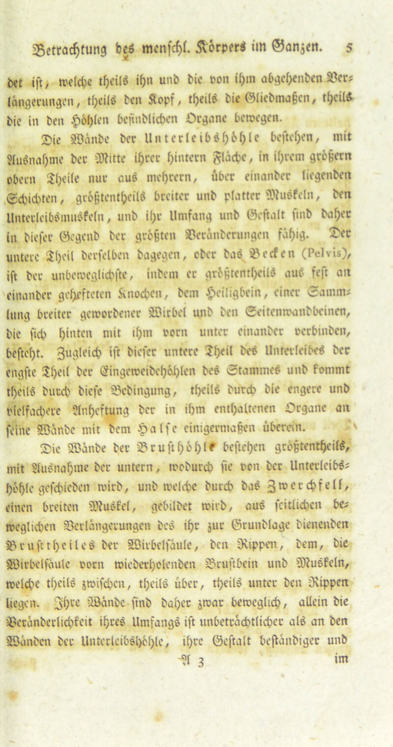 bet ift, tt>ctct;e theilö i^n unb bie von ihm abgehenben S3er* längerungen, tl)eil$ ben Stopf, bie ©liebmaßen, thcil* bie in ben £6l)len bcjtnblicbcn Organe bewegen. 2)je SfBänbe ber Unterleib©f;61 c beftehen, mit 2iu$naf)me ber üftitte ihrer hintern gläcbe, in ihrem großem Obern 2h°*(e nur cuö mchrern, über einanber liegenben (Schichten, großtcntheilö breiter unb platter SRuefcIn, ben Untetlcibömuöfcln, unb ihr Umfang unb ©eftalt fmb baher in biefer ©egenb ber größten SPeränbcrungen fähig* -cc untere $i)eil berfelben bagegen, ober baö Reefen (Polvis), ift bet unbeweglich)^, inbem er grbßtentheilö auö feft an einanber gelüfteten Änocben, bem #eiligbein, einer 0amm? lung breiter geworbener Wirbel unb ben ©eitenwanbbeinen, bie fich hinten mit ihm vorn unter einanber oerbinben, beftcht. Bugleich ift biefer untere 2heil bee Unfevleibeö ber engfte 3l)eil ber @ingeweibeh^len be$ 0tammeö unb fwnmt tljeilö buueh biefe Vcbinguftg, theils bureb bie engere unb vielfachere Anheftung ber in ihm enthaltenen Organe an feine SSOänbe mit bem -p a l f e einigermaßen uberein. 2)ic Söänbe ber 2? r u fi h 6 h tbeftehen großtentheilö, mit Ausnahme ber untern, woburch fie Pf'1 ber Unterleibs? bWc gefchieben wirb, unb weKhe bureb bae 3reecc^fe^' einen breiten ÜRuSfel, gebilbet wirb, auS fcitlicbcn be? wcglichen Verlängerungen beö ihr jur ©runblage Menenbeit SSrufttheileö ber SSMrbclfäule, ben Ovippcn, bem, bie Söirbeifäule vorn wicberholenben SSruftbein unb Sföuefeln, welch« thcilö jwifchen, tf)cilö über, rheilS unter ben Ovtppen liegen. 5hce Söänbc ftnb baher jwar beweglich, allein bie Vccanberlichfeit ifjtee Umfangö ift unbeträchtlicher als an ben ©änben ber UntcrlcibSl)6hlc, ihre ©eftalt beftänbiger unb ül 3 im