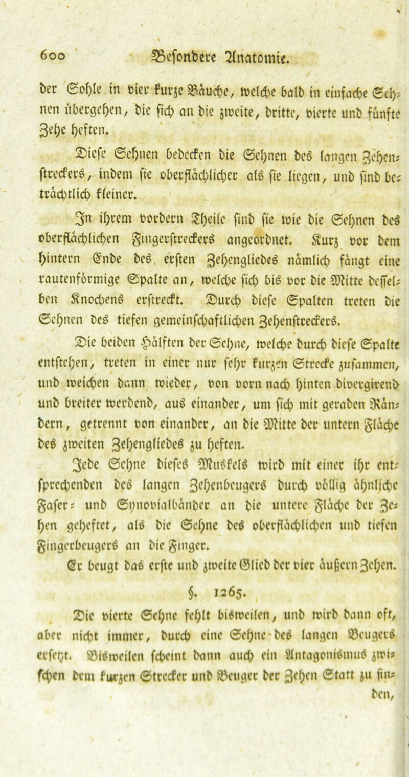 bec ©ople in hier Für je SSäuepe, »eiche ba(b in einfache <Sei>; nen übergeben, bie fid; au bie j»cite, britte, bierte unb fünfte 3epe heften. 2>tefe ©cpnen bebccfen bie ©epnen bcö fangen 3cpen; ftreefere, inbent fte oberflächlicher als? fie liegen, unb finb bc; träd)tlich fleiner. 5n i&rem öorbern Steife finb fte tbie bie ©cpnen bcs? oberflächlichen gingerftrecferS angeorbnet. Surj boc bem hintern (Snbe bcs? eeften 3epcnglicbes? nämlich fängt eine rautenförmige ©palte an, »eiche ftd) bis? bor bie SRitte befiel; heit ftnod^eng erftreeft. Sutcp biefe ©palten treten bie ©ebnen beS tiefen gemcinfd)aftlichen 3epenftrecfer$. ©ic beiben Hälften ber ©cpne, »eiche burch biefe ©palte entftepen, treten in einer nur fepr Furpi ©trccFe jufammen, unb »eichen bann »ieber, bon borit nach hinten bioergirenb unb breiter »erbenb, auö etnanber, um fid; mit geraben jKätt; bern, getrennt bon etnanber, an bie Sftittc ber untern gläd;c bce j»eiten 3epengltcbeö ju heften. 3ebc ©cpne biefes? CP^u&felö »irb mit einer ihr ent; fpreepenben bcs? langen 3epenbcuger$ burch böllig ähnliche gafer; unb ©pnobialbänber an bie untere gläcpc ber 3e* hen geheftet, alö bie ©ebne bcö oberflächlichen unb tiefen gingeebeugere? an bie ginger. (Sr beugt bas erfte unb j»eitc ©lieb ber hier äußern 3el;cn. §. 1265. 25te bierte ©cpne fehlt bttroeilen, unb »irb bann oft, aber nicht immer, burch eine ©cpnc-beä langen 58eugct$ etfetjt. 93tö»cilcn fchemt bann auch ein Slntageniöimn? j»i; fepen bem furjen ©treefer unb ©enger ber ßepen ©tatt ju fin? , ben,