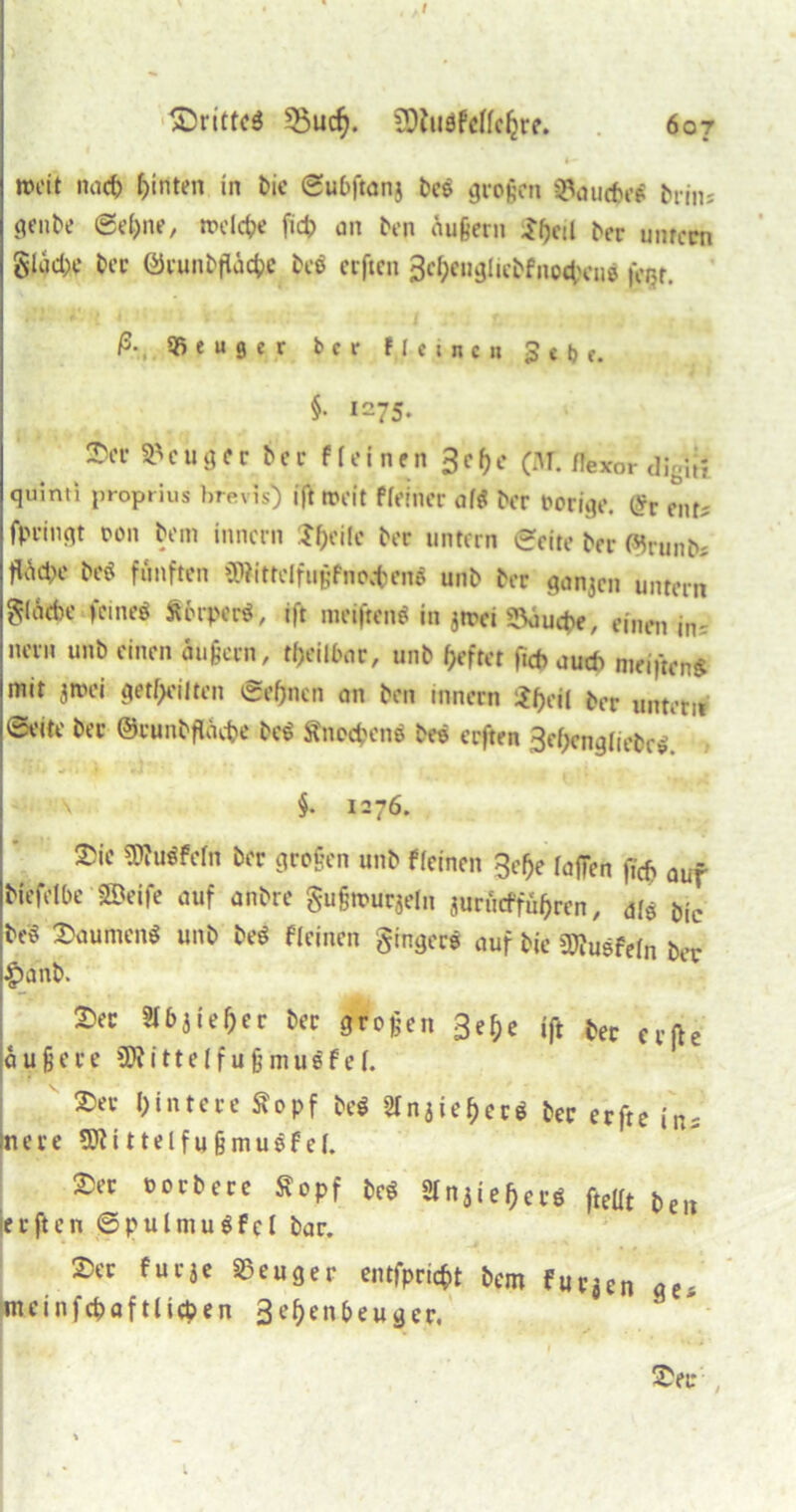 £)rittc$ 3$ucfj. SDtuöfeffc&re. 607 fr- weit nach hinten in bie ©ubftanj bcs großen SPaucbeS brin; genbe ©ebne, rodele fid? an ben üu§ern Jbeil ber unfern §Kid;e bcc ©runbfläcbe be$ erften 3cbeugitcbfno4>eu$ fer?r. ß•. Beuger ber Heine» 3 t t) e. §• 1=75- 3>et- Beuger ber Meinen ßef)e (M. flexor digil? quinti proprius l.revis) ift roelt ffeinec af$ ber »orige, (*r ent* fpringt oon bem innern Jfccilc ber untern ©eite ber (5jrunb* t^cbe m fünften ÜRitteifiitjfnedjenS unb ber ganzen untern ^(aebe feines ÄkperS, ift metfrenö in jirci SPäucbe, einen in-- nern unb einen äußern, teilbar, unb f>efrct ftcb uueb meiftenS mit jtnei geteilten ©ebnen on ben innern $$eil ta untern ©e-ite ber ©runbftöcbe beS Snocbene beS erften 3ebengliebr$. *: 1 • v . ) «-4 \ §. 1276. —ic ^uöfefn großen unb ffeinen 3el)e (affen firf> auf biefelbe Söeife auf anbre gufjtnurjeln jurueffübren, als bie beS Daumens unb beS «einen gingere auf bie STOusfefo ber #anb. ®ec ber großen 3e^>e ift ber erfte äußere $E)iitteIfujjmu$fe(. 2)er hintere Sopf beS 2Tn5ie^crö ber erfte in: inere Stti ttelfu fjmuSf ef. ®re <’1>ct,”c *»pf w »njieje« fleut t>e„ erften ©pulmuSfct bar. S5er für je Beuger entfpriebt bem furjen ge* meinfebaftlicben 3e be &e u g e r.