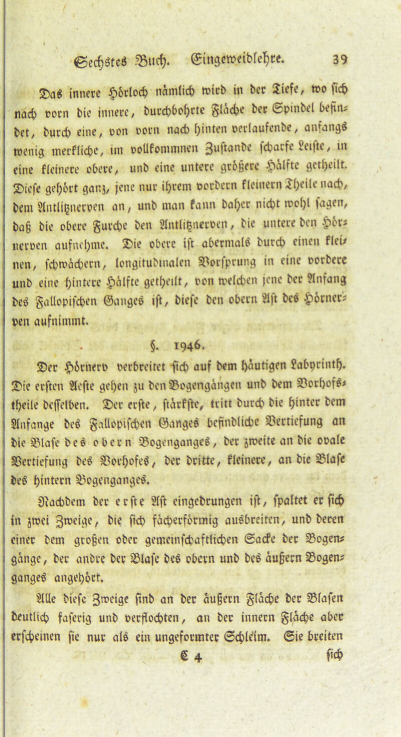 T)ai innere #6rlocb nämlich tt*icb in ber 2iefe, too ficb nach oorn bic innere/ burebbohrte gläcbe bec cpinbel befim bet, burd) eine/ oon oorn nacb f)inten occlaufenbc/ anfangs wenig merfliebe, im ooüfominnen ßnftanbe fdjotfe »ei|te, m eine fieinere obere, unb eine untere grbßere £älfte geteilt. SDicfe gehört ganj, jene nur ihrem oorbecn fleinern ^()eile nacb, beni 2lntli|neroen an, unb man fann bafjer nicht tt»o()l tagen, baß bie obere gurebe ben HntlifcncrPen, bie untere ben £>or? ucroen aufnetyme. 2>ie obere i|t abermals bureb einen flci/ nen, fcbroäcbern, (ongitubmalen Borfprung in eine oorbere unb eine f)intere £)älfte geteilt, oon tvelcben jene ber Anfang bcS gallopifcben ©angeS ift, biefe ben obetn 31|t bcS ^ärner? pen aufnimmt. §. 1946. 35er #6rnert> perbreitet ficb auf bem blutigen fabprintlj. J'ic elften Slcfte geben ju ben Bogengängen unb bem BothofS* tbeile beffetben. 25er erße, ftärf jte, tritt bureb bie hinter bem Slnfange beS gallopifcben ©angeS bcfinblicbe Vertiefung an bie Blafe bcS obern Bogenganges, bet jrneite an bie ooale Vertiefung beS BorhofeS, ber britte, fieinere, an bie Blafe beS hintern Bogenganges. Sftacbbem ber erfte 2lft eingebrungen ift, fpaltet er ficb in jtoei 3roc‘^c / &<e fab fächerförmig auSbreiten, unb beten einer bem großen ober gemcmfctaftlicben ©aefe ber Bogen? gange, ber anbre ber Blafe beS obern unb beS äußern Bogen? gangeS anget)6rt, 2llle biefe 3tt*eige fmb an ber äußern gläcbe ber Blafen beutlicb faferig unb oerflocbten, an ber innern gläcbe aber erfebemen fte nur als ein ungeformter ©cble'im. ©ie breiten g 4 ficb