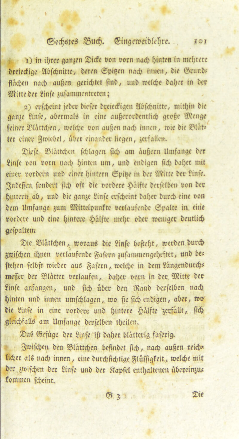 ♦ (SecpöteS 55ucp. ©ingeweibfepre. ioi 1) in ifjrcc ganjen £>icfe t>on t>orn naep pinten in mehrere breieefige SIbfcpnittc, beren Spipcn naep innen, bie ©cur.b* j fläepen naep außen fltfcict>tcr finb, unb rodele bapec in ber COiitte ber 8infe jufammentreten; 2) erfepeint jebet tiefer beeieefigen ?lbfcpnitte, niitpin bie ganje ?infc, abermals in eine außerorbcntlicp große SRenge feiner 33Iättcpen, »eltpe ran außen naep innen, rote bie SMät» ter einer gwiebd, über einanber Hegen, jerfallen. SMefe ©lättcpcn feblageii fiep am äußern Umfange ber j Jinfe von rein naep hinten um, unb enbigen fiep bapet mit einer oovbern unb einer pinfern Spipe in ber SWitte ber finfe. Snbcffeu fenbert fiep oft bie rorbere £>älfte berfelben ron bec j pintern ab, unb bie ganje £infe erfepeint baper burcP eine oon bem Umfange jum ÜRittelpunfte redaufenbe Spalte ia eine roebere unb eine pintece Hälfte tntpr ober weniger beutlicp j gefpaltem 2>ie SMättcpen, woraus bie Sinfe beftept, »erben burep | jwifepen ipnen perlaufenbe gafern jufammengepeftet, unb be; ) fiepen felbft »iebec auS gafern, »elcpe in bem üangenburep* i meffer ber Blätter miauten, bapec oorn in bec SÄitte bec I Stnfe anfangen, unb fiep über ben Üvanb berfelben naep ' > pinten unb innen umfcplagcn, wo fie fiep enbigen, aber, wo bie üinfe in eine oorbete unb pintere Hälfte ^erfüllt, fiep gfcicpfaüS am Umfange berfelben tpeilen. £a$ ©efüge bec Sinfe ift bapec blätterig faferig» 3wifcpen ben S?lätttpen befinbet fiep, naep außen reiep* : tieper alS nach innen, eine burepfieptige glüffigfeit, welepe mit ber,i»ifcpen bec üinfe unb ber Sapfcl entpaltcnen übereinjtu | fontmen fepeint. © 3 2)ie