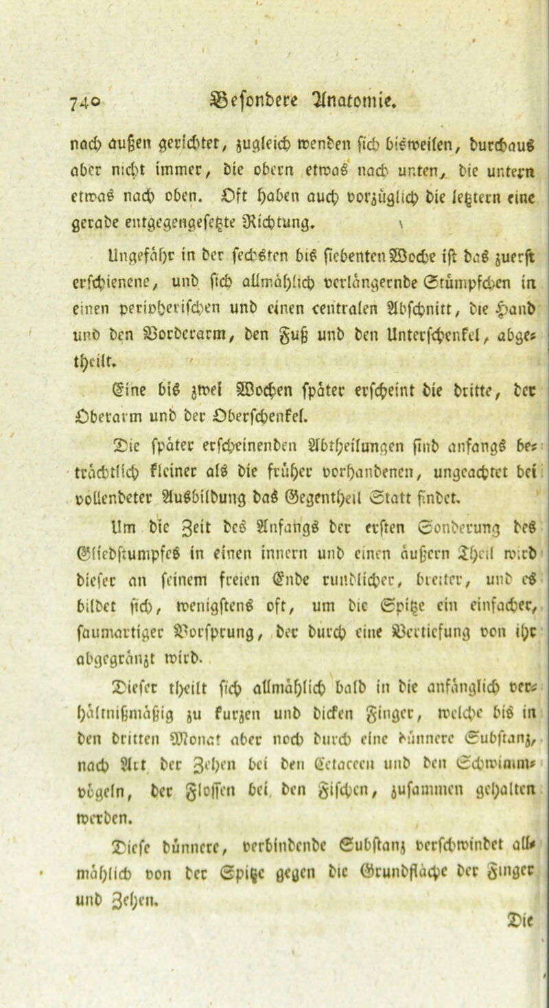 nod) außen gerichtet, jugleich wenben ficb bisweilen, burcbaug aber nicht immer, Die obecn etroag nach unten, Die untern etwag nadb oben. Oft bähen auch oorjöglich Die ledern eine gcrabe entgegenpefe^te Dichtung. \ Ungefähr in ber fed'gten big flcbentenSSocbe ifi bag juerft erschienene, unb ficb allmählich ocrlängernbe 0rumpfd>en in einen periobetifd)en unb einen centralen ülbfdpnitt, bie |)anb unb bcn Vocberarm, ben guß unb ben Unter fcbenfel, abges tl^cilr. (Sine big jmei SBocben fpäter erfcbeint bie britte, bcc £)berarm unb ber Öberfchenfel. Sic fpäter ecfdjeinenben 2Ibtf;eilungen jinb anfangs bes träcbtücb Heiner alg bie früher oorhanbenen, ungeachtet bei oollenbeter 21ugbilbung bag ©egentheil Statt finbct. Um bie 3e*t heg Slnfangg ber erften Sonberung beg ©Hcbftumpfcg in einen inncrn unb einen äußern £heil »ö'.tb biefer an feinem freien Qrnbe runbltchec, breiter, unb cg bilbet ficb, toenigfteng oft, um bie Spi($e ein einfaefcer, faumartiger Vorfpcung, ber burch eine Vertiefung oon il;c abgegränjt roirb. Siefer t(>cilt ficb atlmählicb halb in bie anfänglich oec* hältnißmäßig ju furjca unb biefen ginger, welche big in ben Dritten SO?onct aber noch burch eine b(innere Subfianj, nach 2Ut ber 3l’hen bei ben ßctacecn unb bcn Schwimm» bügeln, ber glofien bet ben gifeben, jufammen gehalten werben. Siefe bunncre, oerbinbenbe Subftanj terfebwinbet all» • mählich oon ber Spi§c gegen bie ©runbflächc ber ginger unb 3fßl’H- Sic