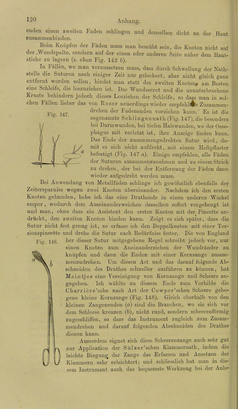 enden einen zweiten Faden schlingen und denselben dicht an der Haut zusammenbinden. Beim Knüpfen der Fäden muss man bemüht sein, die Knoten nicht auf der ^Wundspalte, sondern auf der einen oder anderen Seite näher dem Haut- stiche zu lagern (s. oben Fig. 142 h). In Fällen, wo man voraussetzen muss, dass durch Schwellung der Nath- stelle die Suturen nach einiger Zeit nur gelockert, aber nicht gleich ganz entfernt werden sollen, bindet man statt des zweiten Knoten^ am Besten eine Schleife, die loszuziehen ist. Das Wundsecret und die ununterbrochene Kruste behindern jedoch dieses Losziehen der Schleife, so dass man in sol- chen Fällen lieber das von Roser neuerdings wieder empfohlÄe Zusammen- drehen der Fadenenden vorziehen kann. ' Es ist die sogenannte Schlingennath (Fig. 147), die besonders bei Darmwunden, bei tiefen Halswunden, wo der Oeso- phagus mit verletzt ist, ihre Anzeige finden kann. Das Ende der zusammengedrehten Sutur wird, da- mit es sich nicht aufdreht, mit einem Heftpflaster befestigt (Fig. 147 a). Einige emi^fehlen, alle Fäden der Suturen zusammenzunehmen und zu einem Strick zu drehen, der bei der Entfernung der Fäden dann wieder aufgedreht werden muss. Bei Anwendung von Metallfäden schlinge ich gewöhnlich ebenfalls der Zeitersparniss wegen zwei Knoten übereinander. Nachdem ich den ersten Knoten gebunden, hebe ich das eine Drathende in einen anderen Winkel empor, wodurch dem Auseinanderweichen desselben sofort vorgebeugt ist und man, ohne dass ein Assistent den ersten Knoten mit der Pincette an- drückt, den zweiten Knoten binden kann. Zeigt es sich später, dass die Sutur nicht fest genug ist, so erfasse ich den Doppelknoten mit einer Tor- sionspincette und drehe die Sutur nach Bedürfniss fester. Die von England Fig. 148. her dieser Sutur mitgegebene Regel schreibt jedoch vor, nur einen Knoten zum Aneinanderziehen der Wundränder zu knüpfen und dann die Enden mit einer Kornzange zusam- menzudrehen. Um diesen Act und das darauf folgende Ab- schneiden des Drathes schneller ausführen zu können, hat Meintjes eine Vereinigung von Kornzange und Scheere an- gegeben. Ich wählte zu diesem Ende zum Vorbilde die Charriere'sche nach Art der Cowper'schen Scheere gebo- gene kleine Kornzange (Fig. 148). Gleich oberhalb von den kleinen Zangenenden (a) sind die Branchen, wo sie sich vor dem Schlosse kreuzen (b), nicht rund, sondern scheerenförmig zugeschlifPen, so dass das Instrument zugleich zum Zusam- mendrehen und darauf folgenden Abschneiden des Drathes dienen kann. Ausserdem eignet sich diese Scheerenzange auch sehr gut zur Application der Sülz er'sehen Klammernath, indem die leichte Biegung der Zange das Erfassen und Ansetzen der Klammern sehr erleichtert; und schliesslich hat man in die- sem Instrument auch das bequemste Werkzeug bei der Aule-