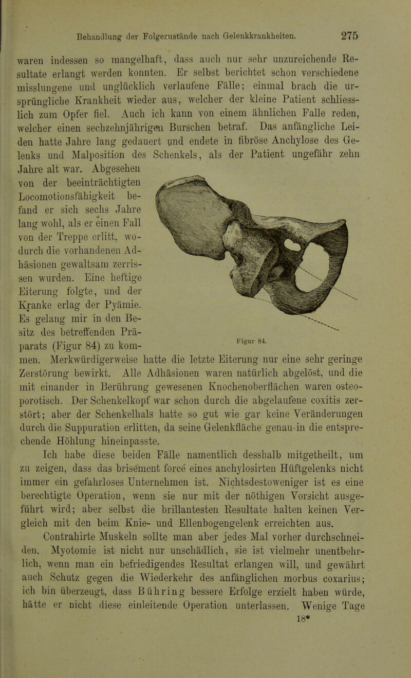waren indessen so mangelhaft, dass auch nur sehr unzureichende Re- sultate erlangt werden konnten. Er selbst berichtet schon verschiedene (öisslungene und unglücklich verlaufene Fälle; einmal brach die ur- sprüngliche Krankheit wieder aus, welcher der kleine Patient schliess- lich zum Opfer fiel. Auch ich kann von einem ähnlichen Falle reden, welcher einen sechzehnjährigen Burschen betraf. Das anfängliche Lei- den hatte Jahre lang gedauert und endete in fibröse Anchylose des Ge- lenks und Malposition des Schenkels, als der Patient ungefähr zehn Jahre alt war. Abgesehen von der beeinträchtigten Locomotionsfähigkeit be- fand er sich sechs Jahre lang wohl, als er einen Fall von der Treppe erlitt, wo- durch die vorhandenen Ad- häsionen gewaltsam zerris- sen wurden. Eine heftige Eiterung folgte, und der Kranke erlag der Pyämie. Es gelang mir in den Be- sitz des betreffenden Prä- parats (Figur 84) zu kom- men. Merkwürdigerweise hatte die letzte Eiterung nur eine sehr geringe Zerstörung bewirkt. Alle Adhäsionen waren natürlich abgelöst, und die mit einander in Berührung gewesenen Knochenoberflächen waren osteo- porotisch. Der Schenkelkopf war schon durch die abgelaufene coxitis zer- stört ; aber der Schenkelhals hatte so gut wie gar keine Veränderungen durch die Suppuration erlitten, da seine Gelenkfläche genau-in die entspre- chende Höhlung hineinpasste. Ich habe diese beiden Fälle namentlich desshalb mitgetheilt, um zu zeigen, dass das brisement force eines anchylosirten Hüftgelenks nicht immer ein gefahrloses Unternehmen ist. Nichtsdestoweniger ist es eine berechtigte Operation, wenn sie nur mit der nöthigen Vorsicht ausge- führt wird; aber selbst die brillantesten Resultate halten keinen Ver- gleich mit den beim Knie- und Ellenbogengelenk erreichten aus. Contrahirte Muskeln sollte man aber jedes Mal vorher durchschnei- den. Myotomie ist nicht nur unschädlich, sie ist vielmehr unentbehr- lich, wenn man ein befriedigendes Resultat erlangen will, und gewährt auch Schutz gegen die Wiederkehr des anfänglichen morbus coxarius; ich bin überzeugt, dass Bühring bessere Erfolge erzielt haben würde, hätte er nicht diese einleitende Operation unterlassen. Wenige Tage 18*